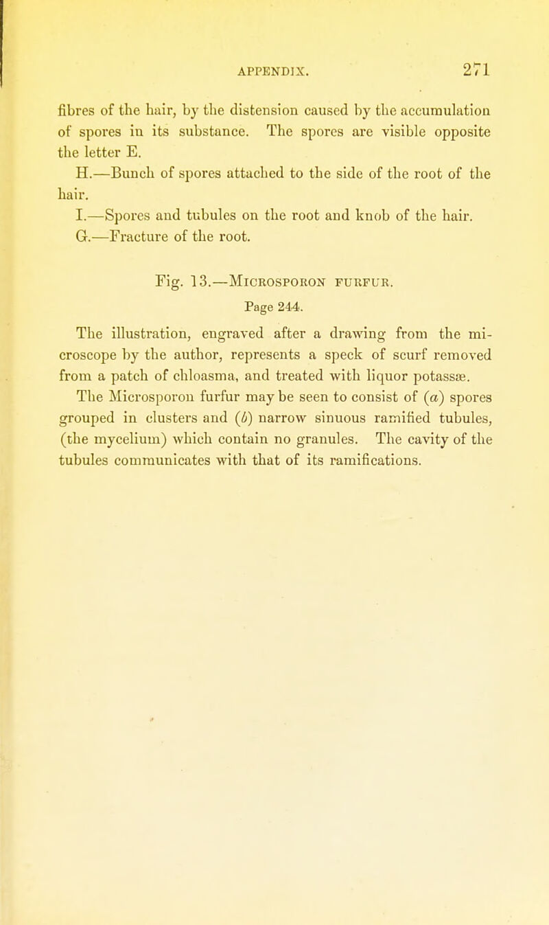 fibres of the hair, by the distension caused by the accumulation of spores in its substance. The spores are visible opposite the letter E. H. —Bunch of spores attached to the side of the root of the hair. I. —Spores and tubules on the root and knob of the hair. G.—Fracture of the root. Fig. 13.—MlCROSPORON FURFUR. Page 244. The illustration, engi-aved after a drawing from the mi- croscope by the author, represents a speck of scurf removed from a patch of chloasma, and treated with liquor potassas. The Microsporon furfur may be seen to consist of (a) spores grouped in clusters and (b) narrow sinuous ramified tubules, (the mycelium) which contain no granules. The cavity of the tubules communicates with that of its ramifications.