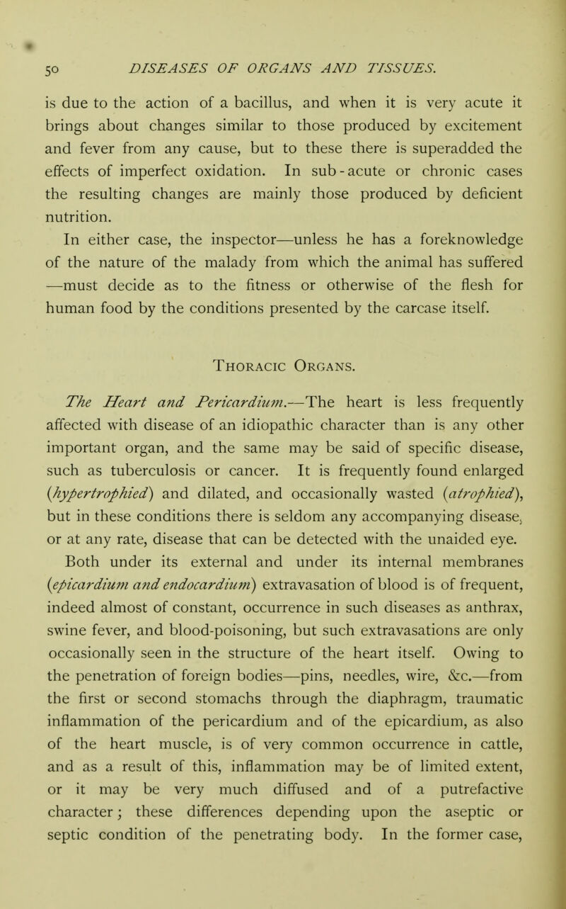 is due to the action of a bacillus, and when it is very acute it brings about changes similar to those produced by excitement and fever from any cause, but to these there is superadded the effects of imperfect oxidation. In sub-acute or chronic cases the resulting changes are mainly those produced by deficient nutrition. In either case, the inspector—unless he has a foreknowledge of the nature of the malady from which the animal has suffered —must decide as to the fitness or otherwise of the flesh for human food by the conditions presented by the carcase itself. Thoracic Organs. The Heart and Pericardium.—The heart is less frequently affected with disease of an idiopathic character than is any other important organ, and the same may be said of specific disease, such as tuberculosis or cancer. It is frequently found enlarged {hypertrophied) and dilated, and occasionally wasted {atrophied), but in these conditions there is seldom any accompanying disease5 or at any rate, disease that can be detected with the unaided eye. Both under its external and under its internal membranes (epicardium and endocardium) extravasation of blood is of frequent, indeed almost of constant, occurrence in such diseases as anthrax, swine fever, and blood-poisoning, but such extravasations are only occasionally seen in the structure of the heart itself. Owing to the penetration of foreign bodies—pins, needles, wire, &c.—from the first or second stomachs through the diaphragm, traumatic inflammation of the pericardium and of the epicardium, as also of the heart muscle, is of very common occurrence in cattle, and as a result of this, inflammation may be of limited extent, or it may be very much diffused and of a putrefactive character; these differences depending upon the aseptic or septic condition of the penetrating body. In the former case,