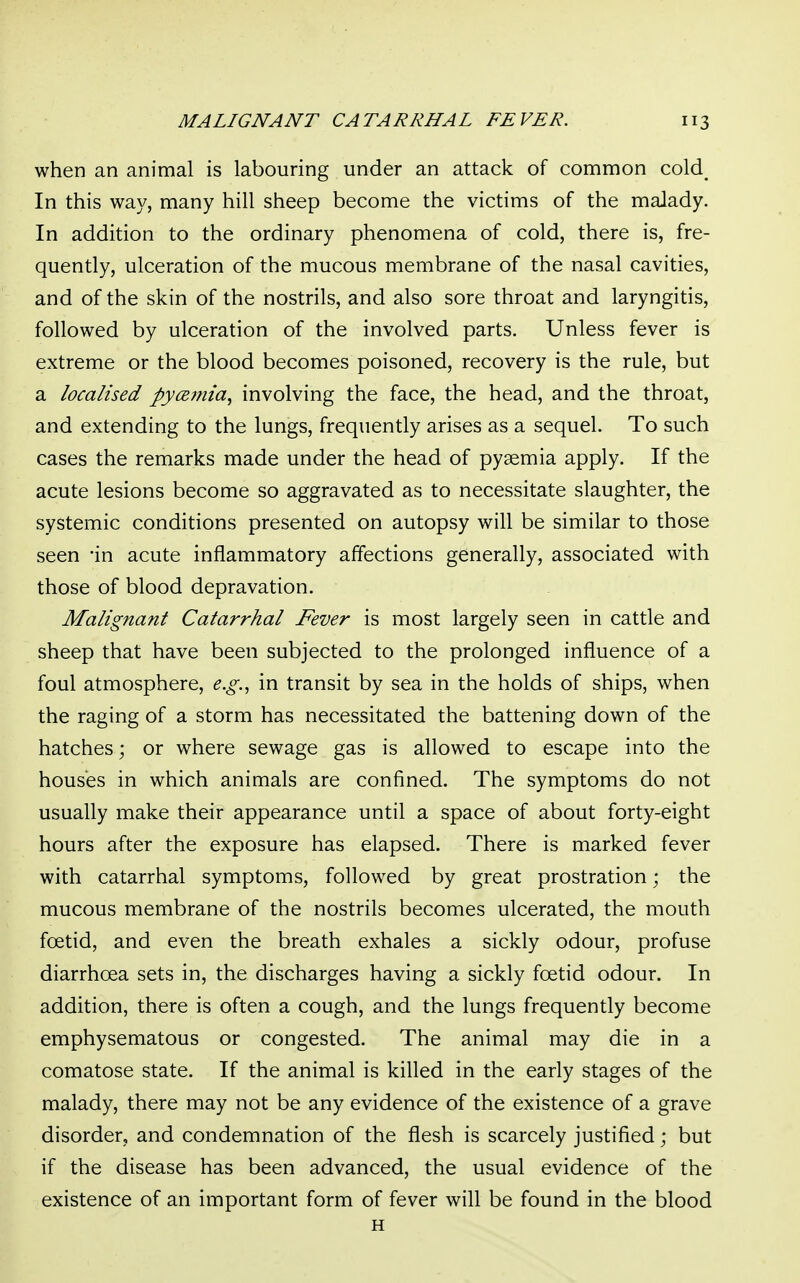 when an animal is labouring under an attack of common cold^ In this way, many hill sheep become the victims of the malady. In addition to the ordinary phenomena of cold, there is, fre- quently, ulceration of the mucous membrane of the nasal cavities, and of the skin of the nostrils, and also sore throat and laryngitis, followed by ulceration of the involved parts. Unless fever is extreme or the blood becomes poisoned, recovery is the rule, but a localised pyce?nia, involving the face, the head, and the throat, and extending to the lungs, frequently arises as a sequel. To such cases the remarks made under the head of pyaemia apply. If the acute lesions become so aggravated as to necessitate slaughter, the systemic conditions presented on autopsy will be similar to those seen -in acute inflammatory affections generally, associated with those of blood depravation. Malignant Catarrhal Fever is most largely seen in cattle and sheep that have been subjected to the prolonged influence of a foul atmosphere, e.g., in transit by sea in the holds of ships, when the raging of a storm has necessitated the battening down of the hatches; or where sewage gas is allowed to escape into the houses in which animals are confined. The symptoms do not usually make their appearance until a space of about forty-eight hours after the exposure has elapsed. There is marked fever with catarrhal symptoms, followed by great prostration; the mucous membrane of the nostrils becomes ulcerated, the mouth foetid, and even the breath exhales a sickly odour, profuse diarrhoea sets in, the discharges having a sickly foetid odour. In addition, there is often a cough, and the lungs frequently become emphysematous or congested. The animal may die in a comatose state. If the animal is killed in the early stages of the malady, there may not be any evidence of the existence of a grave disorder, and condemnation of the flesh is scarcely justified; but if the disease has been advanced, the usual evidence of the existence of an important form of fever will be found in the blood H