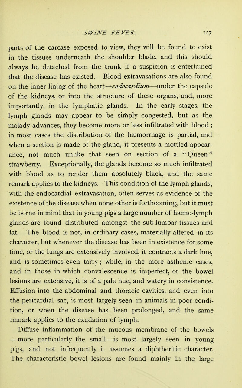 parts of the carcase exposed to view, they will be found to exist in the tissues underneath the shoulder blade, and this should always be detached from the trunk if a suspicion is entertained that the disease has existed. Blood extravasations are also found on the inner lining of the heart—endocardium—under the capsule of the kidneys, or into the structure of these organs, and, more importantly, in the lymphatic glands. In the early stages, the lymph glands may appear to be simply congested, but as the malady advances, they become more or less infiltrated with blood; in most cases the distribution of the haemorrhage is partial,, and when a section is made of the gland, it presents a mottled appear- ance, not much unlike that seen on section of a  Queen strawberry. Exceptionally, the glands become so much infiltrated with blood as to render them absolutely black, and the same remark applies to the kidneys. This condition of the lymph glands, with the endocardial extravasation, often serves as evidence of the existence of the disease when none other is forthcoming, but it must be borne in mind that in young pigs a large number of haemo-lymph glands are found distributed amongst the sub-lumbar tissues and fat. The blood is not, in ordinary cases, materially altered in its character, but whenever the disease has been in existence for some time, or the lungs are extensively involved, it contracts a dark hue, and is sometimes even tarry; while, in the more asthenic cases, and in those in which convalescence is imperfect, or the bowel lesions are extensive, it is of a pale hue, and watery in consistence. Effusion into the abdominal and thoracic cavities, and even into the pericardial sac, is most largely seen in animals in poor condi- tion, or when the disease has been prolonged, and the same remark applies to the exudation of lymph. Diffuse inflammation of the mucous membrane of the bowels —more particularly the small—is most largely seen in young pigs, and not infrequently it assumes a diphtheritic character. The characteristic bowel lesions are found mainly in the large