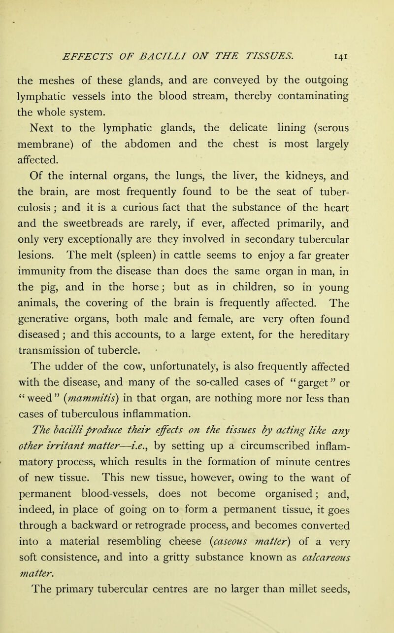 the meshes of these glands, and are conveyed by the outgoing lymphatic vessels into the blood stream, thereby contaminating the whole system. Next to the lymphatic glands, the delicate lining (serous membrane) of the abdomen and the chest is most largely affected. Of the internal organs, the lungs, the liver, the kidneys, and the brain, are most frequently found to be the seat of tuber- culosis ; and it is a curious fact that the substance of the heart and the sweetbreads are rarely, if ever, affected primarily, and only very exceptionally are they involved in secondary tubercular lesions. The melt (spleen) in cattle seems to enjoy a far greater immunity from the disease than does the same organ in man, in the pig, and in the horse; but as in children, so in young animals, the covering of the brain is frequently affected. The generative organs, both male and female, are very often found diseased; and this accounts, to a large extent, for the hereditary transmission of tubercle. The udder of the cow, unfortunately, is also frequently affected with the disease, and many of the so-called cases of garget or  weed  (mammitis) in that organ, are nothing more nor less than cases of tuberculous inflammation. The bacilli produce their effects on the tissues by acting like any other irritant matter—i.e., by setting up a circumscribed inflam- matory process, which results in the formation of minute centres of new tissue. This new tissue, however, owing to the want of permanent blood-vessels, does not become organised; and, indeed, in place of going on to form a permanent tissue, it goes through a backward or retrograde process, and becomes converted into a material resembling cheese {caseous matter) of a very soft consistence, and into a gritty substance known as calcareous matter. The primary tubercular centres are no larger than millet seeds,
