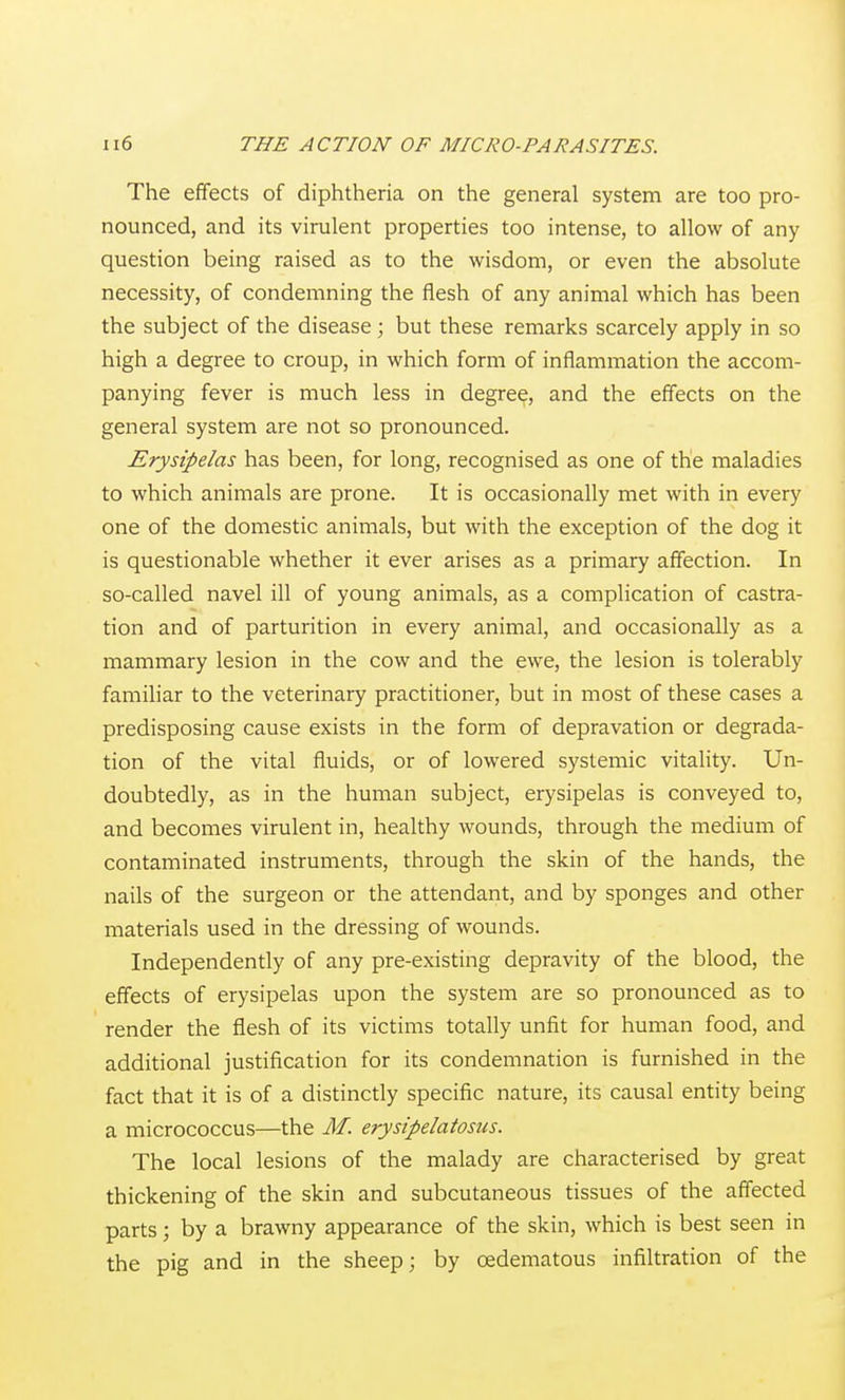 The effects of diphtheria on the general system are too pro- nounced, and its virulent properties too intense, to allow of any question being raised as to the wisdom, or even the absolute necessity, of condemning the flesh of any animal which has been the subject of the disease; but these remarks scarcely apply in so high a degree to croup, in which form of inflammation the accom- panying fever is much less in degree, and the effects on the general system are not so pronounced. Erysipelas has been, for long, recognised as one of the maladies to which animals are prone. It is occasionally met with in every one of the domestic animals, but with the exception of the dog it is questionable whether it ever arises as a primary affection. In so-called navel ill of young animals, as a complication of castra- tion and of parturition in every animal, and occasionally as a mammary lesion in the cow and the ewe, the lesion is tolerably familiar to the veterinary practitioner, but in most of these cases a predisposing cause exists in the form of depravation or degrada- tion of the vital fluids, or of lowered systemic vitality. Un- doubtedly, as in the human subject, erysipelas is conveyed to, and becomes virulent in, healthy wounds, through the medium of contaminated instruments, through the skin of the hands, the nails of the surgeon or the attendant, and by sponges and other materials used in the dressing of wounds. Independently of any pre-existing depravity of the blood, the effects of erysipelas upon the system are so pronounced as to render the flesh of its victims totally unfit for human food, and additional justification for its condemnation is furnished in the fact that it is of a distinctly specific nature, its causal entity being a micrococcus—the M. erysipelatosus. The local lesions of the malady are characterised by great thickening of the skin and subcutaneous tissues of the affected parts; by a brawny appearance of the skin, which is best seen in the pig and in the sheep; by oedematous infiltration of the