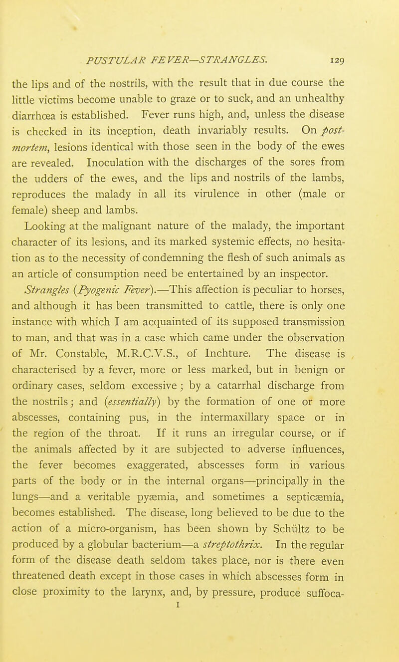 the lips and of the nostrils, with the result that in due course the little victims become unable to graze or to suck, and an unhealthy diarrhoea is established. Fever runs high, and, unless the disease is checked in its inception, death invariably results. On post- mortem^ lesions identical with those seen in the body of the ewes are revealed. Inoculation with the discharges of the sores from the udders of the ewes, and the lips and nostrils of the lambs, reproduces the malady in all its virulence in other (male or female) sheep and lambs. Looking at the malignant nature of the malady, the important character of its lesions, and its marked systemic effects, no hesita- tion as to the necessity of condemning the flesh of such animals as an article of consumption need be entertained by an inspector. Strangles {Pyogenic Fever).—This affection is peculiar to horses, and although it has been transmitted to cattle, there is only one instance with which I am acquainted of its supposed transmission to man, and that was in a case which came under the observation of Mr. Constable, M.R.C.V.S., of Inchture. The disease is characterised by a fever, more or less marked, but in benign or ordinary cases, seldom excessive ; by a catarrhal discharge from the nostrils; and {essentially) by the formation of one or more abscesses, containing pus, in the intermaxillary space or in the region of the throat. If it runs an irregular course, or if the animals affected by it are subjected to adverse influences, the fever becomes exaggerated, abscesses form, in various parts of the body or in the internal organs—principally in the lungs—and a veritable pygemia, and sometimes a septicsemia, becomes established. The disease, long believed to be due to the action of a micro-organism, has been shown by Schliltz to be produced by a globular bacterium—a streptothrix. In the regular form of the disease death seldom takes place, nor is there even threatened death except in those cases in which abscesses form in close proximity to the larynx, and, by pressure, produce suffbca- I