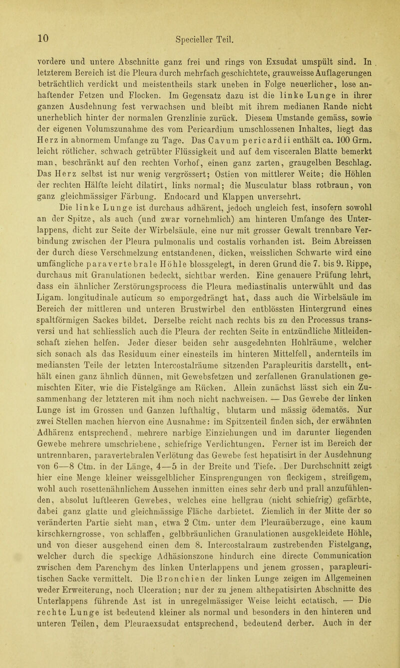 vordere und untere Abschnitte ganz frei und rings von Exsudat umspült sind. In letzterem Bereich ist die Pleura durch mehrfach geschichtete, grauweisse Auflagerungen beträchtlich verdickt und meistentheils stark uneben in Folge neuerlicher, lose an- haftender Fetzen und Flocken. Im Gegensatz dazu ist die linke Lunge in ihrer ganzen Ausdehnung fest verwachsen und bleibt mit ihrem medianen Rande nicht unerheblich hinter der normalen Grenzlinie zurück. Diesem Umstände gemäss, sowie der eigenen Volumszunahme des vom Pericardium umschlossenen Inhaltes, liegt das Herz in abnormem Umfange zu Tage. Das Cavum pericardii enthält ca. 100 Grm. leicht rötlicher, schwach getrübter Flüssigkeit und auf dem visceralen Blatte bemerkt man, beschränkt auf den rechten Vorhof, einen ganz zarten, graugelben Beschlag. Das Herz selbst ist nur wenig vergrössert; Ostien von mittlerer Weite; die Höhlen der rechten Hälfte leicht dilatirt, links normal; die Musculatur blass rotbraun, von ganz gleichmässiger Färbung. Endocard und Klappen unversehrt. Die linke Lunge ist durchaus adhärent, jedoch ungleich fest, insofern sowohl an der Spitze, als auch (und zwar vornehmlich) am hinteren Umfange des Unter- lappens, dicht zur Seite der Wirbelsäule, eine nur mit grosser Gewalt trennbare Ver- bindung zwischen der Pleura pulmonalis und costalis vorhanden ist. Beim Abreissen der durch diese Verschmelzung entstandenen, dicken, weisslichen Schwarte wird eine umfängliche paravertebrale Höhle blossgelegt, in deren Grund die 7. bis 9. Rippe, durchaus mit Granulationen bedeckt, sichtbar werden. Eine genauere Prüfung lehrt, dass ein ähnlicher Zerstörungsprocess die Pleura mediastinalis unterwühlt und das Ligam. longitudinale auticum so emporgedrängt hat, dass auch die Wirbelsäule im Bereich der mittleren und unteren Brustwirbel den entblössten Hintergrund eines spaltförmigen Sackes bildet. Derselbe reicht nach rechts bis zu den Processus trans- versi und hat schliesslich auch die Pleura der rechten Seite in entzündliche Mitleiden- schaft ziehen helfen. Jeder dieser beiden sehr ausgedehnten Hohlräume, welcher sich sonach als das Residuum einer einesteils im hinteren Mittelfell, andernteils im mediansten Teile der letzten Intercostalräume sitzenden Parapleuritis darstellt, ent- hält einen ganz ähnlich dünnen, mit Gewebsfetzen und zerfallenen Granulationen ge- mischten Eiter, wie die Fistelgänge am Rücken. Allein zunächst lässt sich ein Zu- sammenhang der letzteren mit ihm noch nicht nachweisen. — Das Gewebe der linken Lunge ist im Grossen und Ganzen lufthaltig, blutarm und mässig ödematös. Nur zwei Stellen machen hiervon eine Ausnahme: im Spitzenteil finden sich, der erwähnten Adhärenz entsprechend, mehrere narbige Einziehungen und im darunter liegenden Gewebe mehrere umschriebene, schiefrige Verdichtungen. Ferner ist im Bereich der untrennbaren, paravertebralen Verlötung das Gewebe fest hepatisirt in der Ausdehnung von 6—8 Ctm. in der Länge, 4—5 in der Breite und Tiefe. Der Durchschnitt zeigt hier eine Menge kleiner weissgelblicher Einsprengungen von fleckigem, streifigem, wohl auch rosettenähnlichem Aussehen inmitten eines sehr derb und prall anzufühlen- den, absolut luftleeren Gewebes, welches eine hellgrau (nicht schiefrig) gefärbte, dabei ganz glatte und gleichmässige Fläche darbietet. Ziemlich in der Mitte der so veränderten Partie sieht man, etwa 2 Ctm. unter dem Pleuraüberzuge, eine kaum kirschkerngrosse, von schlaffen, gelbbräunlichen Granulationen ausgekleidete Höhle, und von dieser ausgehend einen dem 8. Intercostalraum zustrebenden Fistelgang, welcher durch die speckige Adhäsionszone hindurch eine directe Communication zwischen dem Parenchym des linken Unterlappens und jenem grossen, parapleuri- tischen Sacke vermittelt. Die Bronchien der linken Lunge zeigen im Allgemeinen weder Erweiterung, noch Ulceration; nur der zu jenem althepatisirten Abschnitte des Unterlappens führende Ast ist in unregelmässiger Weise leicht ectatisch. — Die rechte Lunge ist bedeutend kleiner als normal und besonders in den hinteren und unteren Teilen, dem Pleuraexsudat entsprechend, bedeutend derber. Auch in der