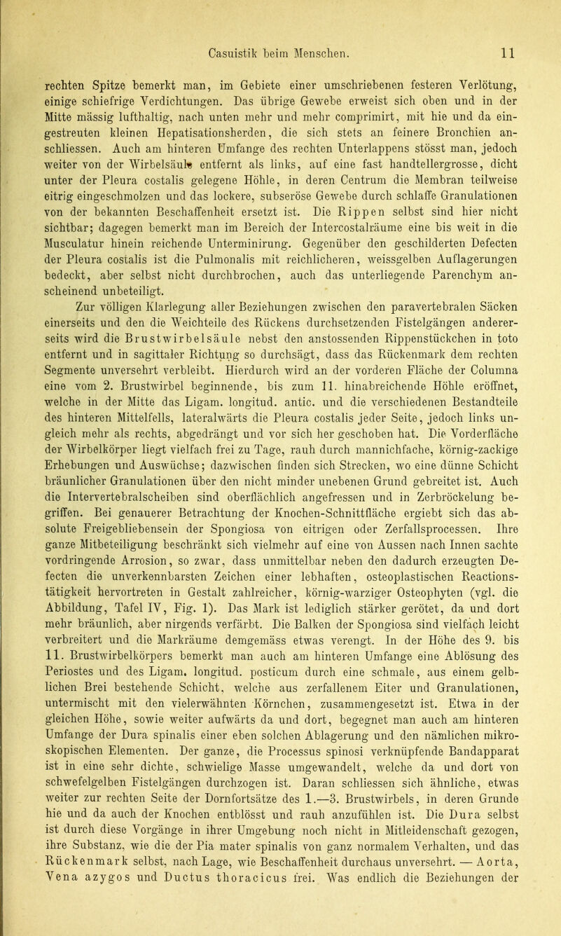 rechten Spitze bemerkt man, im Gebiete einer umschriebenen festeren Verlötung, einige schiefrige Verdichtungen. Das übrige Gewebe erweist sich oben und in der Mitte massig lufthaltig, nach unten mehr und mehr comprimirt, mit hie und da ein- gestreuten kleinen Hepatisationsherden, die sich stets an feinere Bronchien an- schliessen. Auch am hinteren Umfange des rechten Unterlappens stösst man, jedoch weiter von der Wirbelscäul« entfernt als links, auf eine fast handtellergrosse, dicht unter der Pleura costalis gelegene Höhle, in deren Centrum die Membran teilweise eitrig eingeschmolzen und das lockere, subseröse Gewebe durch schlaffe Granulationen von der bekannten Beschaffenheit ersetzt ist. Die Rippen selbst sind hier nicht sichtbar; dagegen bemerkt man im Bereich der Intercostalräume eine bis weit in die Musculatur hinein reichende Unterminirung. Gegenüber den geschilderten Defecten der Pleura costalis ist die Pulmonalis mit reichlicheren, weissgelben Auflagerungen bedeckt, aber selbst nicht durchbrochen, auch das unterliegende Parenchym an- scheinend unbeteiligt. Zur völligen Klarlegung aller Beziehungen zwischen den paravertebralen Säcken einerseits und den die Weichteile des Rückens durchsetzenden Fistelgängen anderer- seits wird die Brust Wirbelsäule nebst den anstossenden Rippenstückchen in toto entfernt und in sagittaler Richtung so durchsägt, dass das Rückenmark dem rechten Segmente unversehrt verbleibt. Hierdurch wird an der vorderen Fläche der Columna eine vom 2. Brustwirbel beginnende, bis zum 11. hinabreichende Höhle eröffnet, welche in der Mitte das Ligam. longitud. antic. und die verschiedenen Bestandteile des hinteren Mittelfells, lateralwärts die Pleura costalis jeder Seite, jedoch links un- gleich mehr als rechts, abgedrängt und vor sich her geschoben hat. Die Vorderfläche der Wirbelkörper liegt vielfach frei zu Tage, rauh durch mannichfache, körnig-zackige Erhebungen und Auswüchse; dazwischen finden sich Strecken, wo eine dünne Schicht bräunlicher Granulationen über den nicht minder unebenen Grund gebreitet ist. Auch die Intervertebralscheiben sind oberflächlich angefressen und in Zerbröckelung be- griffen. Bei genauerer Betrachtung der Knochen-Schnittfläche ergiebt sich das ab- solute Freigebliebensein der Spongiosa von eitrigen oder Zerfallsprocessen. Ihre ganze Mitbeteiligung beschränkt sich vielmehr auf eine von Aussen nach Innen sachte vordringende Arrosion, so zwar, dass unmittelbar neben den dadurch erzeugten De- fecten die unverkennbarsten Zeichen einer lebhaften, osteoplastischen Reactions- tätigkeit hervortreten in Gestalt zahlreicher, körnig-warziger Osteophyten (vgl. die Abbildung, Tafel IV, Fig. 1). Das Mark ist lediglich stärker gerötet, da und dort mehr bräunlich, aber nirgends verfärbt. Die Balken der Spongiosa sind vielfach leicht verbreitert und die Markräume demgemäss etwas verengt. In der Höhe des 9. bis 11. Brustwirbelkörpers bemerkt man auch am hinteren Umfange eine Ablösung des Periostes und des Ligam. longitud. posticum durch eine schmale, aus einem gelb- lichen Brei bestehende Schicht, welche aus zerfallenem Eiter und Granulationen, untermischt mit den vielerwähnten Körnchen, zusammengesetzt ist. Etwa in der gleichen Höhe, sowie weiter aufwärts da und dort, begegnet man auch am hinteren Umfange der Dura spinalis einer eben solchen Ablagerung und den nämlichen mikro- skopischen Elementen. Der ganze, die Processus spinosi verknüpfende Bandapparat ist in eine sehr dichte, schwielige Masse umgewandelt, welche da und dort von schwefelgelben Fistelgängen durchzogen ist. Daran schliessen sich ähnliche, etwas weiter zur rechten Seite der Dornfortsätze des 1.—3. Brustwirbels, in deren Grunde hie und da auch der Knochen entblösst und rauh anzufühlen ist. Die Dura selbst ist durch diese Vorgänge in ihrer Umgebung noch nicht in Mitleidenschaft gezogen, ihre Substanz, wie die der Pia mater spinalis von ganz normalem Verhalten, und das Rückenmark selbst, nach Lage, wie Beschaffenheit durchaus unversehrt. — Aorta, Vena azygos und Ductus thoracicus frei. Was endlich die Beziehungen der