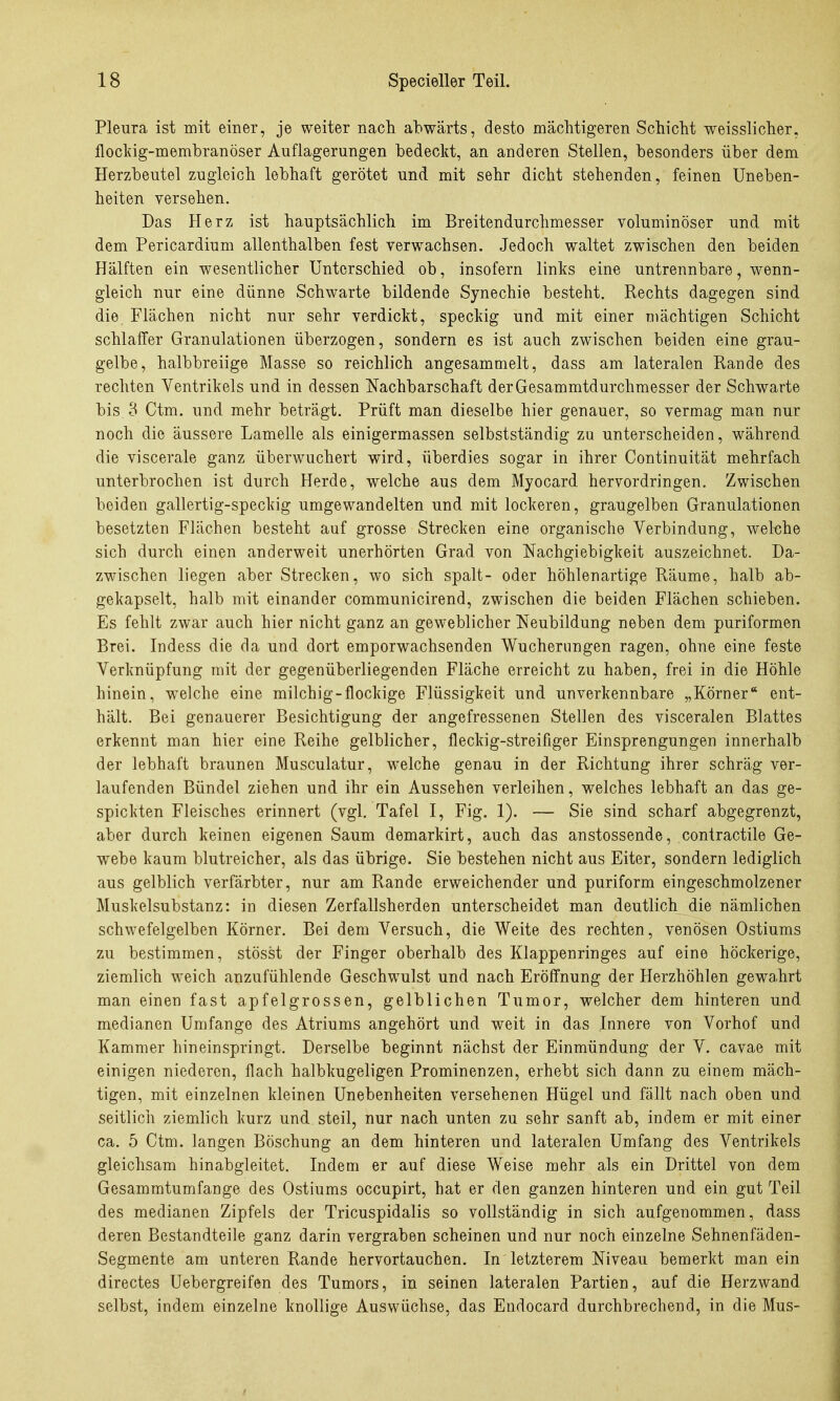Pleura ist mit einer, je weiter nach abwärts, desto mächtigeren Schicht weisslicher, flocldg-membranöser Auflagerungen bedeckt, an anderen Stellen, besonders über dem Herzbeutel zugleich lebhaft gerötet und mit sehr dicht stehenden, feinen Uneben- heiten versehen. Das Herz ist hauptsächlich im Breitendurchmesser voluminöser und mit dem Pericardium allenthalben fest verw^achsen. Jedoch waltet zwischen den beiden Hälften ein wesentlicher Unterschied ob, insofern links eine untrennbare, wenn- gleich nur eine dünne Schwarte bildende Synechie besteht. Rechts dagegen sind die Flächen nicht nur sehr verdickt, speckig und mit einer mächtigen Schicht schlaffer Granulationen überzogen, sondern es ist auch zwischen beiden eine grau- gelbe, halbbreiige Masse so reichlich angesammelt, dass am lateralen Rande des rechten Ventrikels und in dessen Nachbarschaft derGesammtdurchmesser der Schwarte bis 3 Ctm. und mehr beträgt. Prüft man dieselbe hier genauer, so vermag man nur noch die äussere Lamelle als einigermassen selbstständig zu unterscheiden, während die viscerale ganz überwuchert wird, überdies sogar in ihrer Continuität mehrfach unterbrochen ist durch Herde, welche aus dem Myocard hervordringen. Zwischen beiden gallertig-speckig umgewandelten und mit lockeren, graugelben Granulationen besetzten Flächen besteht auf grosse Strecken eine organische Verbindung, welche sich durch einen anderweit unerhörten Grad von Nachgiebigkeit auszeichnet. Da- zwischen liegen aber Strecken, wo sich spalt- oder höhlenartige Räume, halb ab- gekapselt, halb mit einander communicirend, zwischen die beiden Flächen schieben. Es fehlt zwar auch hier nicht ganz an geweblicher Neubildung neben dem puriformen Brei. Indess die da und dort emporwachsenden Wucherungen ragen, ohne eine feste Verknüpfung mit der gegenüberliegenden Fläche erreicht zu haben, frei in die Höhle hinein, welche eine milchig-flockige Flüssigkeit und unverkennbare „Körner* ent- hält. Bei genauerer Besichtigung der angefressenen Stellen des visceralen Blattes erkennt man hier eine Reihe gelblicher, fleckig-streifiger Einsprengungen innerhalb der lebhaft braunen Musculatur, w'elche genau in der Richtung ihrer schräg ver- laufenden Bündel ziehen und ihr ein Aussehen verleihen, welches lebhaft an das ge- spickten Fleisches erinnert (vgl. Tafel I, Fig. 1). — Sie sind scharf abgegrenzt, aber durch keinen eigenen Saum demarkirt, auch das anstossende, conlractile Ge- webe kaum blutreicher, als das übrige. Sie bestehen nicht aus Eiter, sondern lediglich aus gelblich verfärbter, nur am Rande erweichender und puriform eingeschmolzener Muskelsubstanz: in diesen Zerfallsherden unterscheidet man deutlich die nämlichen schwefelgelben Körner. Bei dem Versuch, die Weite des rechten, venösen Ostiums zu bestimmen, stösst der Finger oberhalb des Klappenringes auf eine höckerige, ziemlich weich anzufühlende Geschwulst und nach Eröffnung der Herzhöhlen gewahrt man einen fast apfelgrossen, gelblichen Tumor, welcher dem hinteren und medianen Umfange des Atriums angehört und weit in das Innere von Vorhof und Kammer hineinspringt. Derselbe beginnt nächst der Einmündung der V. cavae mit einigen niederen, flach halbkugeligen Prominenzen, erhebt sich dann zu einem mäch- tigen, mit einzelnen kleinen Unebenheiten versehenen Hügel und fällt nach oben und seitlich ziemlich kurz und steil, nur nach unten zu sehr sanft ab, indem er mit einer ca. 5 Ctm. langen Böschung an dem hinteren und lateralen Umfang des Ventrikels gleichsam hinabgleitet. Indem er auf diese Weise mehr als ein Drittel von dem Gesammtumfange des Ostiums occupirt, hat er den ganzen hinteren und ein gut Teil des medianen Zipfels der Tricuspidalis so vollständig in sich aufgenommen, dass deren Bestandteile ganz darin vergraben scheinen und nur noch einzelne Sehnenfäden- Segmente am unteren Rande hervortauchen. In letzterem Niveau bemerkt man ein directes Uebergreifen des Tumors, in seinen lateralen Partien, auf die Herzwand selbst, indem einzelne knollige Auswüchse, das Endocard durchbrechend, in die Mus-