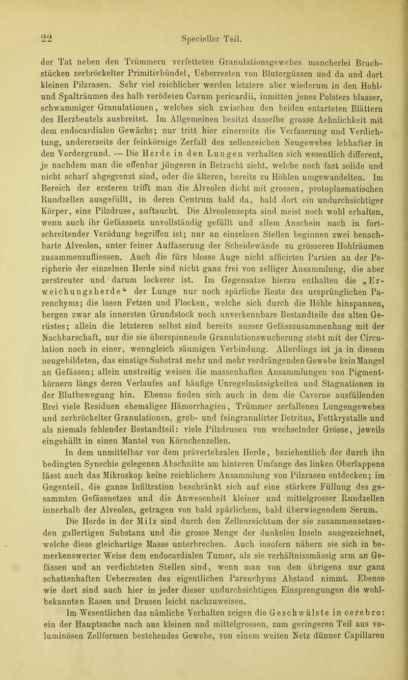 der Tat neben den Trümmern verfetteten Grannlationsgewebes mancherlei Bruch- stücken zerbröckelter Primitivbündel, Ueberresten von Blutergüssen und da und dort Meinen Pilzrasen. Sehr viel reichlicher werden letztere aber wiederum in den Hohl- und Spalträumen des halb verödeten Cavum pericardii, inmitten jenes Polsters blasser, schwammiger Granulationen, welches sich zwischen den beiden entarteten Blättern des Herzbeutels ausbreitet. Im Allgemeinen besitzt dasselbe grosse Aehnlichkeit mit dem endocardialen Gewächs; nur tritt hier einerseits die Verfaserung und Verdich- tung, andererseits der feinkörnige Zerfall des zellenreichen Neugewebes lebhafter in den Vordergrund. — Die Herde in den Lungen verhalten sich wesentlich different, je nachdem man die offenbar jüngeren in Betracht zieht, welche noch fast solide und nicht scharf abgegrenzt sind, oder die älteren, bereits zu Höhlen umgewandelten. Im Bereich der ersteren trifft man die Alveolen dicht mit grossen, protoplasmatischen Rundzellen ausgefüllt, in deren Centrum bald da, bald dort ein undurchsichtiger Körper, eine Pilzdruse, auftaucht. Die Alveolensepta sind meist noch wohl erhalten, wenn auch ihr Gefässnetz unvollständig gefüllt und allem Anschein nach in fort- schreitender Verödung begriffen ist; nur an einzelnen Stellen beginnen zwei benach- barte Alveolen, unter feiner Auffaserung der Scheidewände zu grösseren Hohlräumen zusammenzufliessen. Auch die fürs blosse Auge nicht afficirten Partien an der Pe- ripherie der einzelnen Herde sind nicht ganz frei von zelliger Ansammlung, die aber zerstreuter und darum lockerer ist. Im Gegensatze hierzu enthalten die „Er- weichungsherde der Lunge nur noch spärliche Reste des ursprünglichen Pa- renchyms; die losen Fetzen und Flocken, welche sich durch die Höhle hinspannen, bergen zwar als innersten Grundstock noch unverkennbare Bestandteile des alten Ge- rüstes; allein die letzteren selbst sind bereits ausser Gefässzusammenhang mit der ^Nachbarschaft, nur die sie überspinnende Granulationswucherung steht mit der Circu- lation noch in einer, wenngleich säumigen Verbindung. Allerdings ist ja in diesem neugebildeten, das einstige Substrat mehr und mehr verdrängenden Gewebe kein Mangel an Gefässen; allein unstreitig weisen die massenhaften Ansammlungen von Pigment- körnern längs deren Verlaufes auf häufige Unregelmässigkeiten und Stagnationen in der Blutbewegung hin. Ebenso finden sich auch in dem die Caverne ausfüllenden Brei viele Residuen ehemaliger Hämorrhagien, Trümmer zerfallenen Lungengewebes und zerbröckelter Granulationen, grob- und feingranulirter Detritus, Fettkrystalle und als niemals fehlender Bestandteil: viele Pilzdrusen von wechselnder Grösse, jeweils eingehüllt in einen Mantel von Körnchenzellen. In dem unmittelbar vor dem prävertebralen Herde, beziehentlich der durch ihn bedingten Synechie gelegenen Abschnitte am hinteren Umfange des linken Oberlappens lässt auch das Mikroskop keine reichlichere Ansammlung von Pilzrasen entdecken; im Gegenteil, die ganze Infiltration beschränkt sich auf eine stärkere Füllung des ge- sammten Gefässnetzes und die Anwesenheit kleiner und mittelgrosser Rundzellen innerhalb der Alveolen, getragen von bald spärlichem, bald überwiegendem Serum. Die Herde in der Milz sind durch den Zeilenreichtum der sie zusammensetzen- den gallertigen Substanz und die grosse Menge der dunkelen Inseln ausgezeichnet, w^elche diese gleichartige Masse unterbrechen. Auch insofern nähern sie sich in be- merkenswerter Weise dem endocardialen Tumor, als sie verhältnissmässig arm an Ge- fässen und an verdichteten Stellen sind, wenn man von den übrigens nur ganz schattenhaften Ueberresten des eigentlichen Parenchyms Abstand nimmt. Ebenso wie dort sind auch hier in jeder dieser undurchsichtigen Einsprengungen die wohl- bekannten Rasen und Drusen leicht nachzuweisen. Im Wesentlichen das nämliche Verhalten zeigen die Geschwülste incerebro: ein der Hauptsache nach aus kleinen und mittelgrossen, zum geringeren Teil aus vo- luminösen Zellformen bestehendes Gewebe, von einem weiten Netz dünner Capillaren