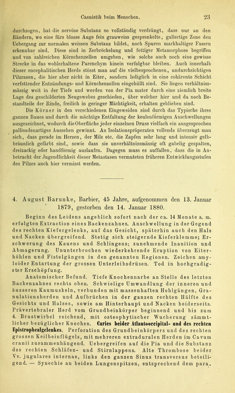 durchzogen, hat die nervöse Substanz so vollständig verdrängt, dass nur an den Rändern, wo eine fürs blosse Auge fein grauweiss gesprenkelte, gallertige Zone den Uebergang zur normalen weissen Substanz bildet, noch Spuren markhaltiger Fasern erkennbar sind. Diese sind in Zerbröckelung und fettiger Metamorphose begriffen und von zahlreichen Körnchenzellen umgeben, wie solche auch noch eine gewisse Strecke in das wohlerhaltene Parenchym hinein verfolgbar bleiben. Auch innerhalb dieser encephalitischen Herde stösst man auf die vielbesprochenen, undurchsichtigen Pilzrasen, die hier aber nicht in Eiter, sondern lediglich in eine cohärente Schicht verfettender Entzündungs- und Körnchenzellen eingehüllt sind. Sie liegen verhältniss- mässig weit in der Tiefe und werden von der Pia mater durch eine ziemlich breite Lage des geschilderten Neugewebes geschieden, über welcher hier und da noch Be- standteile der Rinde, freilich in geringer Mächtigkeit, erhalten geblieben sind. Die Körner in den verschiedenen Eingeweiden sind durch das Typische ihres ganzen Baues und durch die mächtige Entfaltung der keulenförmigen Anschwellungen ausgezeichnet, wodurch die Oberfläche jeder einzelnen Druse vielfach ein ausgesprochen pallisadenartiges Aussehen gewinnt. An Isolationspräperaten vollends überzeugt man sich, dass gerade im Herzen, der Milz etc. die Zapfen sehr lang und intensiv gelb- bräunlich gefärbt sind, sowie dass sie unverhältnissmässig oft gabelig gespalten, dreizackig oder bandförmig auslaufrn. Dagegen muss es auffallen, dass die in An- betracht der Jugendlichkeit dieser Metastasen vermuteten früheren Entwicklungsstufen des Pilzes auch hier vermisst werden. 4. August Barunke, Barbier, 45 Jahre, aufgenommen den 13. Januar 1879, gestorben den 14. Januar 1880. Beginn des Leidens angeblich sofort nach der ca. 14 Monate a. m. erfolgten Extraction eines Backenzahnes. Anschwellung in der Gegend des rechten Kiefergelenks, auf das Gesicht, späterhin auch den Hals und Nacken übergreifend. Stetig sich steigernde Kieferklemme; Er- schwerung des Kauens und Schlingens; zunehmende Inanition und Abmagerung. Ununterbrochen wiederkehrende Eruption von Eiter- höhlen und Fistelgängen in den genannten Regionen. Zeichen amy- loider Entartung der grossen Unterleibsdrüsen. Tod in hochgradig- ster Erschöpfung. Anatomischer Befund. Tiefe Knochennarbe an Stelle des letzten Backenzahnes rechts oben. Schwielige Umwandlung der inneren und äusseren Kaumuskeln, verbunden mit massenhaften Hohlgängen, Gra- nulation sherden und Aufbrüchen in der ganzen rechten Hälfte des Gesichts und Halses, sowie am Hinterhaupt und Nacken beiderseits. Prävertebraler Herd vom Grundbeinkörper beginnend und bis zum 4. Brustwirbel reichend, mit osteophytischer Wucherung sämmt- licher bezüglicher Knochen. Caries beider Atlantooccipital- und des rechten Epistrophealgelenkes. Perforation des Grundbeinkörpers und des rechten grossen Keilbeinflügels, mit mehreren extraduralen Herden im Cavum cranii zusammenhängend. Uebergreifen auf die Pia und die Substanz des rechten Schläfen- und Stirnlappens. Alte Thrombose beider Vv. jugulares internae, links den ganzen Sinus transversus beteili- gend. — Synechie an beiden Lungenspitzen, entsprechend dem para.