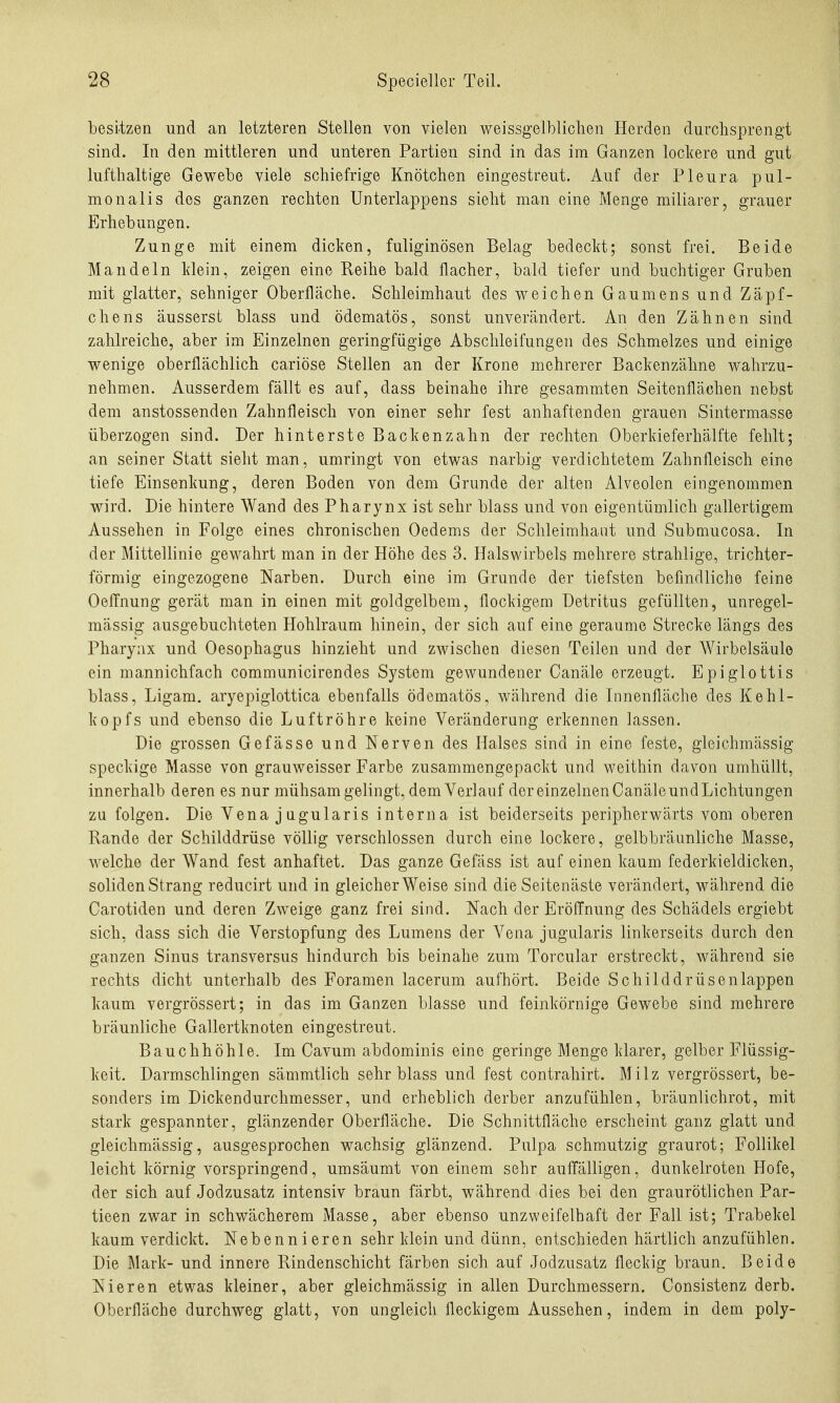 besitzen und an letzteren Stellen von vielen weissgelbliclien Herden durchsprengt sind. In den mittleren und unteren Partien sind in das im Ganzen lockere und gut lufthaltige Gewebe viele schiefrige Knötchen eingestreut. Auf der Pleura pul- monalis des ganzen rechten Unterlappens sieht man eine Menge miliarer, grauer Erhebungen. Zunge mit einem dicken, fuliginösen Belag bedeckt; sonst frei. Beide Mandeln klein, zeigen eine Reihe bald flacher, bald tiefer und buchtiger Gruben mit glatter, sehniger Oberfläche. Schleimhaut des weichen Gaumens und Zäpf- chens äusserst blass und ödematös, sonst unverändert. An den Zähnen sind zahlreiche, aber im Einzelnen geringfügige Abschleifungen des Schmelzes und einige wenige oberflächlich cariöse Stellen an der Krone mehrerer Backenzähne wahrzu- nehmen. Ausserdem fällt es auf, dass beinahe ihre gesammten Seitenflächen nebst dem anstossenden Zahnfleisch von einer sehr fest anhaftenden grauen Sintermasse überzogen sind. Der hinterste Backenzahn der rechten Oberkieferhälfte fehlt; an seiner Statt sieht man, umringt von etwas narbig verdichtetem Zahnfleisch eine tiefe Einsenkung, deren Boden von dem Grunde der alten Alveolen eingenommen wird. Die hintere Wand des Pharynx ist sehr blass und von eigentümlich gallertigem Aussehen in Folge eines chronischen Oedems der Schleimhaut und Submucosa. In der Mittellinie gewahrt man in der Höhe des 3. Halswirbels mehrere strahlige, trichter- förmig eingezogene Narben. Durch eine im Grunde der tiefsten befindliche feine Oeffnung gerät man in einen mit goldgelbem, flockigem Detritus gefüllten, unregel- mässig ausgebuchteten Hohlraum hinein, der sich auf eine geraume Strecke längs des Pharynx und Oesophagus hinzieht und zwischen diesen Teilen und der Wirbelsäule ein mannichfach communicirendes System gewundener Canäle erzeugt, Epiglottis blass, Ligam. aryepiglottica ebenfalls ödematös, während die Innenfläche des Kehl- kopfs und ebenso die Luftröhre keine Veränderung erkennen lassen. Die grossen Gefässe und Nerven des Halses sind in eine feste, gleichmässig speckige Masse von grauweisser Farbe zusammengepackt und weithin davon umhüllt, innerhalb deren es nur mühsam gelingt, dem Verlauf der einzelnen Canäle und Lichtungen zu folgen. Die Vena jugularis interna ist beiderseits peripherwärts vom oberen Rande der Schilddrüse völlig verschlossen durch eine lockere, gelbbräunliche Masse, welche der Wand fest anhaftet. Das ganze Gefäss ist auf einen kaum federkieldicken, soliden Strang reducirt und in gleicherweise sind die Seitenäste verändert, während die Carotiden und deren Zweige ganz frei sind. Nach der Eröffnung des Schädels ergiebt sich, dass sich die Verstopfung des Lumens der Vena jugularis linkerseits durch den ganzen Sinus transversus hindurch bis beinahe zum Torcular erstreckt, während sie rechts dicht unterhalb des Foramen lacerum aufhört. Beide Schilddrüsenlappen kaum vergrössert; in das im Ganzen blasse und feinkörnige Gewebe sind mehrere bräunliche Gallertknoten eingestreut. Bauchhöhle. Im Cavum abdominis eine geringe Menge klarer, gelber Flüssig- keit. Darmschlingen sämmtlich sehr blass und fest contrahirt. Milz vergrössert, be- sonders im Dickendurchmesser, und erheblich derber anzufühlen, bräunlichrot, mit stark gespannter, glänzender Oberfläche. Die Schnittfläche erscheint ganz glatt und gleichmässig, ausgesprochen wachsig glänzend. Pulpa schmutzig graurot; Follikel leicht körnig vorspringend, umsäumt von einem sehr auffälligen, dunkelroten Hofe, der sich auf Jodzusatz intensiv braun färbt, während dies bei den graurötlichen Par- tieen zwar in schwächerem Masse, aber ebenso unzweifelhaft der Fall ist; Trabekel kaum verdickt. Nebennieren sehr klein und dünn, entschieden härtlich anzufühlen. Die Mark- und innere Rindenschicht färben sich auf Jodzusatz fleckig braun. Beide Nieren etwas kleiner, aber gleichmässig in allen Durchmessern. Consistenz derb. Oberfläche durchweg glatt, von ungleich fleckigem Aussehen, indem in dem poly-