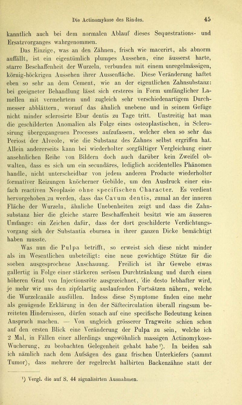 kanntlich auch bei dem normalen Ablauf dieses Seqaestrations- und Ersatzvorganges wahrgenommen. Das Einzige, was an den Zähnen, frisch wie macerirt, als abnorm auffällt, ist ein eigentümlich plumpes Aussehen, eine äusserst harte, starre Beschaffenheit der Wurzeln, verbunden mit einem unregelmässigen, körnig-höckrigen Aussehen ihrer Aussenfiäche. Diese Veränderung haftet eben so sehr an dem Cement, wie an der eigentlichen Zahnsubstanz: bei geeigneter Behandlung lässt sich ersteres in Form umfänglicher La- mellen mit vermehrtem und zugleich sehr verschiedenartigem Durch- messer abblättern, worauf das ähnlich unebene und in seinem Gefüge nicht minder sclerosirte Ebur dentis zu Tage tritt. Unstreitig hat man die geschilderten Anomalien als Folge eines osteoplastischen, in Sclero- sirung übergegangenen Processes aufzufassen, welcher eben so sehr das Periost der Alveole, wie die Substanz des Zahnes selbst ergriffen hat. Allein andererseits kann bei wiederholter sorgfältiger Yergleichung einer ansehnlichen Reihe von Bildern doch auch darüber kein Zweifel ob- walten, dass es sich um ein secundäres, lediglich accidentelles Phänomen handle, nicht unterscheidbar von jedem anderen Producte wiederholter formativer Reizungen knöcherner Gebilde, um den Ausdruck einer ein- fach reactiven Neoplasie ohne specifisehen Oharacter. Es verdient hervorgehoben zu werden, dass das Cavum dentis, zumal an der inneren Fläche der Wurzeln, ähnliche Unebenheiten zeigt und dass die Zahn- substanz hier die gleiche starre Beschaffenheit besitzt wie am äusseren Umfange: ein Zeichen dafür, dass der dort geschilderte Verdichtungs- vorgang sich der Substantia eburnea in ihrer ganzen Dicke bemächtigt haben musste. Was nun die Pulpa betrifft, so erweist sich diese nicht minder als im Wesentlichen unbeteiligt: eine neue gewichtige Stütze für die soeben ausgesprochene Anschauung. Freilich ist ihr Gewebe etwas gallertig in Folge einer stärkeren serösen Durchtränkung und durch einen höheren Grad von Injectionsröte ausgezeichnet, :die desto lebhafter wird, je mehr wir uns den zipfelartig auslaufenden Fortsätzen nähern, welche die Wurzelcanäle ausfüllen. Indess diese Symptome finden eine mehr als genügende Erklärung in den der Säftecirculation überall ringsum be- reiteten Hindernissen, dürfen sonach auf eine specifische Bedeutung keinen Anspruch machen. — Von ungleich grösserer Tragweite schien schon auf den ersten Blick eine Veränderung der Pulpa zu sein, welche ich 2 Mal, in Fällen einer allerdings ungewöhnlich massigen Actinomykose- Wucherung, zu beobachten Gelegenheit gehabt habe*). In beiden sah ich nämlich nach dem Aufsägen des ganz frischen Unterkiefers (sammt Tumor), dass mehrere der regelrecht halbirten Backenzähne statt der *) Vergl. die auf S. 44 signalisirten Ausnahmen.