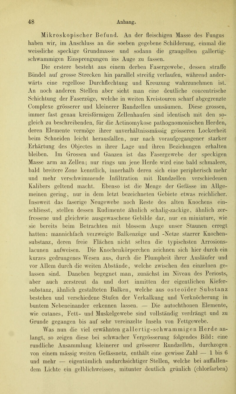 Mikroskopischer Befund. An der fleischigen Masse des Fungas haben wir, im Anschiuss an die soeben gegebene Schilderung, einmal die weissliche speckige Grundmasse und sodann die graugelben gallertig- schwammigen Einsprengungen ins Auge zu fassen. Die erstere besteht aus einem derben Fasergewebe, dessen straffe Bündel auf grosse Strecken hin parallel streifig verlaufen, während ander- wärts eine regellose Durchflechtung und Kreuzung wahrzunehmen ist. An noch anderen Stellen aber sieht man eine deutliche concentrische Schichtung der Faserzüge, welche in weiten Kreistouren scharf abgegrenzte Complexe grösserer und kleinerer Rundzellen umsäumen. Diese grossen, immer fast genau kreisförmigen Zellenhaufen sind identisch mit den so- gleich zu beschreibenden, für die Actinomykose pathognomonischen Herden, deren Elemente vermöge ihrer unverhältnissmässig grösseren Lockerheit beim Schneiden leicht herausfallen, nur nach voraufgegangener starker Erhärtung des Objectes m ihrer Lage und ihren Beziehungen erhalten bleiben. Im Grossen und Ganzen ist das Fasergewebe der speckigen Masse arm an Zellen; nur rings um jene Herde wird eine bald schmalere, bald breitere Zone kenntlich, innerhalb deren sich eine peripherisch mehr und mehr verschwimmende Infiltration mit Rundzellen verschiedenen Kalibers geltend macht. Ebenso ist die Menge der Gefässe im Allge- meinen gering, nur in dem letzt bezeichneten Gebiete etwas reichlicher. Insoweit das faserige Neugewebe noch Reste des alten Knochens ein- schliesst, stellen dessen Rudimente ähnlich schalig-zacldge, ähnlich zer- fressene und gleichwie ausgewaschene Gebilde dar, nur en miniature, wie sie bereits beim Betrachten mit blossem Auge unser Staunen erregt hatten: mannichfach veizweigte Balkenzüge und -Netze starrer Knochen- substanz, deren freie Flächen nicht selten die typischsten Arrosions- lacunen aufweisen. Die Knochenkörperchen zeichnen sich hier durch ein kurzes gedrungenes Wesen aus, durch die Plumpheit ihrer Ausläufer und vor Allem durch die weiten Abstände, welche zwischen den einzelnen ge- lassen sind. Daneben begegnet man, zunächst im Niveau des Periosts, aber auch zerstreut da und dort inmitten der eigentlichen Kiefer- substanz, ähnlich gestalteten Balken, welche aus osteoider Substanz bestehen und verschiedene Stufen der Verkalkung und Yerknöcherung in buntem Nebeneinander erkennen lassen. — Die autochthonen Elemente, wie cutanes, Fett- und Muskelgewebe sind vollständig verdrängt und zu Grunde gegangen bis auf sehr vereinzelte Inseln von Fettgewebe. Was nun die viel erwähnten gallertig-schwammigen Herde an- langt, so zeigen diese bei schwacher Vergrösserung folgendes Bild: eine rundliche Ansammlung kleinerer und grösserer Rundzellen, durchzogen von einem mässig weiten Gefässnetz, enthält eine gewisse Zahl — 1 bis 6 und mehr — eigentümlich undurchsichtiger Stellen, welche bei auffallen- dem Lichte ein gelblichweisses, mitunter deutlich grünlich (chlorfarben)