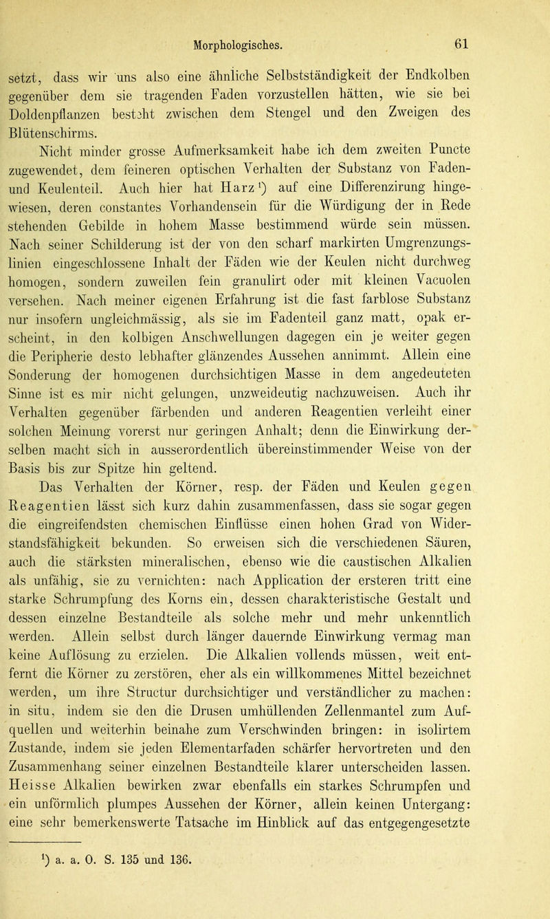 setzt, dass wir uns also eine ähnliche Selbstständigkeit der Endkolben gegenüber dem sie tragenden Faden vorzustellen hätten, wie sie bei Doldenpflanzen bestoht zwischen dem Stengel und den Zweigen des Bliitenschirms. Nicht minder grosse Aufmerksamkeit habe ich dem zweiten Puncto zugewendet, dem feineren optischen Verhalten der Substanz von Faden- und Keulenteil. Auch hier hat Harz^) auf eine Differenzirung hinge- wiesen, deren constantes Vorhandensein für die Würdigung der in Rede stehenden Gebilde in hohem Masse bestimmend würde sein müssen. Nach seiner Schilderung ist der von den scharf markirten Umgrenzungs- linien eingeschlossene Inhalt der Fäden wie der Keulen nicht durchweg homogen, sondern zuweilen fein granulirt oder mit kleinen Vacuolen versehen. Nach meiner eigenen Erfahrung ist die fast farblose Substanz nur insofern ungleichmässig, als sie im Fadenteil ganz matt, opak er- scheint, in den kolbigen Anschwellungen dagegen ein je weiter gegen die Peripherie desto lebhafter glänzendes Aussehen annimmt. Allein eine Sonderung der homogenen durchsichtigen Masse in dem angedeuteten Sinne ist es mir nicht gelungen, unzweideutig nachzuweisen. Auch ihr Verhalten gegenüber färbenden und anderen Reagentien verleiht einer solchen Meinung vorerst nur geringen Anhalt; denn die Einwirkung der- selben macht sich in ausserordentlich übereinstimmender Weise von der Basis bis zur Spitze hin geltend. Das Verhalten der Körner, resp. der Fäden und Keulen gegen Reagentien lässt sich kurz dahin zusammenfassen, dass sie sogar gegen die eingreifendsten chemischen Einflüsse einen hohen Grad von Wider- standsfähigkeit bekunden. So erweisen sich die verschiedenen Säuren, auch die stärksten mineralischen, ebenso wie die caustischen Alkalien als unfähig, sie zu vernichten: nach Application der ersteren tritt eine starke Schrumpfung des Korns ein, dessen charakteristische Gestalt und dessen einzelne Bestandteile als solche mehr und mehr unkenntlich werden. Allein selbst durch länger dauernde Einwirkung vermag man keine Auflösung zu erzielen. Die Alkalien vollends müssen, weit ent- fernt die Körner zu zerstören, eher als ein willkommenes Mittel bezeichnet werden, um ihre Structur durchsichtiger und verständlicher zu machen: in situ, indem sie den die Drusen umhüllenden Zellenmantel zum Auf- quellen und weiterhin beinahe zum Verschwinden bringen: in isolirtem Zustande, indem sie jeden Elementarfaden schärfer hervortreten und den Zusammenhang seiner einzelnen Bestandteile klarer unterscheiden lassen. Heisse Alkalien bewirken zwar ebenfalls ein starkes Schrumpfen und ein unförmlich plumpes Aussehen der Körner, allein keinen Untergang: eine sehr bemerkenswerte Tatsache im Hinblick auf das entgegengesetzte 1) a. a. 0. S. 135 und 136.