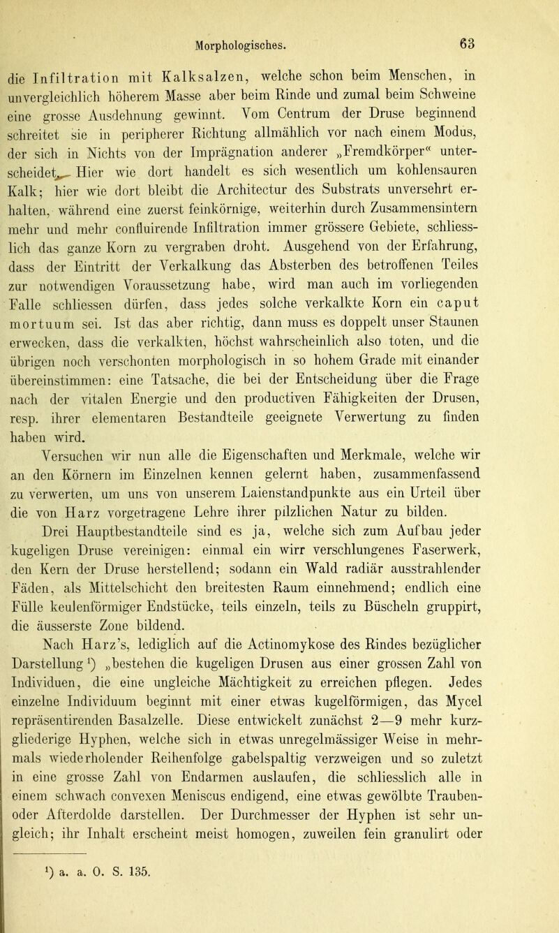 die Infiltration mit Kalksalzen, welche schon beim Menschen, in unvergleichlich höherem Masse aber beim Rinde und zumal beim Schweine eine grosse Ausdehnung gewinnt. Vom Centrum der Druse beginnend schreitet sie in peripherer Richtung allmählich vor nach einem Modus, der sich in Nichts von der Imprägnation anderer „Fremdkörper« unter- scheidetj^ Hier wie dort handelt es sich wesentlich um kohlensauren Kalk; hier wie dort bleibt die Architectur des Substrats unversehrt er- halten, während eine zuerst feinkörnige, weiterhin durch Zusammensintern mehr und mehr confluirende Infiltration immer grössere Gebiete, schliess- lich das ganze Korn zu vergraben droht. Ausgebend von der Erfahrung, dass der Eintritt der Verkalkung das Absterben des betroffenen Teiles zur notwendigen Voraussetzung habe, wird man auch im vorliegenden Falle schliessen dürfen, dass jedes solche verkalkte Korn ein caput mortuum sei. Ist das aber richtig, dann muss es doppelt unser Staunen erwecken, dass die verkalkten, höchst wahrscheinlich also toten, und die übrigen noch verschonten morphologisch in so hohem Grade mit einander übereinstimmen: eine Tatsache, die bei der Entscheidung über die Frage nach der vitalen Energie und den productiven Fähigkeiten der Drusen, resp. ihrer elementaren Bestandteile geeignete Verwertung zu finden haben wird. Versuchen Avir nun alle die Eigenschaften und Merkmale, welche wir an den Körnern im Einzelnen kennen gelernt haben, zusammenfassend zu verwerten, um uns von unserem Laienstandpunkte aus ein Urteil über die von Harz vorgetragene Lehre ihrer pilzlichen Natur zu bilden. Drei Hauptbestandteile sind es ja, welche sich zum Aufbau jeder kugeligen Druse vereinigen: einmal ein wirr verschlungenes Faserwerk, den Kern der Druse herstellend; sodann ein Wald radiär ausstrahlender Fäden, als Mittelschicht den breitesten Raum einnehmend; endlich eine Fülle keulenförmiger Endstücke, teils einzeln, teils zu Büscheln gruppirt, die äusserste Zone bildend. Nach Harz's, lediglich auf die Actinomykose des Rindes bezüglicher Darstellung ^) „bestehen die kugeligen Drusen aus einer grossen Zahl von Individuen, die eine ungleiche Mächtigkeit zu erreichen pflegen. Jedes einzelne Individuum beginnt mit einer etwas kugelförmigen, das Mycel repräsentirenden Basalzelle. Diese entwickelt zunächst 2—9 mehr kurz- gliederige Hyphen, welche sich in etwas unregelmässiger Weise in mehr- mals wiederholender Reihenfolge gabelspaltig verzweigen und so zuletzt in eine grosse Zahl von Endarmen auslaufen, die schliesslich alle in einem schwach convexen Meniscus endigend, eine etwas gewölbte Trauben- oder Afterdolde darstellen. Der Durchmesser der Hyphen ist sehr un- gleich; ihr Inhalt erscheint meist homogen, zuweilen fein granulirt oder
