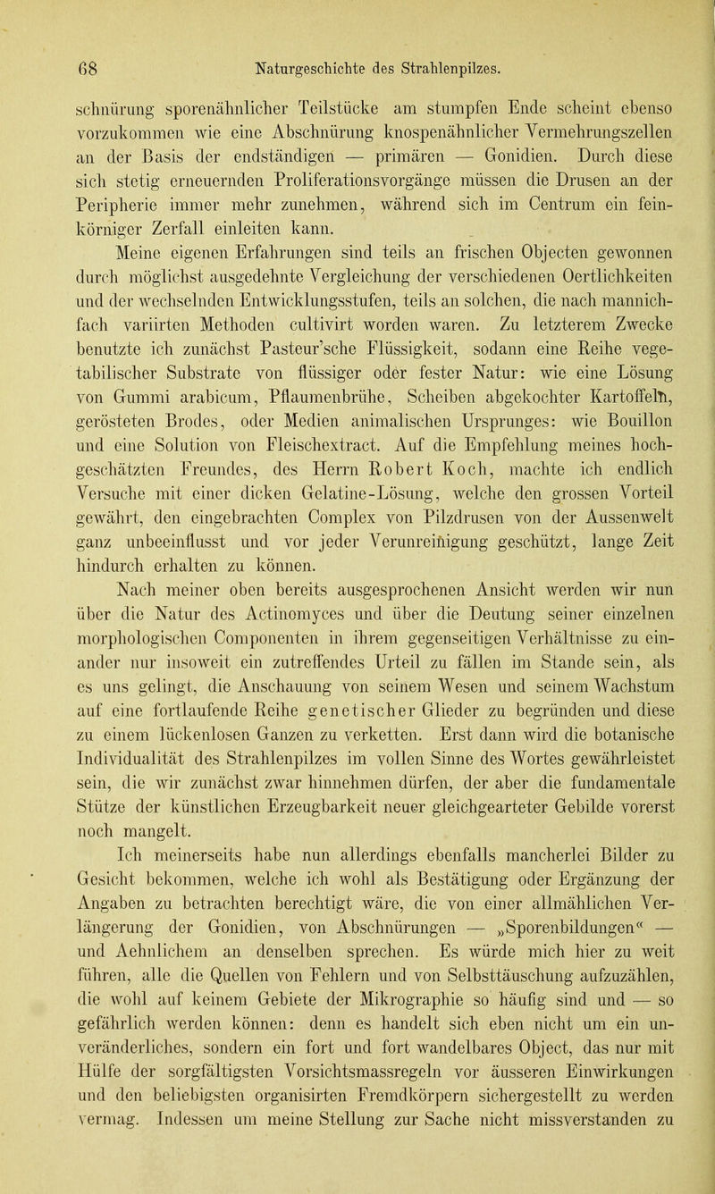 schnürung sporenähnlicher Teilstücke am stumpfen Ende scheint ebenso vorzukommen wie eine Abschnürung knospenähnlicher Yermehrungszellen an der Basis der endständigen — primären — Gonidien. Durch diese sich stetig erneuernden Proliferations Vorgänge müssen die Drusen an der Peripherie immer mehr zunehmen, während sich im Centrum ein fein- körniger Zerfall einleiten kann. Meine eigenen Erfahrungen sind teils an frischen Objecten gewonnen durch möglichst ausgedehnte Vergleichung der verschiedenen Oertlichkeiten und der wechselnden Entwicklungsstufen, teils an solchen, die nach mannich- fach variirten Methoden cultivirt worden waren. Zu letzterem Zwecke benutzte ich zunächst Pasteur'sche Flüssigkeit, sodann eine Reihe vege- tabilischer Substrate von flüssiger oder fester Natur: wie eine Lösung von Gummi arabicum, Pflaumenbrühe, Scheiben abgekochter KartoffelTi, gerösteten Bredes, oder Medien animalischen Ursprunges: wie Bouillon und eine Solution von Fleischextract. Auf die Empfehlung meines hoch- geschätzten Freundes, des Herrn Robert Koch, machte ich endlich Versuche mit einer dicken Gelatine-Lösung, welche den grossen Vorteil gewährt, den eingebrachten Complex von Pilzdrusen von der Aussenwelt ganz unbeeinflusst und vor jeder Verunreinigung geschützt, lange Zeit hindurch erhalten zu können. Nach meiner oben bereits ausgesprochenen Ansicht werden wir nun über die Natur des Actinomyces und über die Deutung seiner einzelnen morphologischen Componenten in ihrem gegenseitigen Verhältnisse zu ein- ander nur hisoweit ein zutreffendes Urteil zu fällen im Stande sein, als es uns gelingt, die Anschauung von seinem Wesen und seinem Wachstum auf eine fortlaufende Reihe genetischer Glieder zu begründen und diese zu einem lückenlosen Ganzen zu verketten. Erst dann wird die botanische Individualität des Strahlenpilzes im vollen Sinne des Wortes gewährleistet sein, die wir zunächst zwar hinnehmen dürfen, der aber die fundamentale Stütze der künstlichen Erzeugbarkeit neuer gleichgearteter Gebilde vorerst noch mangelt. Ich meinerseits habe nun allerdings ebenfalls mancherlei Bilder zu Gesicht bekommen, welche ich wohl als Bestätigung oder Ergänzung der Angaben zu betrachten berechtigt wäre, die von einer allmählichen Ver- längerung der Gonidien, von Abschnürungen — »Sporenbildungen— und Aehnlichem an denselben sprechen. Es würde mich hier zu weit führen, alle die Quellen von Fehlern und von Selbsttäuschung aufzuzählen, die wohl auf keinem Gebiete der Mikrographie so häufig sind und — so gefährlich werden können: denn es handelt sich eben nicht um ein un- veränderliches, sondern ein fort und fort wandelbares Object, das nur mit Hülfe der sorgfältigsten Vorsichtsmassregeln vor äusseren Einwirkungen und den beliebigsten organisirten Fremdkörpern sichergestellt zu werden vermag. Indessen um meine Stellung zur Sache nicht missverstanden zu