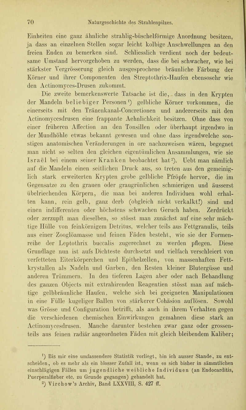 Einheiten eine ganz ähnliche strahlig-büschelförmige Anordnung besitzen, ja dass an einzelnen Stellen sogar leicht kolbige Anschwellungen an den freien Enden zu bemerken sind. Schliesslich verdient noch der bedeut- same Umstand hervorgehoben zu werden, dass die bei schwacher, wie bei stärkster Vergrösserung gleich ausgesprochene bräunliche Färbung der Körner und ihrer Componenten den Streptothrix-Haufen ebensosehr wie den Actinomyces-Drusen zukommt. Die zweite bemerkenswerte Tatsache ist die, dass in den Krypten der Mandeln beliebiger Personen^) gelbliche Körner vorkommen, die einerseits mit den Tränenkanal-Concretionen und andererseits mit den Actinomycesdrusen eine frappante Aehnlichkeit besitzen. Ohne dass von einer früheren Affection an den Tonsillen oder überhaupt irgendwo in der Mundhöhle etwas bekannt gewesen und ohne dass irgendwelche son- stigen anatomischen Veränderungen in ore nachzuweisen wären, begegnet man nicht so selten den gleichen eigentümlichen Ansammlungen, wie sie Israel bei einem seiner Kranken beobachtet hat-), üebt man nämlich auf die Mandeln einen seitlichen Druck aus, so treten aus den gemeinig- lich stark erweiterten Krypten grobe gelbliche Pfröpfe hervor, die im Gegensatze zu den grauen oder graugrünlichen schmierigen und äusserst übelriechenden Körpern, die man bei anderen Individuen wohl erhal- ten kann, rein gelb, ganz derb (obgleich nicht verkalkt!) sind und einen indifferenten oder höchstens schwachen Geruch haben. Zerdrückt oder zerzupft man dieselben, so stösst man zunächst auf eine sehr mäch- tige Hülle von feinkörnigem Detritus, welcher teils aus Fettgranulis, teils aus einer Zoogiöamasse und feinen Fäden besteht, wie sie der Formen- reihe der Leptothrix buccalis zugerechnet zu werden pflegen. Diese Grundlage nun ist aufs Dichteste durchsetzt und vielfach verschleiert von verfetteten Eiterkörperchen und Epithelzellen, von massenhaften Fett- krystallen als Nadeln und Garben, den Resten kleiner Blutergüsse und anderen Trümmern. In den tieferen Lagen aber oder nach Behandlung des ganzen Objects mit extrahirenden Reagentien stösst man auf mäch- tige gelbbräunliche Haufen, welche sich bei geeigneten Manipulationen in eine Fülle kugeliger Ballen von stärkerer Cohäsion auflösen. Sowohl was Grösse und Configuration betrifft, als auch in ihrem Verhalten gegen die verschiedenen chemischen Einwirkungen gemahnen diese stark an Actinomycesdrusen. Manche darunter bestehen zwar ganz oder grossen- teils aus feinen radiär angeordneten Fäden mit gleich bleibendem Kaliber; ^) Bis mir eine umfassendere Statistik vorliegt, bin ich ausser Stande, zu ent- scheiden, ob es mehr als ein blosser Zufall ist, wenn es sich bisher in sammtlichen einschlägigen Fällen um jugendliche weibliche Individuen (an Endocarditis, Puerperalfieber etc. zu Grunde gegangen) gehandelt hat. 2) Virchow's Archiv, Band LXXVIII, S. 427 ff.