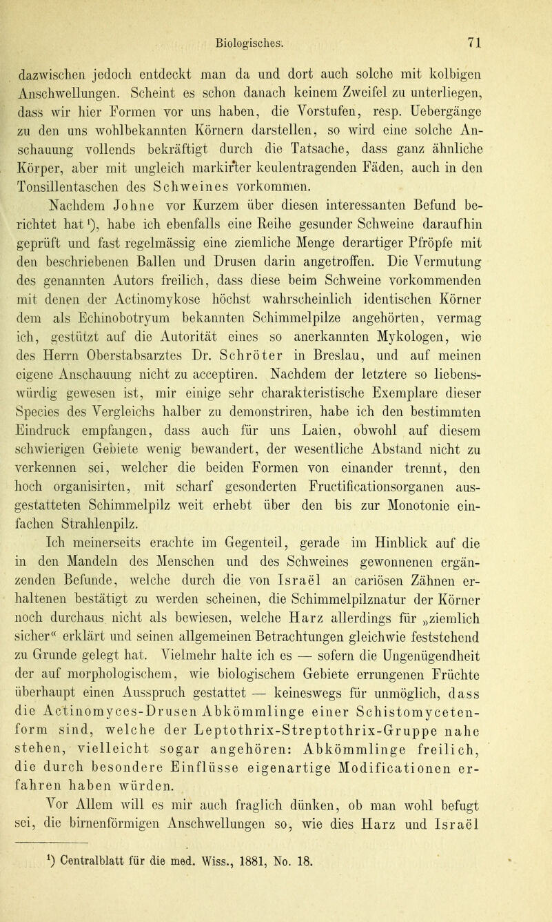 dazwischen jedoch entdeckt man da imd dort auch solche mit kolbigen Anschwellungen. Scheint es schon danach keinem Zweifel zu unterliegen, dass wir hier Formen vor uns haben, die Vorstufen, resp. Uebergänge zu den uns wohlbekannten Körnern darstellen, so wird eine solche An- schauung vollends bekräftigt durch die Tatsache, dass ganz ähnliche Körper, aber mit ungleich markirter keulentragenden Fäden, auch in den Tonsillentaschen des Schweines vorkommen. Nachdem Johne vor Kurzem über diesen interessanten Befund be- richtet hat habe ich ebenfalls eine Reihe gesunder Schweine daraufhin geprüft und fast regelmässig eine ziemliche Menge derartiger Pfröpfe mit den beschriebenen Ballen und Drusen darin angetroffen. Die Vermutung des genannten Autors freilich, dass diese beim Schweine vorkommenden mit denen der Actinomykose höchst wahrscheinlich identischen Körner dem als Echinobotryum bekannten Schimmelpilze angehörten, vermag ich, gestützt auf die Autorität eines so anerkannten Mykologen, wie des Herrn Oberstabsarztes Dr. Schröter in Breslau, und auf meinen eigene Anschauung nicht zu acceptiren. Nachdem der letztere so liebens- würdig gewesen ist, mir einige sehr charakteristische Exemplare dieser Speeles des Vergleichs halber zu demonstriren, habe ich den bestimmten Eindruck empfangen, dass auch für uns Laien, obwohl auf diesem schwierigen Gebiete wenig bewandert, der wesentliche Abstand nicht zu verkennen sei, welcher die beiden Formen von einander trennt, den hoch organisirten, mit scharf gesonderten Fructificationsorganen aus- gestatteten Schimmelpilz weit erhebt über den bis zur Monotonie ein- fachen Strahlenpilz. Ich meinerseits erachte im Gegenteil, gerade im Hinblick auf die in den Mandeln des Menschen und des Schweines gewonnenen ergän- zenden Befunde, welche durch die von Israel an cariösen Zähnen er- haltenen bestätigt zu werden scheinen, die Schimmelpilznatur der Körner noch durchaus nicht als bewiesen, welche Harz allerdings für ^^ziemlich sicher« erklärt und seinen allgemeinen Betrachtungen gleichwie feststehend zu Grunde gelegt hat. Vielmehr halte ich es — sofern die üngenügendheit der auf morphologischem, wie biologischem Gebiete errungenen Früchte überhaupt einen Ausspruch gestattet — keineswegs für unmöglich, dass die Actinomyces-Drusen Abkömmlinge einer Schistomyceten- form sind, welche der Leptothrix-Streptothrix-Gruppe nahe stehen, vielleicht sogar angehören: Abkömmlinge freilich, die durch besondere Einflüsse eigenartige Modificationen er- fahren haben würden. Vor Allem will es mir auch fraglich dünken, ob man wohl befugt sei, die birnenförmigen Anschwellungen so, wie dies Harz und Israel ^) Centralblatt für die med. Wiss., 1881, No. 18.