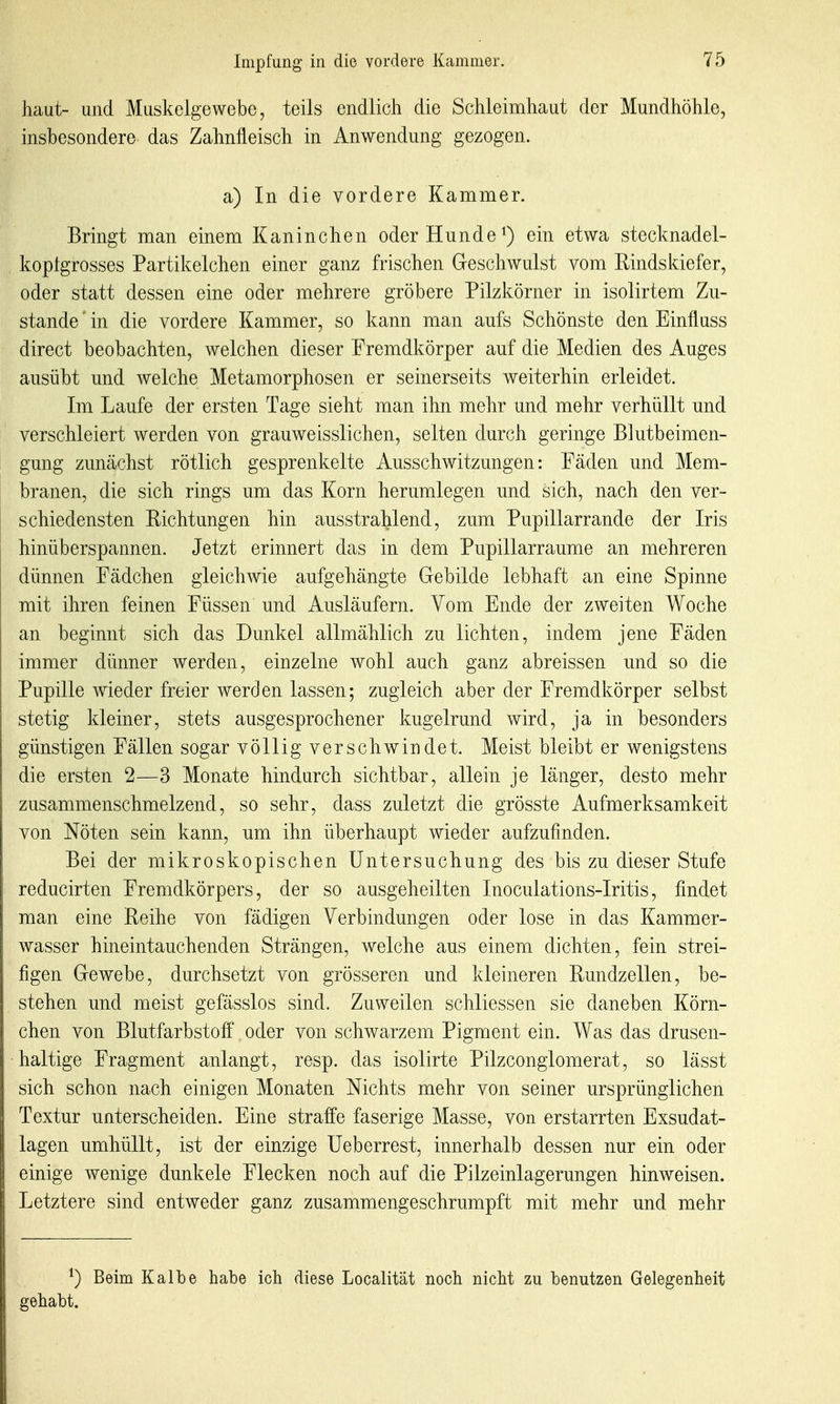 haut- und Muskelgewebe, teils endlich die Schleimhaut der Mundhöhle, insbesondere das Zahnfleisch in Anwendung gezogen. a) In die vordere Kammer. Bringt man einem Kaninchen oder Hunde ^) ein etwa stecknadel- koptgrosses Partikelchen einer ganz frischen Geschwulst vom Rindskiefer, oder statt dessen eine oder mehrere gröbere Pilzkörner in isolirtem Zu- stande ' in die vordere Kammer, so kann man aufs Schönste den Einfluss direct beobachten, welchen dieser Fremdkörper auf die Medien des Auges ausübt und welche Metamorphosen er seinerseits weiterhin erleidet. Im Laufe der ersten Tage sieht man ihn mehr und mehr verhüllt und verschleiert werden von grauweisslichen, selten durch geringe Blutbeimen- gung zunächst rötlich gesprenkelte Ausschwitzungen: Fäden und Mem- branen, die sich rings um das Korn herumlegen und sich, nach den ver- schiedensten Richtungen hin ausstrahlend, zum Pupillarrande der Iris hinüberspannen. Jetzt erinnert das in dem Pupillarraume an mehreren dünnen Fädchen gleichwie aufgehängte Gebilde lebhaft an eine Spinne mit ihren feinen Füssen und Ausläufern. Vom Ende der zweiten Woche an beginnt sich das Dunkel allmählich zu lichten, indem jene Fäden immer dünner werden, einzelne wohl auch ganz abreissen und so die Pupille wieder freier werden lassen; zugleich aber der Fremdkörper selbst stetig kleiner, stets ausgesprochener kugelrund wird, ja in besonders günstigen Fällen sogar völlig verschwindet. Meist bleibt er wenigstens die ersten 2—3 Monate hindurch sichtbar, allein je länger, desto mehr zusammenschmelzend, so sehr, dass zuletzt die grösste Aufmerksamkeit von Nöten sein kann, um ihn überhaupt wieder aufzufinden. Bei der mikroskopischen Untersuchung des bis zu dieser Stufe reducirten Fremdkörpers, der so ausgeheilten Inoculations-Iritis, findet man eine Reihe von fädigen Verbindungen oder lose in das Kammer- wasser hineintauchenden Strängen, welche aus einem dichten, fein strei- figen Gewebe, durchsetzt von grösseren und kleineren Rundzellen, be- stehen und meist gefässlos sind. Zuweilen schliessen sie daneben Körn- chen von Blutfarbstofi^ oder von schwarzem Pigment ein. Was das drusen- haltige Fragment anlangt, resp. das isolirte Pilzconglomerat, so lässt sich schon nach einigen Monaten Nichts mehr von seiner ursprünglichen Textur unterscheiden. Eine straffe faserige Masse, von erstarrten Exsudat- lagen umhüllt, ist der einzige Ueberrest, innerhalb dessen nur ein oder einige wenige dunkele Flecken noch auf die Pilzeinlagerungen hinweisen. Letztere sind entweder ganz zusammengeschrumpft mit mehr und mehr ^) Beim Kalbe habe ich diese Localität noch nicht zu benutzen Gelegenheit gehabt.