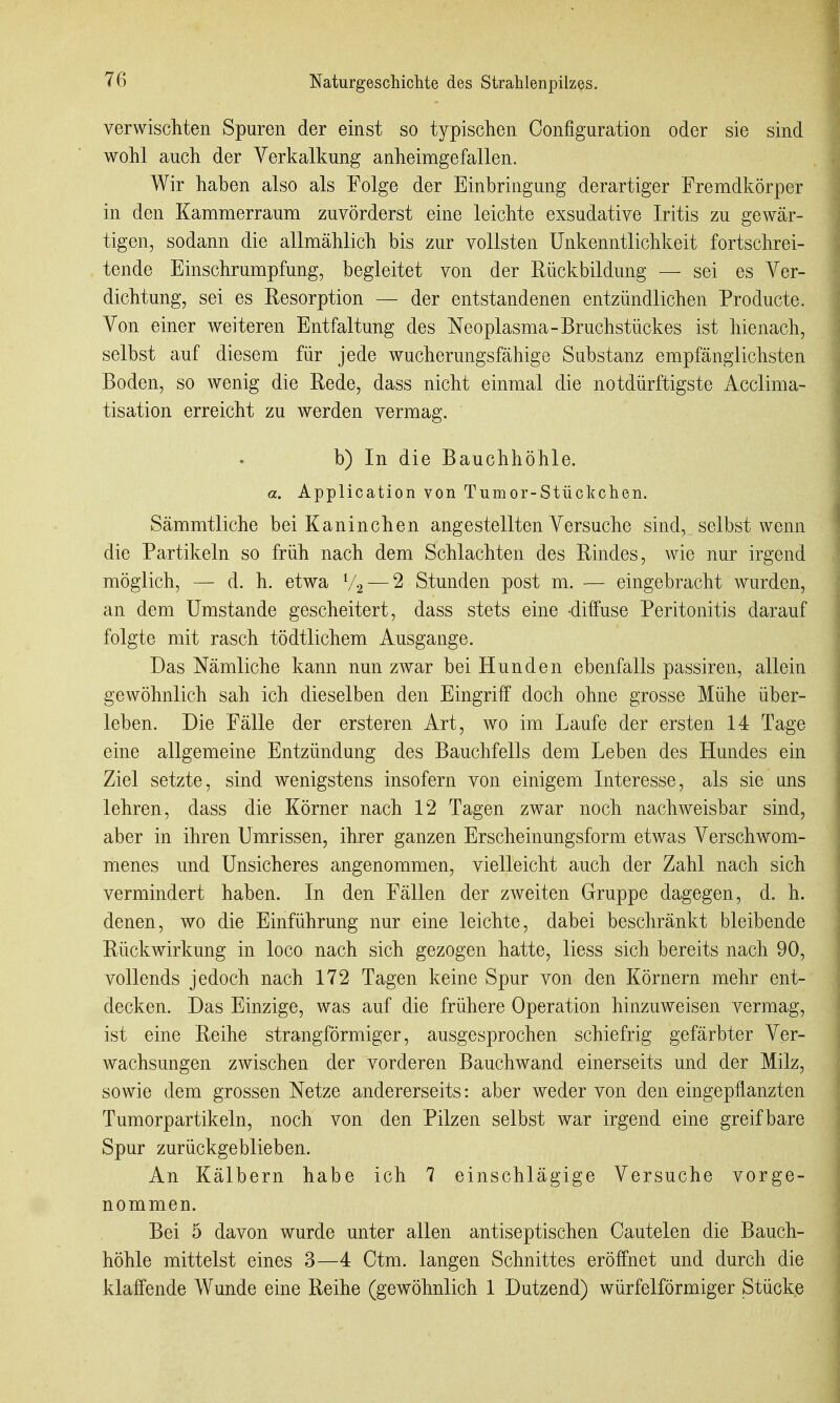 verwiscliten Spuren der einst so typischen Configuration oder sie sind wohl auch der Verkalkung anheimgefallen. Wir haben also als Folge der Einbringung derartiger Fremdkörper in den Kammerraum zuvörderst eine leichte exsudative Iritis zu gewär- tigen, sodann die allmählich bis zur vollsten Unkenntlichkeit fortschrei- tende Einschrumpfung, begleitet von der Rückbildung — sei es Ver- dichtung, sei es Resorption — der entstandenen entzündlichen Producte. Von einer weiteren Entfaltung des Neoplasma-Bruchstückes ist hienach, selbst auf diesem für jede wucherungsfähige Substanz empfänglichsten Boden, so wenig die Rede, dass nicht einmal die notdürftigste Acclima- tisation erreicht zu werden vermag. b) In die Bauchhöhle. a. Application von Tumor-Stückchen. Sämmtliche bei Kaninchen angestellten Versuche sind, selbst wenn die Partikeln so früh nach dem Schlachten des Rindes, wie nur irgend möglich, — d. h. etwa V2 — 2 Stunden post m. — eingebracht wurden, an dem Umstände gescheitert, dass stets eine -diffuse Peritonitis darauf folgte mit rasch tödtlichem Ausgange. Das Nämliche kann nun zwar bei Hunden ebenfalls passiren, allein gewöhnlich sah ich dieselben den Eingriff doch ohne grosse Mühe über- leben. Die Fälle der ersteren Art, wo im Laufe der ersten 14 Tage eine allgemeine Entzündung des Bauchfells dem Leben des Hundes ein Ziel setzte, sind wenigstens insofern von einigem Interesse, als sie uns lehren, dass die Körner nach 12 Tagen zwar noch nachweisbar sind, aber in ihren Umrissen, ihrer ganzen Erscheinungsform etwas Verschwom- menes und Unsicheres angenommen, vielleicht auch der Zahl nach sich vermindert haben. In den Fällen der zweiten Gruppe dagegen, d. h. denen, wo die Einführung nur eine leichte, dabei beschränkt bleibende Rückwirkung in loco nach sich gezogen hatte, liess sich bereits nach 90, vollends jedoch nach 172 Tagen keine Spur von den Körnern mehr ent- decken. Das Einzige, was auf die frühere Operation hinzuweisen vermag, ist eine Reihe strangförmiger, ausgesprochen schiefrig gefärbter Ver- wachsungen zwischen der vorderen Bauchwand einerseits und der Milz, sowie dem grossen Netze andererseits: aber weder von den eingepflanzten Tumorpartikeln, noch von den Pilzen selbst war irgend eine greifbare Spur zurückgeblieben. An Kälbern habe ich 7 einschlägige Versuche vorge- nommen. Bei 5 davon wurde unter allen antiseptischen Cautelen die Bauch- höhle mittelst eines 3—4 Ctm. langen Schnittes eröffnet und durch die klaffende Wunde eine Reihe (gewöhnlich 1 Dutzend) würfelförmiger Stücke