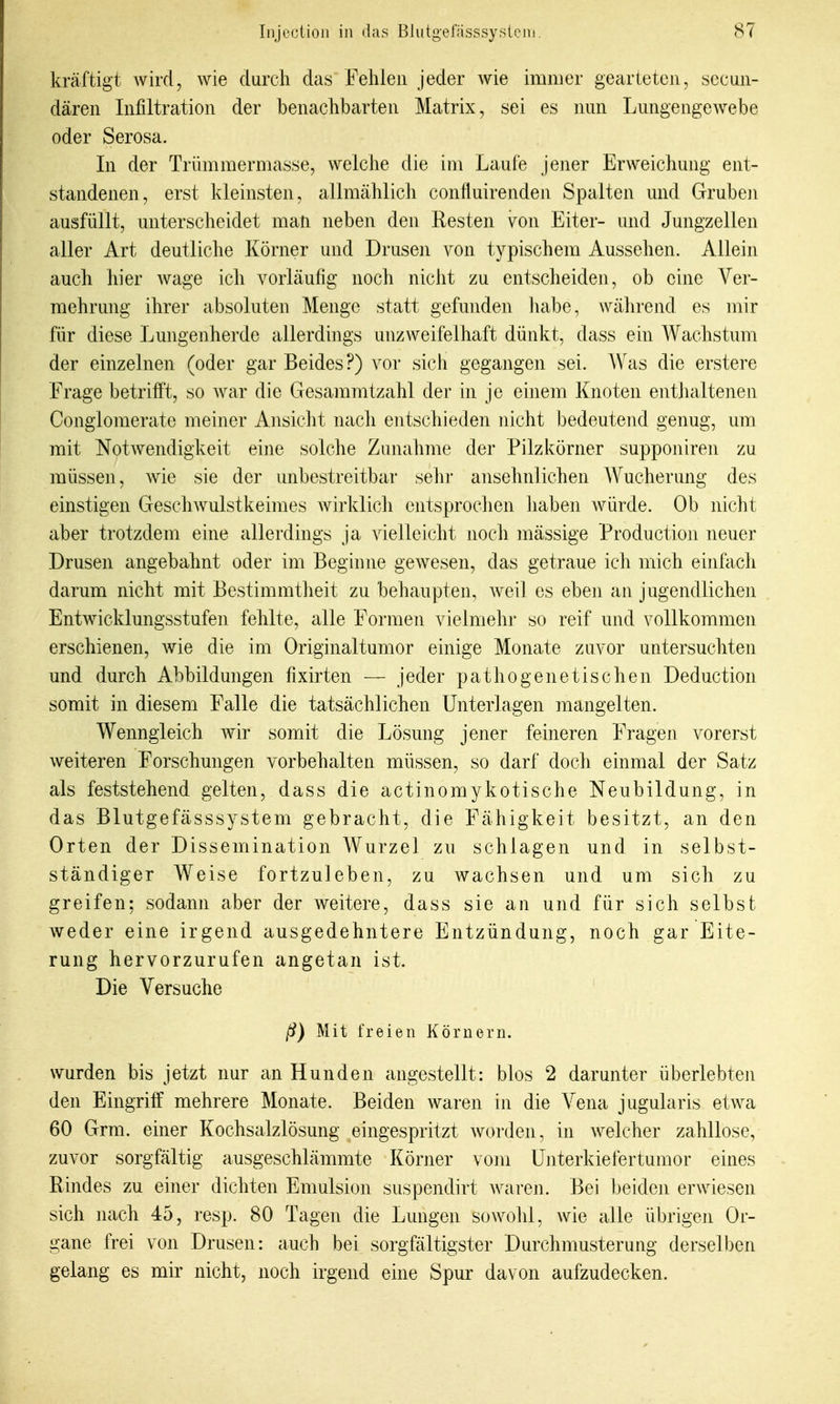 kräftigt wird, wie durch das Fehlen jeder wie immer gearteten, sccun- dären Infiltration der benachbarten Matrix, sei es nun Lungengewebe oder Serosa. In der Trümmermasse, welche die im Laufe jener Erweichung ent- standenen, erst kleinsten, allmählich confluirenden Spalten und Gruben ausfüllt, unterscheidet man neben den Resten von Eiter- und Jungzellen aller Art deutliche Körner und Drusen von typischem Aussehen. Allein auch hier wage ich vorläufig noch nicht zu entscheiden, ob eine Ver- mehrung ihrer absoluten Menge statt gefunden habe, während es mir für diese Lungenherde allerdings unzweifelhaft dünkt, dass ein Wachstum der einzelnen (oder gar Beides?) vor sich gegangen sei. AVas die erstere Frage betrifft, so war die Gesammtzahl der in je einem Knoten entiialtenen Conglomerate meiner Ansiclit nach entschieden nicht bedeutend genug, um mit Notwendigkeit eine solche Zunahme der Pilzkörner supponiren zu müssen, wie sie der unbestreitbar sehi' ansehnlichen Wucherung des einstigen Geschwulstkeimes Avirklich entsprochen haben Avürde. Ob nicht aber trotzdem eine allerdings ja vielleicht noch massige Production neuer Drusen angebahnt oder im Beginne gewesen, das getraue ich mich einfach darum nicht mit Bestimmtheit zu behaupten, weil es eben an jugendlichen Entwicklungsstufen fehlte, alle Formen vielmehr so reif und vollkommen erschienen, wie die im Originaltumor einige Monate zuvor untersuchten und durch Abbildungen fixirten — jeder pathogenetischen Deduction somit in diesem Falle die tatsächlichen Unterlagen mangelten. Wenngleich wir somit die Lösung jener feineren Fragen vorerst weiteren Forschungen vorbehalten müssen, so darf doch einmal der Satz als feststehend gelten, dass die actinomykotische Neubildung, in das Blutgefässsystem gebracht, die Fähigkeit besitzt, an den Orten der Dissemination Wurzel zu schlagen und in selbst- ständiger Weise fortzuleben, zu wachsen und um sich zu greifen: sodann aber der weitere, dass sie an und für sich selbst weder eine irgend ausgedehntere Entzündung, noch gar Eite- rung hervorzurufen angetan ist. Die Versuche ß) Mit freien Körnern. wurden bis jetzt nur an Hunden angestellt: blos 2 darunter überlebten den Eingriff mehrere Monate. Beiden waren in die Vena jugularis etwa 60 Grm. einer Kochsalzlösung eingespritzt Avorden, in Avelcher zahllose, zuvor sorgfältig ausgeschlämmte Körner vom Unterkiefertumor eines Rindes zu einer dichten Emulsion suspendirt Avaren. Bei beiden erwiesen sich nach 45, resp. 80 Tagen die Lungen soavoIiI, wie alle übrigen Or- gane frei von Drusen: auch bei sorgfältigster Durchmusterung derselben gelang es mir nicht, noch irgend eine Spur davon aufzudecken.