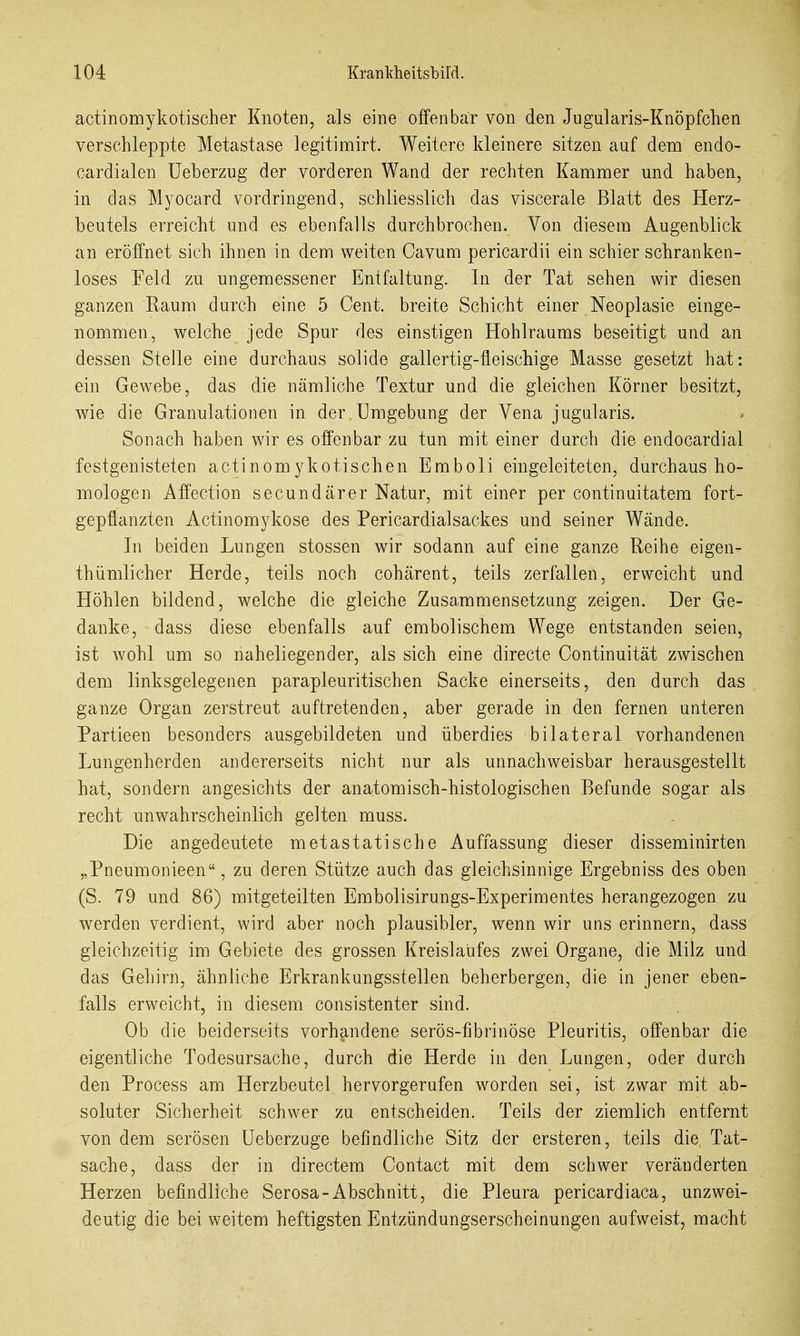 actinomykotischer Knoten, als eine offenbar von den Jugularis-Knöpfchen verschleppte Metastase legitimirt. Weitere kleinere sitzen auf dem endo- cardialen üeberzug der vorderen Wand der rechten Kammer und haben, in das Myocard vordringend, schliesslich das viscerale Blatt des Herz- beutels erreicht und es ebenfalls durchbrochen. Von diesem Augenblick an eröffnet sich ihnen in dem weiten Cavum pericardii ein schier schranken- loses Feld zu ungemessener Entfaltung. In der Tat sehen wir diesen ganzen Raum durch eine 5 Cent, breite Schicht einer Neoplasie einge- nommen, welche jede Spur des einstigen Hohlraums beseitigt und an dessen Stelle eine durchaus solide gallertig-fleischige Masse gesetzt hat: ein Gewebe, das die nämliche Textur und die gleichen Körner besitzt, wie die Granulationen in der Umgebung der Vena jugularis. Sonach haben wir es offenbar zu tun mit einer durch die endocardial festgenisteten actinomykotischen Emboli eingeleiteten, durchaus ho- mologen Affection secundärer Natur, mit einer per continuitatem fort- gepflanzten Actinomykose des Pericardialsackes und seiner Wände. In beiden Lungen stossen wir sodann auf eine ganze Reihe eigen- thümlicher Herde, teils noch cohärent, teils zerfallen, erweicht und Höhlen bildend, welche die gleiche Zusammensetzung zeigen. Der Ge- danke, dass diese ebenfalls auf embolischem Wege entstanden seien, ist wohl um so naheliegender, als sich eine directe Continuität zwischen dem linksgelegenen parapleuritischen Sacke einerseits, den durch das ganze Organ zerstreut auftretenden, aber gerade in den fernen unteren Partieen besonders ausgebildeten und überdies bilateral vorhandenen Lungenherden andererseits nicht nur als unnachweisbar herausgestellt hat, sondern angesichts der anatomisch-histologischen Befunde sogar als recht unwahrscheinlich gelten muss. Die angedeutete metastatische Auffassung dieser disseminirten „Pneumonieen, zu deren Stütze auch das gleichsinnige Ergebniss des oben (S. 79 und 86) mitgeteilten Embolisirungs-Experimentes herangezogen zu werden verdient, wird aber noch plausibler, wenn wir uns erinnern, dass gleichzeitig im Gebiete des grossen Kreislaufes zwei Organe, die Milz und das Gehirn, ähnliche Erkrankungsstellen beherbergen, die in jener eben- falls erweicht, in diesem consistenter sind. Ob die beiderseits vorhandene serös-fibrinöse Pleuritis, offenbar die eigentliche Todesursache, durch die Herde in den Lungen, oder durch den Process am Herzbeutel hervorgerufen worden sei, ist zwar mit ab- soluter Sicherheit schwer zu entscheiden. Teils der ziemlich entfernt von dem serösen üeberzuge befindliche Sitz der ersteren, teils die Tat- sache, dass der in directem Contact mit dem schwer veränderten Herzen befindliche Serosa-Abschnitt, die Pleura pericardiaca, unzwei- deutig die bei weitem heftigsten Entzündungserscheinungen aufweist, macht