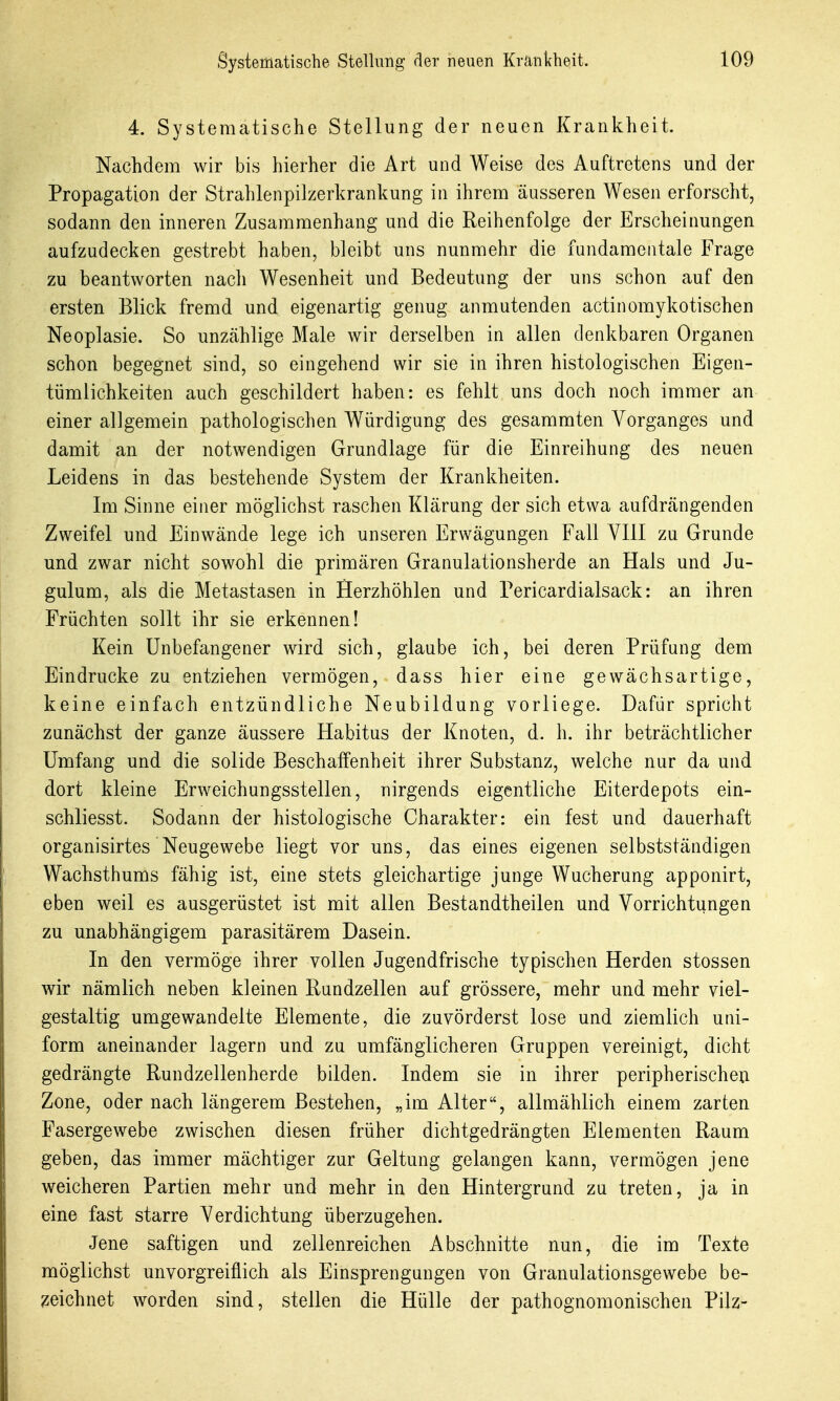 4. Systematische Stellung der neuen Krankheit. Nachdem wir bis hierher die Art und Weise des Auftretens und der Propagation der Strahlenpilzerkrankung in ihrem äusseren Wesen erforscht, sodann den inneren Zusammenhang und die Reihenfolge der Erscheinungen aufzudecken gestrebt haben, bleibt uns nunmehr die fundamentale Frage zu beantworten nacli Wesenheit und Bedeutung der uns schon auf den ersten Blick fremd und eigenartig genug anmutenden actinomykotischen Neoplasie. So unzcählige Male wir derselben in allen denkbaren Organen schon begegnet sind, so eingehend wir sie in ihren histologischen Eigen- tümlichkeiten auch geschildert haben: es fehlt uns doch noch immer an einer allgemein pathologischen Würdigung des gesammten Vorganges und damit an der notwendigen Grundlage für die Einreihung des neuen Leidens in das bestehende System der Krankheiten. Im Sinne einer möglichst raschen Klärung der sich etwa aufdrängenden Zweifel und Einwände lege ich unseren Erwägungen Fall VIII zu Grunde und zwar nicht sowohl die primären Granulationsherde an Hals und Ju- gulum, als die Metastasen in Herzhöhlen und Pericardialsack: an ihren Früchten sollt ihr sie erkennen! Kein Unbefangener wird sich, glaube ich, bei deren Prüfung dem Eindrucke zu entziehen vermögen, dass hier eine gewächsartige, keine einfach entzündliche Neubildung vorliege. Dafür spricht zunächst der ganze äussere Habitus der Knoten, d. h. ihr beträchtlicher Umfang und die solide Beschaffenheit ihrer Substanz, welche nur da und dort kleine Erweichungsstellen, nirgends eigentliche Eiterdepots ein- schliesst. Sodann der histologische Charakter: ein fest und dauerhaft organisirtes Neugewebe liegt vor uns, das eines eigenen selbstständigen Wachsthums fähig ist, eine stets gleichartige junge Wucherung apponirt, eben weil es ausgerüstet ist mit allen Bestandtheilen und Vorrichtungen zu unabhängigem parasitärem Dasein. In den vermöge ihrer vollen Jugendfrische typischen Herden stossen wir nämlich neben kleinen Rundzellen auf grössere, mehr und mehr viel- gestaltig umgewandelte Elemente, die zuvörderst lose und ziemlich uni- form aneinander lagern und zu umfänglicheren Gruppen vereinigt, dicht gedrängte Rundzellenherde bilden. Indem sie in ihrer peripherischeu Zone, oder nach längerem Bestehen, „im Alter, allmählich einem zarten Fasergewebe zwischen diesen früher dichtgedrängten Elementen Raum geben, das immer mächtiger zur Geltung gelangen kann, vermögen jene weicheren Partien mehr und mehr in den Hintergrund zu treten, ja in eine fast starre Verdichtung überzugehen. Jene saftigen und zellenreichen Abschnitte nun, die im Texte möglichst unvorgreiflich als Einsprengungen von Granulationsgewebe be- zeichnet worden sind, stellen die Hülle der pathognomonischen Pilz-