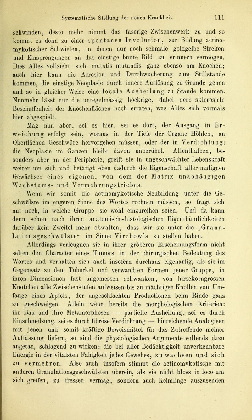 schwinden, desto mehr nimmt das faserige Zwischenwerk zu und so kommt es denn zu einer spontanen Involution, zur Bildung actino- mykotischer Schwielen, in denen nur noch schmale goldgelbe Streifen und Einsprengungen an das einstige bunte Bild zu erinnern vermögen. Dies Alles vollzieht sich mutatis mutandis ganz ebenso am Knochen; auch hier kann die Arrosion und Durch Wucherung zum Stillstande kommen, die einstige Neoplasie durch innere Auflösung zu Grunde gehen und so in gleicher Weise eine locale Ausheilung zu Stande kommen. Nunmehr lässt nur die unregelraässig höckrige, dabei derb sklerosirte Beschaffenheit der Knochenflächen noch erraten, was Alles sich vormals hier abgespielt. Mag nun aber, sei es hier, sei es dort, der Ausgang in Er- weichung erfolgt sein, woraus in der Tiefe der Organe Höhlen, an Oberflächen Geschwüre hervorgehen müssen, oder der in Verdichtung: die Neoplasie im Ganzen bleibt davon unberührt. Allenthalben, be- sonders aber an der Peripherie, greift sie in ungeschwächter Lebenskraft weiter um sich und betätigt eben dadurch die Eigenschaft aller malignen Gewächse: eines eigenen, von dem der Matrix unabhängigen Wachstums- und Vermehrungstriebes. Wenn wir somit die actinomykotische Neubildung unter die Ge- schwülste im engeren Sinne des Wortes rechnen müssen, so fragt sich nur noch, in welche Gruppe sie wohl einzureihen seien. Und da kann denn schon nach ihren anatomisch-histologischen Eigenthümlichkeiten darüber kein Zweifel mehr obwalten, dass wir sie unter die „Granu- lation sgeschwülste im Sinne Virchow's zu stellen haben. Allerdings verleugnen sie in ihrer gröberen Erscheinungsform nicht selten den Character eines Tumors in der chirurgischen Bedeutung des Wortes und verhalten sich auch insofern durchaus eigenartig, als sie im Gegensatz zu dem Tuberkel und verwandten Formen jener Gruppe, in ihren Dimensionen fast ungemessen schwanken, von hirsekorngrossen Knötchen alle Zwischenstufen aufweisen bis zu mächtigen Knollen vom Um- fange eines Apfels, der ungeschlachten Productionen beim Rinde ganz zu geschweigen. Allein wenn bereits die morphologischen Kriterien: ihr Bau und ihre Metamorphosen — partielle Ausheilung, sei es durch Einschmelzung, sei es durch fibröse Verdichtung — hinreichende Analogieen mit jenen und somit kräftige Beweismittel für das Zutreffende meiner Auffassung liefern, so sind die physiologischen Argumente vollends dazu angetan, schlagend zu wirken: die bei aller Bedächtigkeit unverkennbare Energie in der vitalsten Fähigkeit jedes Gewebes, zu wachsen und sich zu vermehren. Also auch insofern stimmt die actinomykotische mit anderen Granulationsgeschwülsten überein, als sie nicht bloss in loco um sich greifen, zu fressen vermag, sondern auch Keimlinge auszusenden