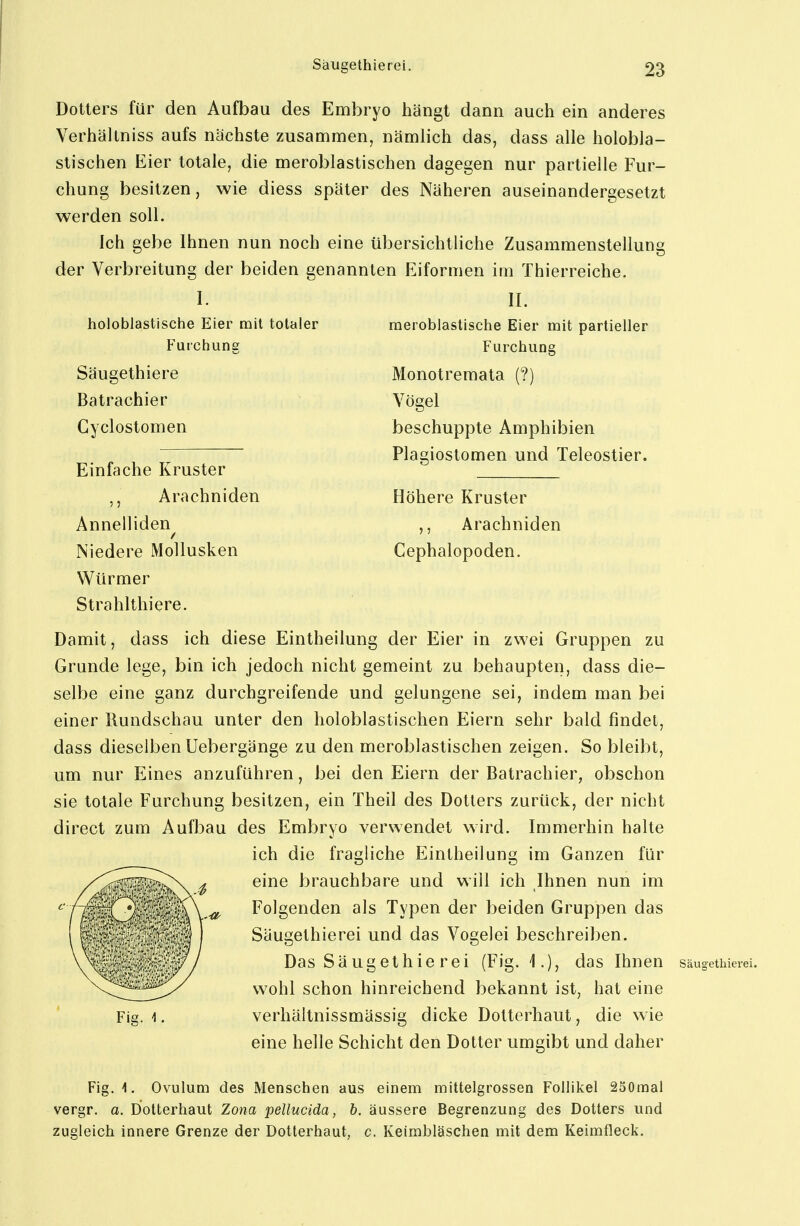 Dotters für den Aufbau des Embryo hängt dann auch ein anderes Verhältniss aufs nächste zusammen, nämlich das, dass alle holobla- stischen Eier totale, die meroblastischen dagegen nur partielle Fur- chung besitzen, wie diess später des Näheren auseinandergesetzt werden soll. Ich gebe Ihnen nun noch eine übersichtliche Zusammenstellung der Verbreitung der beiden genannten Eiformen im Thierreiche. I. holoblastische Eier mit totaler Furchung Säugethiere Batrachier Cyclostomen Einfache Kruster Arachniden Annelliden Niedere Mollusken Würmer Strahlthiere. II. meroblastische Eier mit partieller Furchung Monotremata (?) Vögel beschuppte Amphibien Plagiostomen und Teleostier. Höhere Kruster ,, Arachniden Cephalopoden. Damit, dass ich diese Eintheilung der Eier in zwei Gruppen zu Grunde lege, bin ich jedoch nicht gemeint zu behaupten, dass die- selbe eine ganz durchgreifende und gelungene sei, indem man bei einer Rundschau unter den holoblastischen Eiern sehr bald findet, dass dieselben Uebergänge zu den meroblastischen zeigen. So bleibt, um nur Eines anzuführen, bei den Eiern der Batrachier, obschon sie totale Furchung besitzen, ein Theil des Dotters zurück, der nicht direct zum Aufbau des Embryo verwendet wird. Immerhin halte ich die fragliche Eintheilung im Ganzen für eine brauchbare und will ich Ihnen nun im Folgenden als Typen der beiden Gruppen das Säugethierei und das Vogelei beschreiben. Das Säugeth er ei (Fig. 1.), das Ihnen säu-ethierei. wohl schon hinreichend bekannt ist, hat eine verhältnissmässig dicke Dotterhaut, die wie eine helle Schicht den Dotter umgibt und daher Fig. i. Ovulum des Menschen aus einem mittelgrossen Follikel 250mal vergr. a. Dotterhaut Zona pellucida, h. äussere Begrenzung des Dotters und zugleich innere Grenze der Dotterhaut, c. Keimbläschen mit dem Keimfleck.