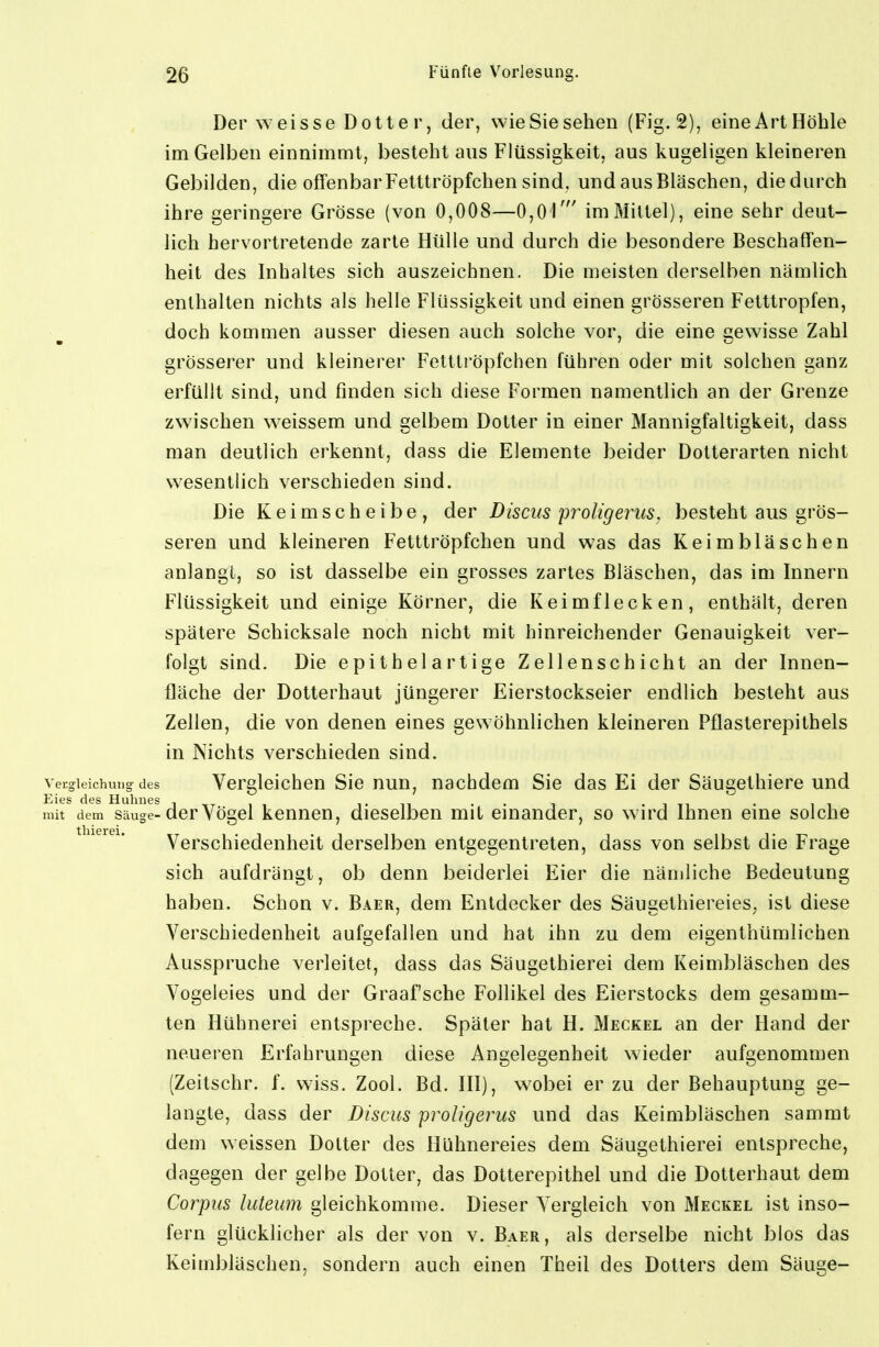 Der weisse Dotter, der, wie Sie sehen (Fig. 2), eine Art Höhle im Gelben einnimmt, besteht aus Flüssigkeit, aus kugeligen kleineren Gebilden, die offenbar Fetttröpfchen sind, und aus Bläschen, diedurch ihre geringere Grösse (von 0,008—0,01' im Mittel), eine sehr deut- lich hervortretende zarte Hülle und durch die besondere Beschaffen- heit des Inhaltes sich auszeichnen. Die meisten derselben nämlich enthalten nichts als helle Flüssigkeit und einen grösseren Fetttropfen, doch kommen ausser diesen auch solche vor, die eine gewisse Zahl grösserer und kleinerer Fettti'öpfchen führen oder mit solchen ganz erfüllt sind, und finden sich diese Formen namentlich an der Grenze zwischen weissem und gelbem Dotter in einer Mannigfaltigkeit, dass man deutlich erkennt, dass die Elemente beider Dotterarten nicht wesentlich verschieden sind. Die K e i m s c h e i b e , der Discus proligerus, besteht aus grös- seren und kleineren Fetttröpfchen und was das Keimbläschen anlangt, so ist dasselbe ein grosses zartes Bläschen, das im Innern Flüssigkeit und einige Körner, die Keimflecken, enthält, deren spätere Schicksale noch nicht mit hinreichender Genauigkeit ver- folgt sind. Die epithelartige Zellenschicht an der Innen- fläche der Dotterhaut jüngerer Eierstockseier endlich besteht aus Zellen, die von denen eines gewöhnlichen kleineren Pflasterepithels in Nichts verschieden sind, vergieichmig des Vergleichen Sie nun, nachdem Sie das Ei der Säugethiere und mit dem Säuge- der Vögel kennen, dieselben mit einander, so wird Ihnen eine solche Verschiedenheit derselben entgegentreten, dass von selbst die Frage sich aufdrängt, ob denn beiderlei Eier die nämliche Bedeutung haben. Schon v. Baer, dem Entdecker des Säugethiereies, ist diese Verschiedenheit aufgefallen und hat ihn zu dem eigenthümlichen Ausspruche verleitet, dass das Säugethierei dem Keimbläschen des Vogeleies und der Graafsche Follikel des Eierstocks dem gesamm- ten Hühnerei entspreche. Später hat H. Meckel an der Hand der neueren Erfahrungen diese Angelegenheit wieder aufgenommen (Zeitschr. f. wiss. Zool. Bd. III), w^obei er zu der Behauptung ge- langte, dass der Discus proligerus und das Keimbläschen sammt dem weissen Holter des Hühnereies dem Säugethierei entspreche, dagegen der gelbe Dotter, das Dotterepithel und die Dotterhaut dem Corpus luteum gleichkomme. Dieser Vergleich von Meckel ist inso- fern glücklicher als der von v. Baer, als derselbe nicht blos das Keimbläschen, sondern auch einen Theil des Dotters dem Säuge-