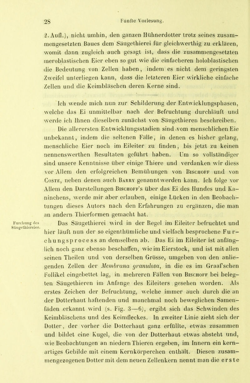 2. Aufl.), nicht umhin, den ganzen Hühnerdotter trotz seines zusam- mengesetzten Baues dem Säugethierei für gleichwerthig zu erklären, womit dann zugleich auch gesagt ist, dass die zusammengesetzten meroblastischen Eier eben so gut wie die einfacheren hoioblastischen die Bedeutung von Zellen haben , indem es nicht dem geringsten Zweifel unterliegen kann, dass die letzteren Eier wirkliche einfache Zellen und die Keimbläschen deren Kerne sind. Ich wende mich nun zur Schilderung der Entwicklungsphasen, welche das Ei unmittelbar nach der Befruchtung durchläuft und werde ich Ihnen dieselben zunächst von Säugelhieren beschreiben. Die allerersten Entwicklungsstadien sind-vom menschlichen Eie unbekannt, indem die seltenen Fälle, in denen es bisher gelang, menschliche Eier noch im Eileiter zu finden, bis jetzt zu keinen nennenswerthen Resultaten geführt haben. Um so vollständiger sind unsere Kenntnisse über einige Thiere und verdanken w ir diess vor Allem den erfolgreichen Bemühungen von Bischoff und von CosTE, neben denen auch Barry genannt werden kann. Ich folge vor Allem den Darstellungen Bischoff's über das Ei des Hundes und Ka- ninchens, werde mir aber erlauben, einige Lücken in den Beobach- tungen dieses Autors nach den Erfahrungen zu ergänzen, die man an andern Thierformen gemacht hat. Furchungdes Das Säugethicrci wird in der Regel im Eileiter befruchtet und Säugethiereies. hier läuft nun der so eigenthümliche und vielfach besprochene Fu r- chungsprocess an demselben ab. Das Ei im Eileiter ist anfäng- lich noch ganz ebenso beschaffen, wie im Eierstock, und ist mit allen seinen Theilen und von derselben Grösse, umgel^en von den anlie- genden Zellen der Membrana granulosa, in die es im Graafschen Follikel eingebettet lag, in mehreren Fällen von Bischoff bei beleg- ten Säugethieren im Anfange des Eileiters gesehen worden. Als erstes Zeichen der Befruchtung, welche immer auch durch die an der Dotterhaut haftenden und manchmal noch beweglichen Samen- fäden erkannt wird (s. Fig. 3—6J, ergi])t sich das Schwinden des Keimbläschens und des Keimfleckes. In zweiter Linie zieht sich der Dotter, der vorher die Dotterhaut ganz erfüllte, etwas zusammen und bildet eine Kugel, die von der Dotterhaut etwas absteht und, wie Beobachtungen an niedern Thieren ergeben, im Innern ein kern- artiges Gebilde mit einem Kernkörperchen enthält. Diesen zusam- mengezogenen Dotter mit dem neuen Zellenkern nennt man die erste