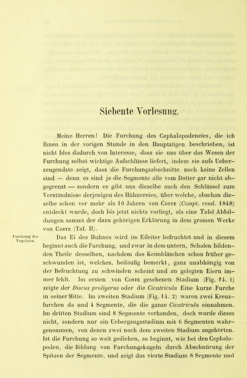 Meine Herren! Die Furchung des Cephalopodeneies, die ich Ihnen in der vorigen Stunde in den Hauptzügen beschrieben, ist nicht blos dadurch von Interesse, dass sie uns über das Wesen der Furchung selbst wichtige Aufschlüsse liefert, indem sie aufs Ueber- zeugendste zeigt, dass die Furchungsabschnitte noch keine Zellen sind — denn es sind ja die Segmente alle vom Dotter gar nicht ab- gegrenzt — sondern es gibt uns dieselbe auch den Schlüssel zum Verständnisse derjenigen des Hühnereies, über welche, obschon die- selbe schon vor mehr als 10 Jahren von Coste [Compi. rend. 1848) entdeckt wurde, doch bis jetzt nichts vorliegt, als eine Tafel Abbil- dungen sammt der dazu gehörigen Erklärung in dem grossen Werke von CosTE (Taf. II). Furchung des Ei dcs Huhucs wird im Eileiter befruchtet und in diesem Vogeleies. beginntauch die Furchung, und zwar in dem untern, Schalen bilden- den Theile desselben, nachdem das Keimbläschen schon früher ge- schwunden ist, welches, beiläufig bemerkt, ganz unabhängig von der Befruchtung zu schwinden scheint und an gelegten Eiern im- mer fehlt. Im ersten von Coste gesehenen Stadium (Fig. t4. 1) zeigte der Discus proligerus oder die Cicatricula Eine kurze Furche in seiner Mitte. Im zweiten Stadium (Fig. 14. 2) waren zwei Kreuz- furchen da und 4 Segmente, die die ganze Cicatricula einnahmen. Im dritten Stadium sind 8 Segmente vorhanden, doch wurde dieses nicht, sondern nur ein Uebergangsstadium mit 6 Segmenten wahr- genommen, von denen zwei noch dem zweiten Stadium angehörten. Ist die Furchung so weit gediehen, so beginnt, wie bei den Cephalo- poden, die Bildung von Furchungskugeln durch Abschnürung der