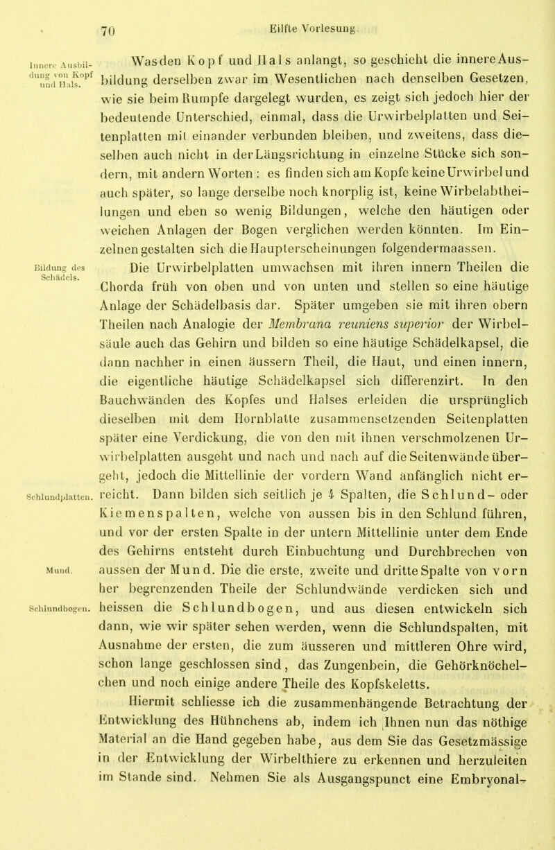 Innen Ausbil- Wasden Kopf und Hals anlangt, so geschieht die innereAus- ''Tnui ihdJ.^^ bildung derselben zwar im Wesentlichen nach denselben Gesetzen, wie sie beim Rumpfe dargelegt wurden, es zeigt sich jedoch hier der bedeutende Unterschied, einmal, dass die Urwirbelplatten und Sei- tenplatten mit einander verbunden bleiben, und zweitens, dass die- selben auch nicht in der Längsrichtung in einzelne Stücke sich son- dern, mit andern Worten : es finden sich am Kopfe keineUrwirbel und auch später, so lange derselbe noch knorplig ist, keine Wirbelabthei- lungen und eben so wenig Bildungen, welche den häutigen oder weichen Anlagen der Bogen verglichen werden könnten. Im Ein- zelnengestalten sich die Haupterscheinungen folgendermaassen. Bildung des Die Urwirbclplatteu umwachsen mit ihren Innern Theilen die Schädels. in • i Chorda früh von oben und von unten und stellen so eine häutige Anlage der Schädelbasis dar. Später umgeben sie mit ihren obern Theilen nach Analogie der Membrana reuniens superior der Wirbel- säule auch das Gehirn und bilden so eine häutige Schädelkapsel, die dann nachher in einen äussern Theil, die Haut, und einen innern, die eigentliche häutige Schädelkapsel sich differenzirt. In den Bauchwänden des Kopfes und Halses erleiden die ursprünglich dieselben mit dem Hornblatte zusammensetzenden Seitenplatten später eine Verdickung, die von den mit ihnen verschmolzenen Ur- wirbelplatten ausgeht und nach und nach auf die Seitenwände über- geht, jedoch die Mittellinie der vordem Wand anfänglich nicht er- schiund],iatten. rcicht. Dauu bilden sich seitlich je 4 Spalten, die Schlund- oder Kiemenspalten, welche von aussen bis in den Schlund führen, und vor der ersten Spalte in der untern Mittellinie unter dem Ende des Gehirns entsteht durch Einbuchtung und Durchbrechen von Mund. aussen der Mund. Die die erste, zweite und dritte Spalte von vorn her begrenzenden Theile der Schlundwände verdicken sich und Schlundbo^en. heissen die Schlundbogen, und aus diesen entwickeln sich dann, wie wir später sehen werden, wenn die Schlundspalten, mit Ausnahme der ersten, die zum äusseren und mittleren Ohre wird, schon lange geschlossen sind, das Zungenbein, die Gehörknöchel- chen und noch einige andere Theile des Kopfskeletts. Hiermit schliesse ich die zusammenhängende Betrachtung der Entwicklung des Hühnchens ab, indem ich Ihnen nun das nöthige Material an die Hand gegeben habe, aus dem Sie das Gesetzmässige in der Entwicklung der Wirbelthiere zu erkennen und herzuleiten im Stande sind. Nehmen Sie als Ausgangspunct eine Embryonal-