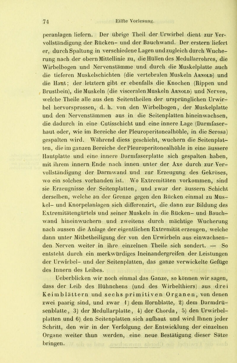 peranlagen liefern. Der übrige Theil der Urwirbel dient zur Ver- vollständigung der Rücken- und der Bauchwand. Der erstem liefert er, durch Spaltung in verschiedene Lagen und zugleich durch Wuche- rung nach der obern Mittellinie zu, die Hüllen des Medullarrohres, die Wirbelbogen und Nervenstämme und durch die Muskelplatte auch die tieferen Muskelschichten (die vertebralen Muskeln Arnold) und die Hant; der letztern gibt er ebenfalls die Knochen (Rippen und Brustbein), die Muskeln (die visceralen Muskeln Arnold) und Nerven, welche Theile alle aus den Seitentheilen der ursprünglichen Urwir- bel hervorsprossen, d. h. von den Wirbelbogen, der Muskelplatte und den Nervenslämmen aus in die Seitenplatten hineinwachsen, die dadurch in eine Gutisschicht und eine innere Lage (Darmfaser- haut oder, wie im Bereiche der Pleuroperitonealhöhle, in die Serosa) gespalten wird. Während diess geschieht, wuchern die Seitenplat- ten, die im ganzen Bereiche der Pleuroperitonealhöhle in eine äussere Hautplatte und eine innere Darmfaserplatte sich gespalten haben, mit ihrem Innern Ende nach innen unter der Axe durch zur Ver- vollständigung der Darmwand und zur Erzeugung des Gekröses, w^o ein solches vorhanden ist. Wo Extremitäten vorkommen, sind sie Erzeugnisse der Seitenplalten, und zwar der äussern Schicht derselben, welche an der Grenze gegen den Rücken einmal zu Mus- kel- und Knorpelanlagen sich differenzirt, die dann zur Bildung des Extremitätengürtels und seiner Muskeln in die Rücken- und Bauch- wand hineinwuchern und zweitens durch mächtige Wucherung nach aussen die Anlage der eigentlichen Extremität erzeugen, welche dann unter Mitbetheiligung der von den Urwirbeln aus einwachsen- den Nerven weiter in ihre einzelnen Theile sich sondert. — So entsteht durch ein merkwürdiges Ineinandergreifen der Leistungen der Urwirbel- und der Seitenplatten, das ganze verwickelte Gefüge des Innern des Leibes. Ueberblicken wir noch einmal das Ganze, so können wir sagen, dass der Leib des Hühnchens (und des Wirbelthiers) aus drei Keimblättern und sechs primitiven Organen, von denen zwei paarig sind, und zwar 1) dem Hornblalte, 2) dem Darmdrü- senblatte, 3) der Medullarplatte, 4) der Chorda, 5) den Urwirbel- platten und 6) den Seitenplatten sich aufbaut und wird Ihnen jeder Schritt, den wir in der Verfolgung der Entwicklung der einzelnen Organe weiter thun werden, eine neue Bestätigung dieser Sätze bringen.