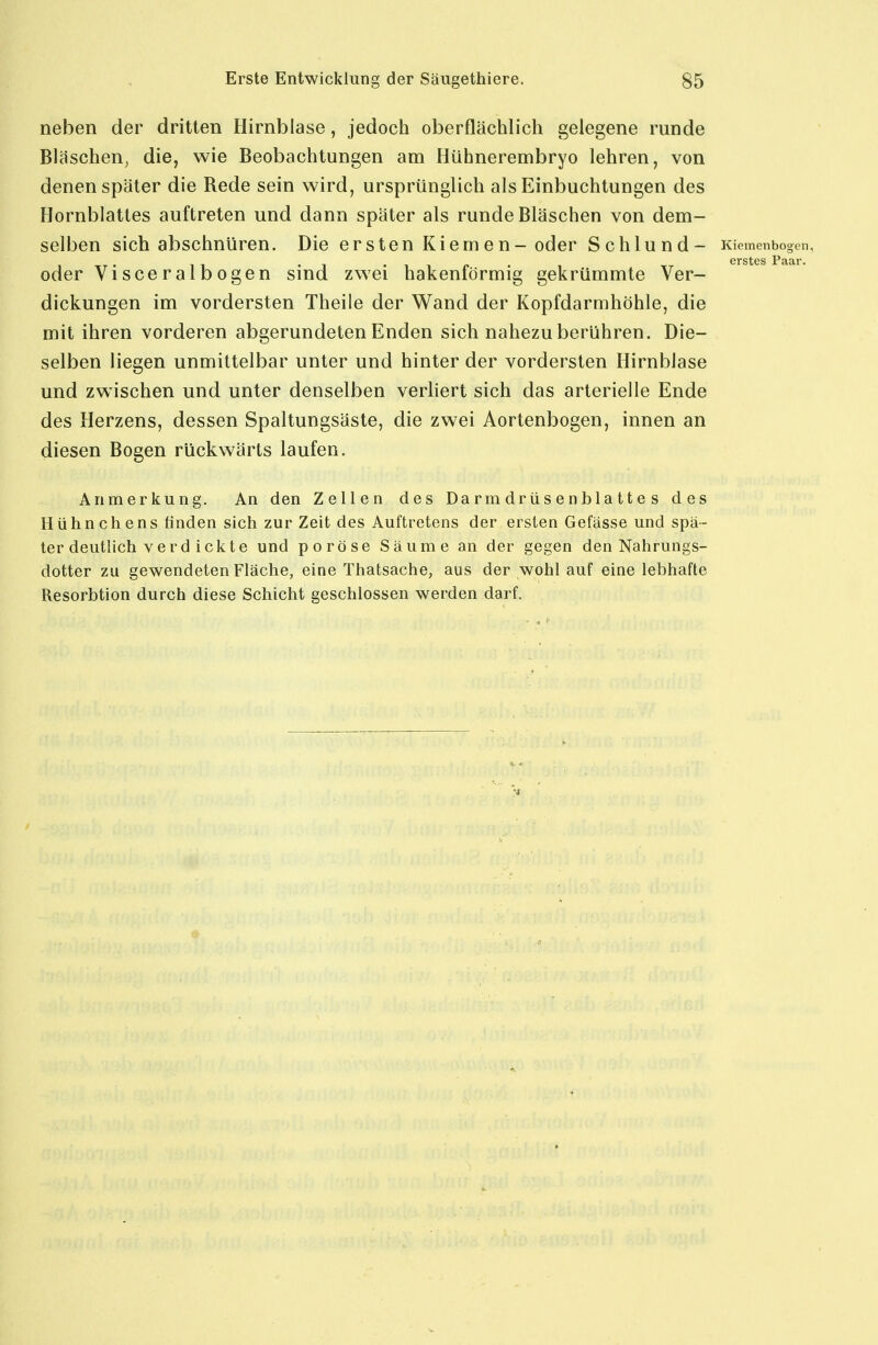 neben der dritten Hirnblase, jedoch oberflächlich gelegene runde Bläschen, die, wie Beobachtungen am Hühnerembryo lehren, von denen später die Rede sein wird, ursprünglich als Einbuchtungen des Hornblattes auftreten und dann später als runde Bläschen von dem- selben sich abschnüren. Die ersten Kiemen-oder Schlund- Kiemenbogen, oder Visceralbogen sind zwei hakenförmig gekrümmte Ver- dickungen im vordersten Theile der Wand der Kopfdarmhöhle, die mit ihren vorderen abgerundeten Enden sich nahezu berühren. Die- selben liegen unmittelbar unter und hinter der vordersten Hirnblase und zwischen und unter denselben verliert sich das arterielle Ende des Herzens, dessen Spaltungsäste, die zwei Aortenbogen, innen an diesen Bogen rückwärts laufen. Anmerkung. An den Zellen des Darmdrüsenblattes des Hühnchens finden sich zur Zeit des Auftretens der ersten Gefässe und spä- ter deutlich v er d ick te und poröse Säume an der gegen den Nahrungs- dotter zu gewendeten Fläche, eine Thatsache, aus der wohl auf eine lebhafte Resorbtion durch diese Schicht geschlossen werden darf.