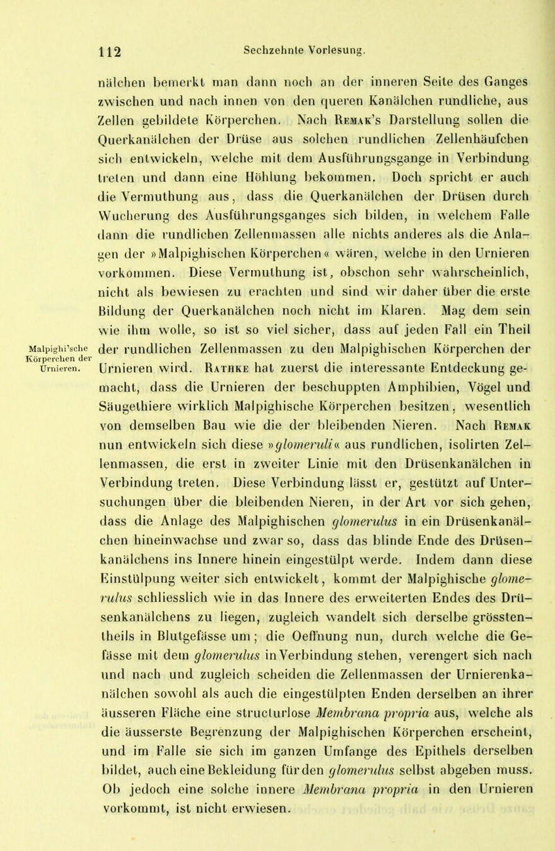 nälchen bemerkt man dann noch an der inneren Seite des Ganges zwischen und nach innen von den queren Kanälchen rundliche, aus Zellen gebildete Körperchen. Nach Remak's Darstellung sollen die Querkanälchen der Drüse aus solchen rundlichen Zellenliäufchen sich entwickeln, welche mit dem Ausführungsgange in Verbindung treten und dann eine Höhlung bekommen. Doch spricht er auch die Vermuthung aus, dass die Querkanälchen der Drüsen durch Wucherung des Ausführungsganges sich bilden, in welchem Falle dann die rundlichen Zellenmassen alle nichts anderes als die Anla- gen der »Malpighischen Körperchen« wären, welche in den Urnieren vorkommen. Diese Vermuthung ist, obschon sehr wahrscheinlich, nicht als bewiesen zu erachten und sind wir daher über die erste Bildung der Querkanälchen noch nicht im Klaren. Mag dem sein wie ihm wolle, so ist so viel sicher, dass auf jeden Fall ein Theil Maipighi'sche (^er rundUchcn Zellenmassen zu den Malpighischen Körperchen der Körperclien der Urnieren. Umieren wird. Rathke hat zuerst die interessante Entdeckung ge- macht, dass die Urnieren der beschuppten Amphibien, Vögel und Säugethiere wirklich Malpighische Körperchen besitzen, wesentlich von demselben Bau wie die der bleibenden Nieren. Nach Bemak nun entwickeln sich diese nglomeruli(.( aus rundlichen, isolirten Zel- lenmassen, die erst in zweiter Linie mit den Drüsenkanälchen in Verbindung treten. Diese Verbindung lässt er, gestützt auf Unter- suchungen Uber die bleibenden Nieren, in der Art vor sich gehen, dass die Anlage des Malpighischen glomerulus in ein Drüsenkanäl- chen hineinwachse und zwar so, dass das blinde Ende des DrUsen- kanälchens ins Innere hinein eingestülpt werde. Indem dann diese Einstülpung weiter sich entwickelt, kommt der Malpighische glome- rulus schliesslich wie in das Innere des erweiterten Endes des Drü- senkanälchens zu liegen, zugleich wandelt sich derselbe grössten- theils in Blutgefässe um; die Oeftnung nun, durch welche die Ge- fässe mit dem glomeimlus in Verbindung stehen, verengert sich nach und nach und zugleich scheiden die Zellenmassen der Urnierenka- nälchen sowohl als auch die eingestülpten Enden derselben an ihrer äusseren Fläche eine structurlose Membrana propria aus, welche als die äusserste Begrenzung der Malpighischen Körperchen erscheint, und im Falle sie sich im ganzen Umfange des Epithels derselben bildet, auch eine Bekleidung fürden glomerulus selbst abgeben muss. Ob jedoch eine solche innere Membrana propria in den Urnieren vorkommt, ist nicht erwiesen.