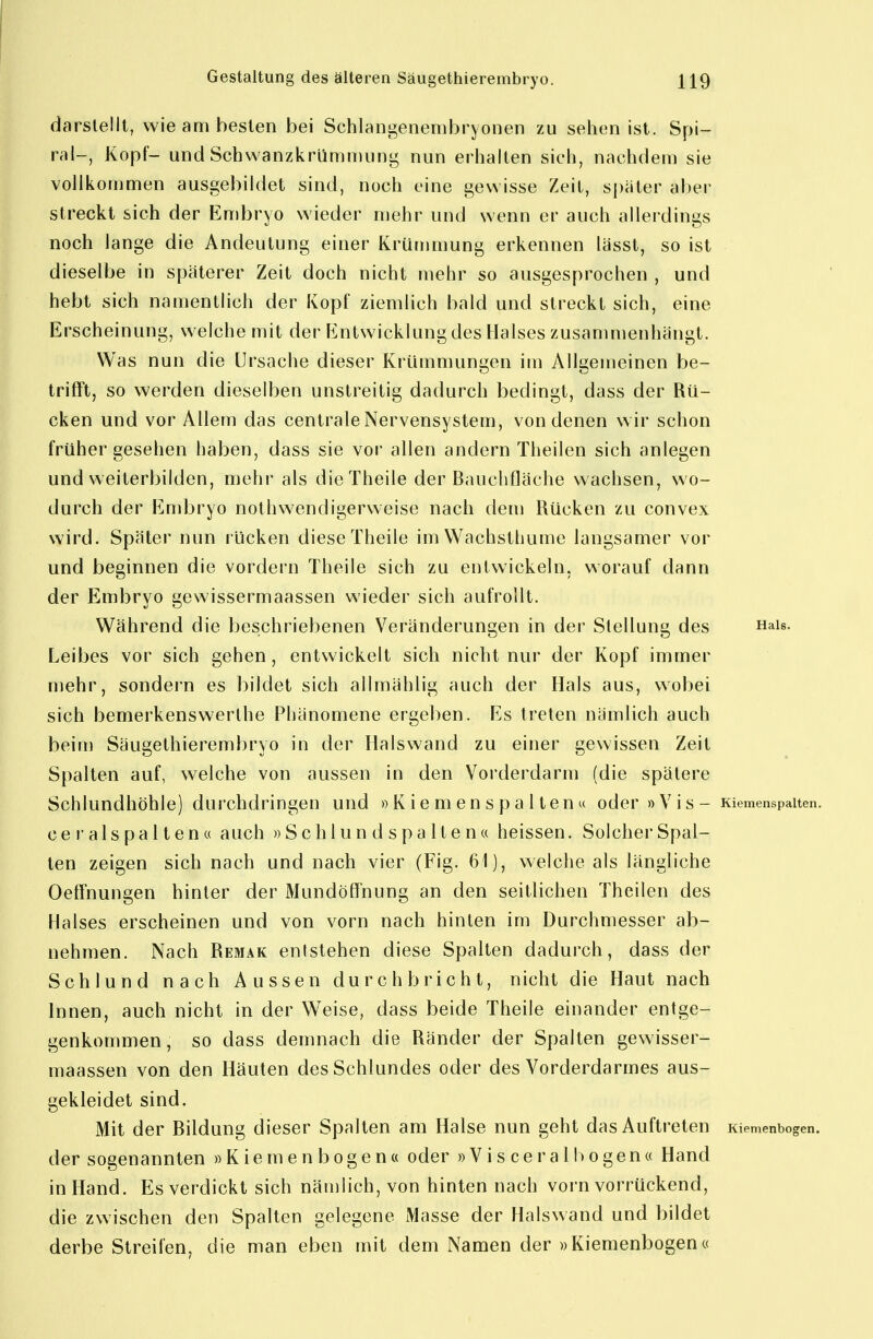 darstellt, wie am besten bei Schlangenembryonen zu sehen ist. Spi- ral-, Kopf- und Schvvanzkrümninng nun erhalten sich, nachdetn sie vollkommen ausgebildet sind, noch eine gewisse Zeit, später aber streckt sich der Embryo wieder mehr und wenn er auch allerdings noch lange die Andeutung einer Krunjmung erkennen lässt, so ist dieselbe in späterer Zeit doch nicht mehr so ausgesprochen , und hebt sich namentlich der Kopf ziemlich bald und streckt sich, eine Erscheinung, welche mit der Entwicklung des Halses zusanunenhängt. Was nun die Ursache dieser Krümmungen im Allgemeinen be- trifft, so werden dieselben unstreitig dadurch bedingt, dass der Rü- cken und vor Allem das centrale Nervensystem, von denen wir schon früher gesehen haben, dass sie vor allen andern Theilen sich anlegen und weiterbilden, mehr als dieTheile der Bauchfläche wachsen, wo- durch der Embryo nothwendigerweise nach dem Rücken zu convex wird. Später nun rücken dieseTheile imWachsthume langsamer vor und beginnen die vordem Theile sich zu entwickeln, worauf dann der Embryo gewissermaassen wieder sich aufrollt. Während die beschriebenen Veränderungen in der Stellung des Hais. Leibes vor sich gehen, entwickelt sich nicht nur der Kopf immer mehr, sondern es bildet sich allmählig auch der Hals aus, wobei sich bemerkenswerthe Phänomene ergeben. Es treten nämlich auch beim Säugethierembryo in der Halswand zu einer gewissen Zeit Spalten auf, welche von aussen in den Voi'derdarm (die spätere Schlundhöhle) durchdringen und » K i e m e n s p a 11 en « oder »Vis- Kiemenspalten, ceralspalten« auch »Schlun d spalten« heissen. Solcher Spal- ten zeigen sich nach und nach vier (Fig. 61), welche als längliche Oeffnungen hinter der Mundöffnung an den seitlichen Theilen des Halses erscheinen und von vorn nach hinten im Durchmesser ab- nehmen. Nach Remäk entstehen diese Spalten dadurch, dass der Schlund nach Aussen durchbricht, nicht die Haut nach Innen, auch nicht in der Weise, dass beide Theile einander entge- genkommen, so dass demnach die Ränder der Spalten gewisser- maassen von den Häuten des Schlundes oder des Vorderdarmes aus- gekleidet sind. Mit der Bildung dieser Spalten am Halse nun geht das Auftreten Kiemenbogen. der sogenannten «Kiemenbogen« oder »Vis ceraibogen« Hand in Hand. Es verdickt sich nämlich, von hinten nach vorn vorrückend, die zwischen den Spalten gelegene Masse der Halswand und bildet derbe Streifen, die man eben mit dem Namen der »Kiemenbogen«