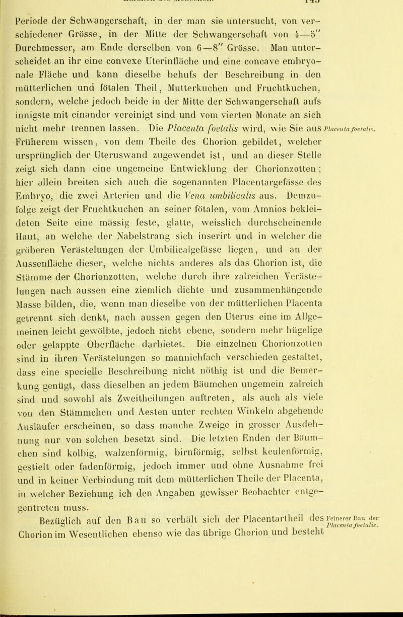 Periode der Schwangerschaft, in der man sie untersucht, von ver- schiedener Grösse, in der Mitte der Schwangerschaft von 4—5 Durchmesser, am Ende derselben von 6—8 Grösse. Man unter- scheidet an ihr eine convexe Uterinfläche und eine concave embryo- nale Fläche und kann dieselbe behufs der Beschreibung in den mütterlichen und fötalen Theil, Mutterkuchen und Fruchtkuchen, sondern, welche jedoch beide in der Mitte der Schwangerschaft aufs innigste mit einander vereinigt sind und vom vierten Monate an sich nicht mehr trennen lassen. Die Placenta foetalis wird, wie Sie i\usFiaccntafoetaUs, Früherem wissen, von dem Theile des Chorion gebildet, welcher ursprünglich der üteruswand zugewendet ist, und an dieser Stelle zeigt sich dann eine ungemeine Entwicklung der Ghorionzotten ; hier allein breiten sich auch die sogenannten Placentargefässe des Embryo, die zwei Arterien und die Vena umbilicalis aus. Demzu- folge zeigt der Fruchtkuchen an seiner fötalen, vom Amnios beklei- deten Seite eine massig feste, glatte, weisslich durchscheinende Maut, an w^elche der Nabelstrang sich inserirt und in welcher die gröberen Verästelungen der Umbilicalgefässe liegen, und an der Aussenfläche dieser, welche nichts anderes als das Chorion ist, die Stämme der Chorionzotten, welche durch ihre zalreichen Veräste- lungen nach aussen eine ziemlich dichte und zusammenhängende Masse bilden, die, wenn man dieselbe von der mütterlichen Placenta getrennt sich denkt, nach aussen gegen den Uterus eine im Allge- meinen leicht gewölbte, jedoch nicht ebene, sondern mehr hügelige oder gelappte Oberfläche darbietet. Die einzelnen Ghorionzotten sind in ihren Verästelungen so mannichfach verschieden gestaltet, dass eine specielle Beschreibung nicht nöthig ist und die Bemer- kung genügt, dass dieselben an jedem Bäumchen ungemein zalreich sind und sowohl als Zweitheilungen auftreten, als auch als viele von den Stämmchen und Aesten unter rechten Winkeln abgehende Ausläufer erscheinen, so dass manche Zweige in grosser Ausdeh- nung nur von solchen besetzt sind. Die letzleu Enden der Bäum- chen sind kolbig, walzenförmig, birnförmig, selbst keulenförmig, gestielt oder fadenförmig, jedoch immer und ohne Ausnahme frei und in keiner Verbindung mit dem mütterlichen Theile der Placenta, in welcher Beziehung ich den Angaben gewisser Beobachter entge- gentreten muss. Bezüglich auf den Bau so verhält sich der Piacentartheil des Feinerer Bau de, ö 1 t t JrldCOltCl J06t(lilS, Chorion im Wesentlichen ebenso wie das übrige Chorion und besteht