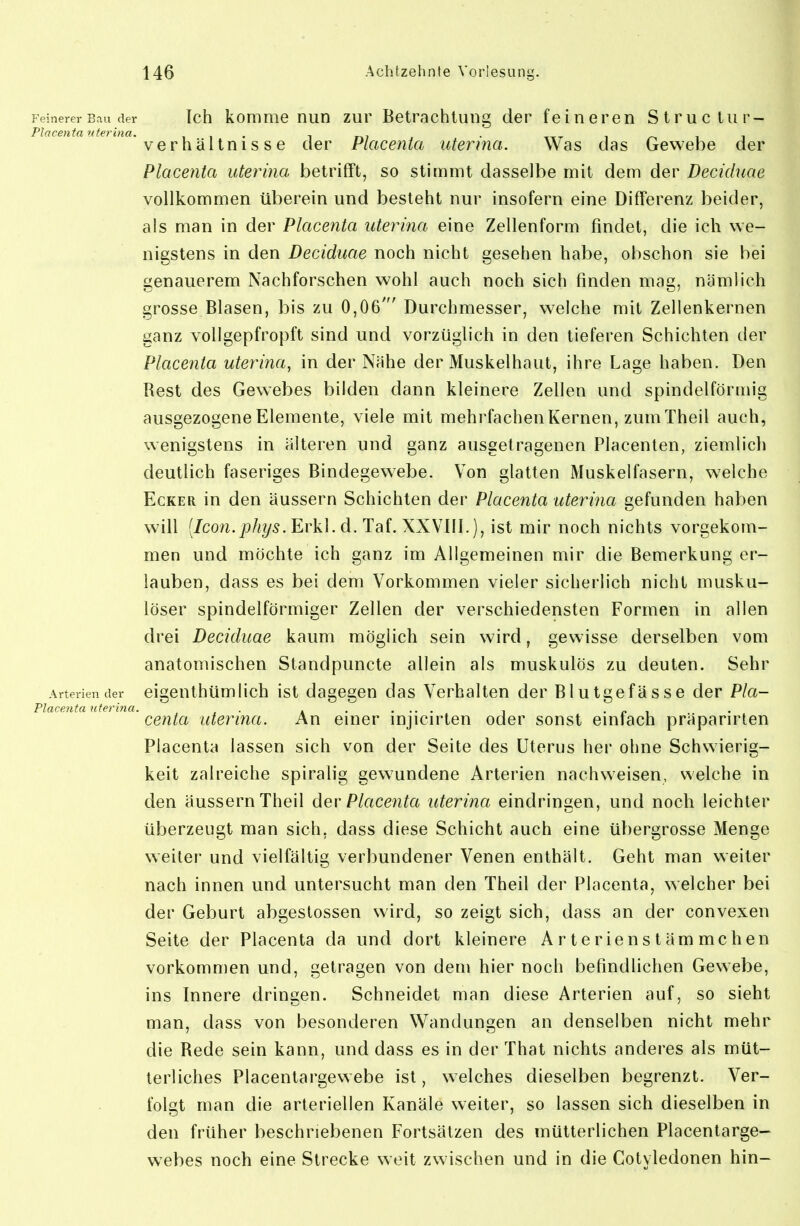 Feinerer Bau der Ich kommeiiun zui' Betrachtung der feineren Structur- Placenta uterina. . i • i r»? • txr i /-m i i Verhältnisse der Piacenta uterina. Was das Gewebe der Placenta uterina betrifft, so stimmt dasselbe mit dem der Deciduae vollkommen überein und besteht nur insofern eine Differenz beider, als man in der Placenta uterina eine Zellenform findet, die ich we- nigstens in den Deciduae noch nicht gesehen habe, obschon sie bei genauerem Nachforschen wohl auch noch sich finden mag, nämlich grosse Blasen, bis zu 0,06' Durchmesser, w^elche mit Zellenkernen ganz vollgepfropft sind und vorzüglich in den tieferen Schichten der Placenta uterina^ in der Nähe der Muskelhaut, ihre Lage haben. Den Rest des Gewebes bilden dann kleinere Zellen und spindelföruiig ausgezogene Elemente, viele mit mehrfachen Kernen, zum Theil auch, wenigstens in älteren und ganz ausgetragenen Placenten, ziemlich deutlich faseriges Bindegewebe. Von glatten Muskelfasern, welche Ecker in den äussern Schichten der Placenta uterina gefunden haben will (/con./)%5. Erkl. d. Taf. XXVIII.), ist mir noch nichts vorgekom- men und möchte ich ganz im Allgemeinen mir die Bemerkung er- lauben, dass es bei dem Vorkommen vieler sicherlich nicht musku- löser spindelförmiger Zellen der verschiedensten Formen in allen drei Deciduae kaum möglich sein wird, gewisse derselben vom anatomischen Standpuncte allein als muskulös zu deuten. Sehr Arterien der eigcuthüm Hch ist dagegen das Verhalten der Blutgefässe der Pia- ' centa uterina. An einer injicirten oder sonst einfach präparirten Piacenta lassen sich von der Seite des Uterus her ohne Schwierig- keit zalreiche spiralig gew^undene Arterien nachweisen, welche in den äussern Theil der Placenta uterina eindringen, und noch leichler überzeugt man sich, dass diese Schicht auch eine übergrosse Menge weiter und vielfältig verbundener Venen enthält. Geht man weiter nach innen und untersucht man den Theil der Placenta, welcher bei der Geburt abgeslossen wird, so zeigt sich, dass an der convexen Seite der Placenta da und dort kleinere Arterien stämmchen vorkommen und, getragen von dem hier noch befindlichen Gewebe, ins Innere dringen. Schneidet man diese Arterien auf, so sieht man, dass von besonderen Wandungen an denselben nicht mehr die Rede sein kann, und dass es in der That nichts anderes als müt- terliches Placentargewebe ist, welches dieselben begrenzt. Ver- folgt man die arteriellen Kanäle weiter, so lassen sich dieselben in den früher beschriebenen Fortsätzen des mütterlichen Placentarge- webes noch eine Strecke weit zwischen und in die Cotyledonen hin-