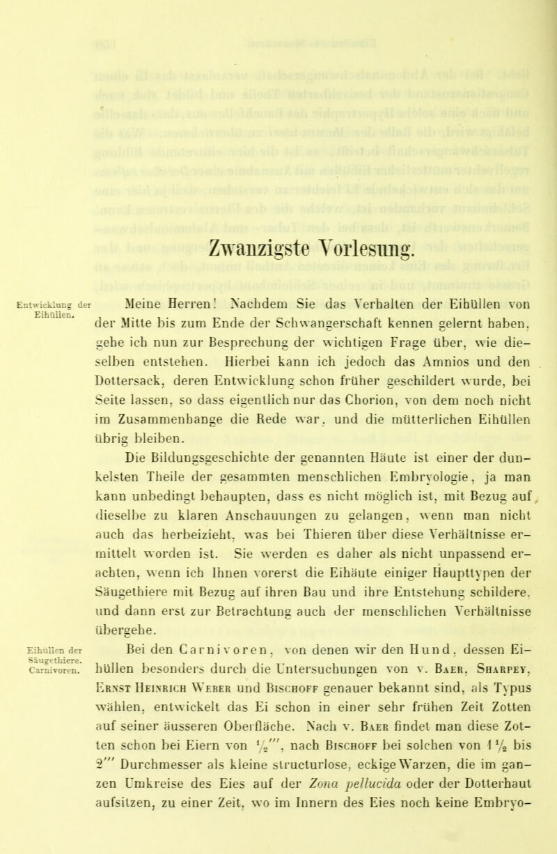 Zwanzigste Yoiiesimg. Entwicklung der Meine Herren! Nachdem Sie das Verhallen der Eihüllen von der Mitte bis zum Ende der Schwangerschaft kennen gelernt haben, sehe ich nun zur Besprechung der wichtigen Frage über, wie die- selben entstehen. Hierbei kann ich jedoch das Amnios und den Dottersack, deren Entwicklung schon früher geschildert wurde, bei Seite lassen, so dass eigentlich nur das Chorion, von dem noch nicht im Zusammenhange die Rede war . und die mütterlichen Eihüllen übrig Ijleiben. Die Bildungsgeschichte der genannten Häute ist einer der dun- kelsten Theile der gesammten menschlichen Embryologie, ja man kann unbedingt behaupten, dass es nicht möglich ist, mit Bezug auf dieselbe zu klaren Anschauungen zu gelangen, wenn man nicht auch das herbeizieht, was bei Thieren über diese Verhältnisse er- mittelt worden ist. Sie werden es daher als nicht unpassend er- achten, wenn ich Ihnen vorerst die Eihäute einiger Haupttypen der Säugethiere mit Bezug auf ihren Bau und ihre Entstehung schildere, und dann erst zur Betrachtung auch der menschlichen Verhältnisse übergehe. Eihüllen der Bei dcu Caruivoreu. von denen wir den Hund, dessen Ei- car^voren. hUllcn besouders durch die Untersuchungen von v. Baer. Sharpey. Erxst Heinrich Weber und Bischoff genauer bekannt sind, als Typus wählen, entwickelt das Ei schon in einer sehr frühen Zeit Zotten auf seiner äusseren Oberfläche. Nach v. Baer findet man diese Zot- ten schon bei Eiern von y«', nach Bischoff bei solchen von 1 bis 2' Durchmesser als kleine structurlose, eckige Warzen, die im gan- zen Umkreise des Eies auf der Zo?/ö peJlucida oder der Dotterhaut aufsitzen, zu einer Zeit, wo im Innern des Eies noch keine Embryo-