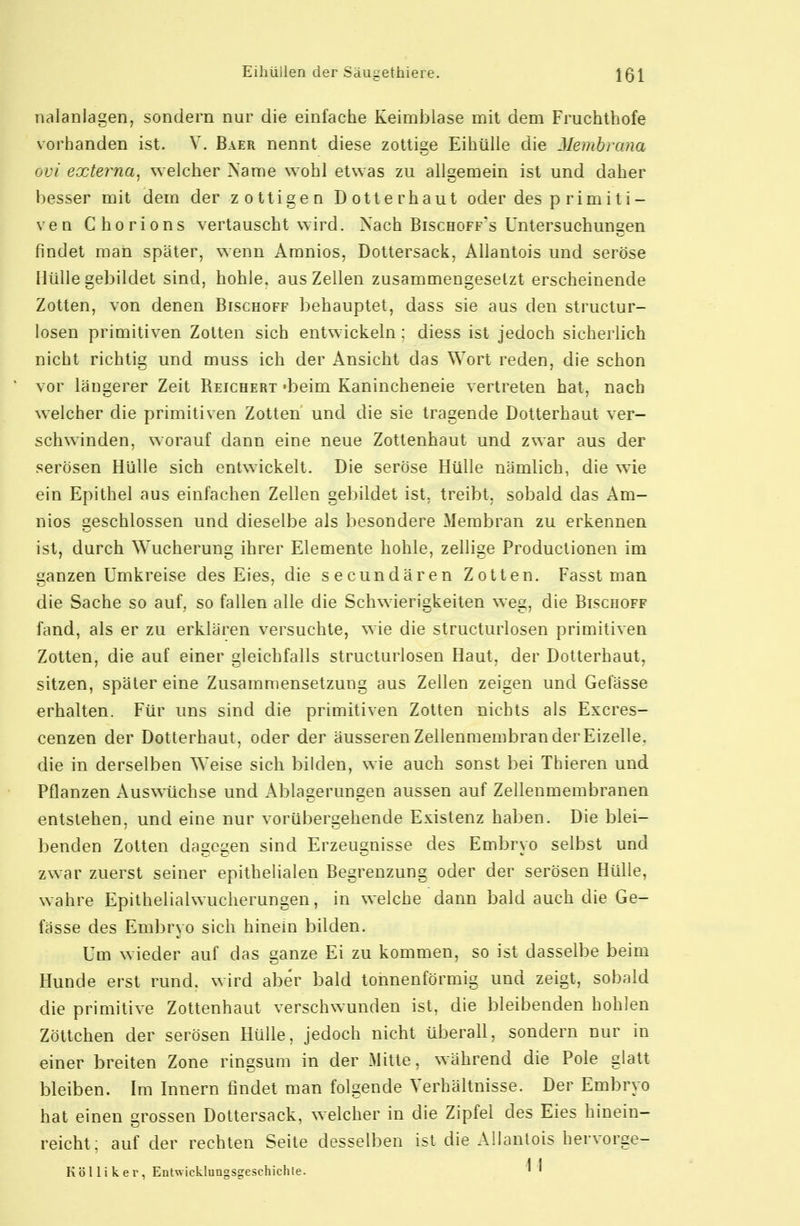 nalanlagen, sondern nur die einfache Keimblase mit dem Fruchthofe vorhanden ist. V. Baer nennt diese zottige EihüUe die Membrana ovi externa, welcher Name wohl etwas zu allgemein ist und daher besser mit dem der zottigen Dotter haut oder des p ri m i t i- ven Chorions vertauscht wird. Nach Bischoff's Untersuchungen findet man später, wenn Amnios, Dottersack, Allantois und seröse Mülle gebildet sind, hohle, aus Zellen zusammengesetzt erscheinende Zotten, von denen Bischoff behauptet, dass sie aus den structur- losen primitiven Zotten sich entwickeln ; diess ist jedoch sicherlich nicht richtig und muss ich der Ansicht das Wort reden, die schon vor längerer Zeit Beichert »beim Kanincheneie vertreten hat, nach welcher die primitiven Zotten und die sie tragende Dotterhaut ver- schwinden, worauf dann eine neue Zottenhaut und zwar aus der serösen Hülle sich entwickelt. Die seröse Hülle nämlich, die wie ein Epithel aus einfachen Zellen gebildet ist, treibt, sobald das Am- nios geschlossen und dieselbe als besondere Membran zu erkennen ist, durch Wucherung ihrer Elemente hohle, zellige Productionen im ganzen Umkreise des Eies, die secundären Zotten. Fasst man die Sache so auf, so fallen alle die Schwierigkeiten weg, die Bischoff fand, als er zu erklären versuchte, wie die structurlosen primitiven Zotten, die auf einer gleichfalls structurlosen Haut, der Dotterhaut, sitzen, später eine Zusammensetzung aus Zellen zeigen und Gefässe erhalten. Für uns sind die primitiven Zotten nichts als Excres- cenzen der Dotterhaut, oder der äusseren Zellenmembran der Eizelle, die in derselben Weise sich bilden, wie auch sonst bei Thieren und Pflanzen Auswüchse und Ablagerungen aussen auf Zellenmembranen entstehen, und eine nur vorübergehende Existenz haben. Die blei- benden Zotten dagegen sind Erzeugnisse des Embryo selbst und zwar zuerst seiner epithelialen Begrenzung oder der serösen Hülle, wahre Epithelialwucherungen, in welche dann bald auch die Ge- fässe des Embryo sich hinein bilden. Um wieder auf das ganze Ei zu kommen, so ist dasselbe beim Hunde erst rund, wird aber bald tonnenförmig und zeigt, sobald die primitive Zottenhaut verschwunden ist, die bleibenden hohlen Zöttchen der serösen Hülle, jedoch nicht überall, sondern nur in einer breiten Zone ringsum in der Mitte, während die Pole glatt bleiben. Im Innern findet man folgende Verhältnisse. Der Embryo hat einen grossen Dottersack, welcher in die Zipfel des Eies hinein- reicht; auf der rechten Seite desselben ist die Allantois hervorge- Kölliker, Entwicklungsgeschichte. '