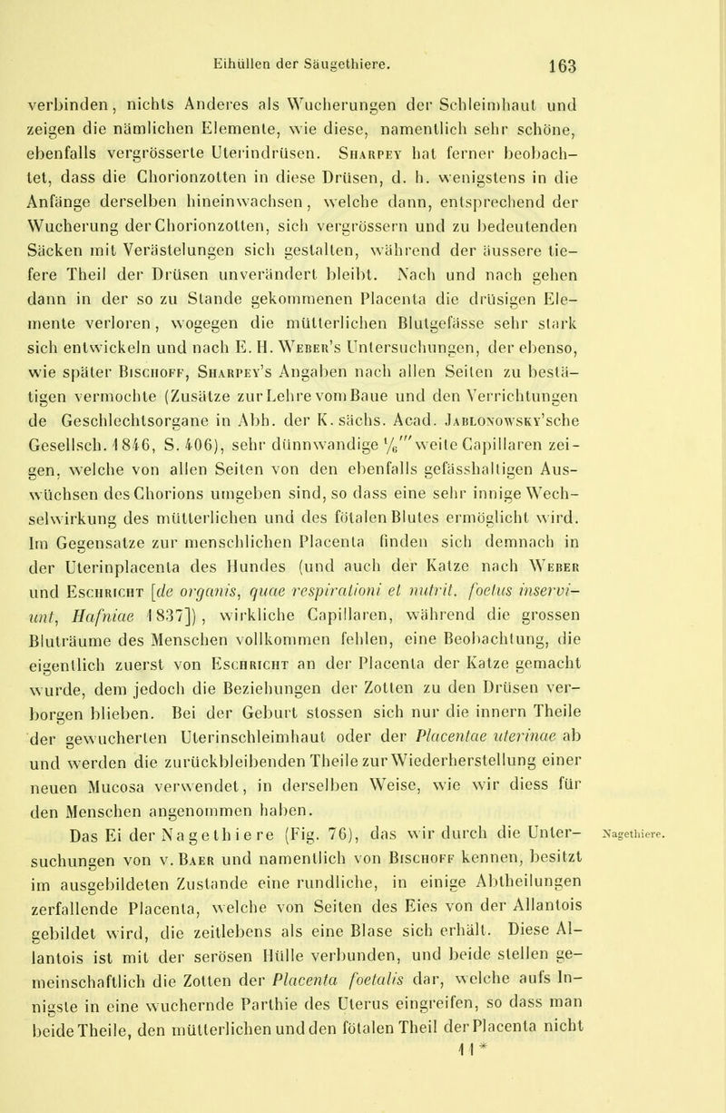 verbinden, nichts Anderes als Wucherungen der Schleimhaut und zeigen die nämlichen Elemente, wie diese, namentlich sehr schöne, ebenfalls vergrösserte Uterindrüsen. Sharpey hat ferner beobach- tet, dass die Ghorionzotten in diese Drüsen, d. h. wenigstens in die Anfänge derselben hineinwachsen, welche dann, entsprechend der Wucherung der Chorionzotten, sich vergrössern und zu ]3edeutenden Säcken mit Verästelungen sich gestalten, während der äussere tie- fere Theil der Drüsen unverändert bleibt. Nach und nach gehen dann in der so zu Stande gekommenen Placenta die drüsigen Ele- mente verloren, wogegen die mütterlichen Blutgefässe sehr stark sich entwickeln und nach E. H. Webeu's Untersuchungen, der ebenso, wie später Bischoff, Sharpey's Angaben nach allen Seiten zu bestä- tigen vermochte (Zusätze zur Lehre vom Baue und den Verrichtungen de Geschlechtsorgane in Abh. der K.sächs. Acad. JABLONowsKv'sche Gesellsch. 1846, S. 406), sehr dünnwandige Ye' weite Capiilaren zei- gen, welche von allen Seiten von den ebenfalls gefässhalligen Aus- wüchsen desChorions umgeben sind, so dass eine sehr innige Wech- selwirkung des mütterlichen und des fötalen Blutes ermöglicht wird. Im Gegensatze zur menschlichen Placenta finden sich demnach in der Uterinplacenta des Hundes (und auch der Katze nach Weber und EscHRFCHT [de organis^ quae respirat/oni et nutrit. foelus inservi- unt^ Hafniae 1837]), wirkliche Capülaren, während die grossen Bluträume des Menschen vollkommen fehlen, eine Beobachtung, die eigentlich zuerst von Eschricht an der Placenta der Katze gemacht wurde, dem jedoch die Beziehungen der Zotten zu den Drüsen ver- borgen blieben. Bei der Geburt Stessen sich nur die innern Theile der gewucherlen Uterinschleimhaut oder der Placentae uterinae ab und werden die zurückbleibenden Theile zur Wiederherstellung einer neuen Mucosa verwendet, in derselben Weise, wie wir diess für den Menschen angenommen haben. Das Ei der Nagethiere (Fig. 76), das wir durch die Unter- Nagethieie. suchungen von v.Baer und namentlich von Bischoff kennen, besitzt im ausgebildeten Zustande eine rundliche, in einige Abtheilungen zerfallende Placenta, welche von Seiten des Eies von der AUantois gebildet wird, die zeitlebens als eine Blase sich erhält. Diese Al- lantois ist mit der serösen Hülle verbunden, und beide steilen ge- meinschaftlich die Zotten der Placenta foetaUs dar, welche aufs In- nigste in eine wuchernde Parthie des Uterus eingreifen, so dass man beide Theile, den mütterlichen und den fötalen Theil der Placenta nicht 11*