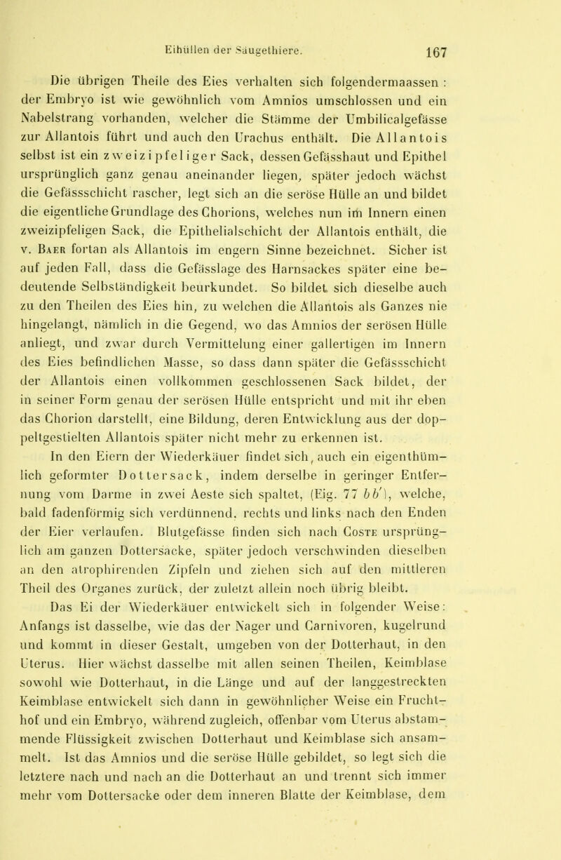 Die übrigen Theile des Eies verhalten sich folgendermaassen : der Embryo ist wie gewöhnlich vom Amnios umschlossen und ein Nabelstrang vorhanden, welcher die Stämme der Umbilicalgefässe zur Allantois führt und auch den Urachus enthält. Die Allantois selbst ist ein z w e iz i pfel i ge r Sack, dessen Gefässhaut und Epithel ursprünglich ganz genau aneinander liegen, später jedoch wächst die Gefässschicht rascher, legt sich an die seröse Hülle an und bildet die eigentliche Grundlage desChorions, welches nun im Innern einen zweizipfeligen Sack, die Epithelialschicht der Allantois enthält, die V. Bäer fortan als Allantois im engern Sinne bezeichnet. Sicher ist auf jeden Fall, dass die Gefässlage des Harnsackes später eine be- deutende Selbständigkeit beurkundet. So bildet sich dieselbe auch zu den Theilen des Eies hin, zu welchen die Allantois als Ganzes nie hingelangt, nämlich in die Gegend, wo das Amnios der serösen Hülle anliegt, und zwar durch Vermittelung einer gallertigen im Innern des Eies befindlichen Masse, so dass dann später die Gefässschicht der Allantois einen vollkommen geschlossenen Sack bildet, der in seiner Form genau der serösen Hülle entspricht und mit ihr eben das Chorion darstelll, eine Bildung, deren Entwicklung aus der dop- peltgestielten Allantois später nicht mehr zu erkennen ist. In den Eiern der Wiederkäuer findet sich, auch ein eigenthüm- lich geformter Dotter sack, indem derselbe in geringer Entfer- nung vom Darme in zwei Aeste sich spaltet, (Eig. 77 66'), welche, bald fadenförmig sich verdünnend, rechts und links nach den Enden der Eier verlaufen. Blutgefässe finden sich nach Goste ursprüng- lich am ganzen Dottersacke, später jedoch verschwinden dieselben an den atrophirenden Zipfeln und ziehen sich auf den mittleren Theil des Organes zurück, der zuletzt allein noch übrig bleibt. Das Ei der Wiederkäuer entwickelt sich in folgender Weise: Anfangs ist dasselbe, wie das der Nager und Garnivoren, kugelrund und kommt in dieser Gestalt, umgeben von der Dotterhaut, in den Uterus. Hier wächst dasselbe mit allen seinen Theilen, Keimblase sowohl wie Dotterhaut, in die Länge und auf der langgestreckten Keimblase entwickelt sich dann in gewöhnlicher Weise ein Frucht- hof und ein Embryo, während zugleich, offenbar vom Uterus abstam- mende Flüssigkeit zwischen Dotterhaut und Keimblase sich ansam- melt. Ist das Amnios und die seröse Hülle gebildet, so legt sich die letztere nach und nach an die Dotterhaut an und trennt sich immer mehr vom Dottersacke oder dem inneren Blatte der Keimblase, dem