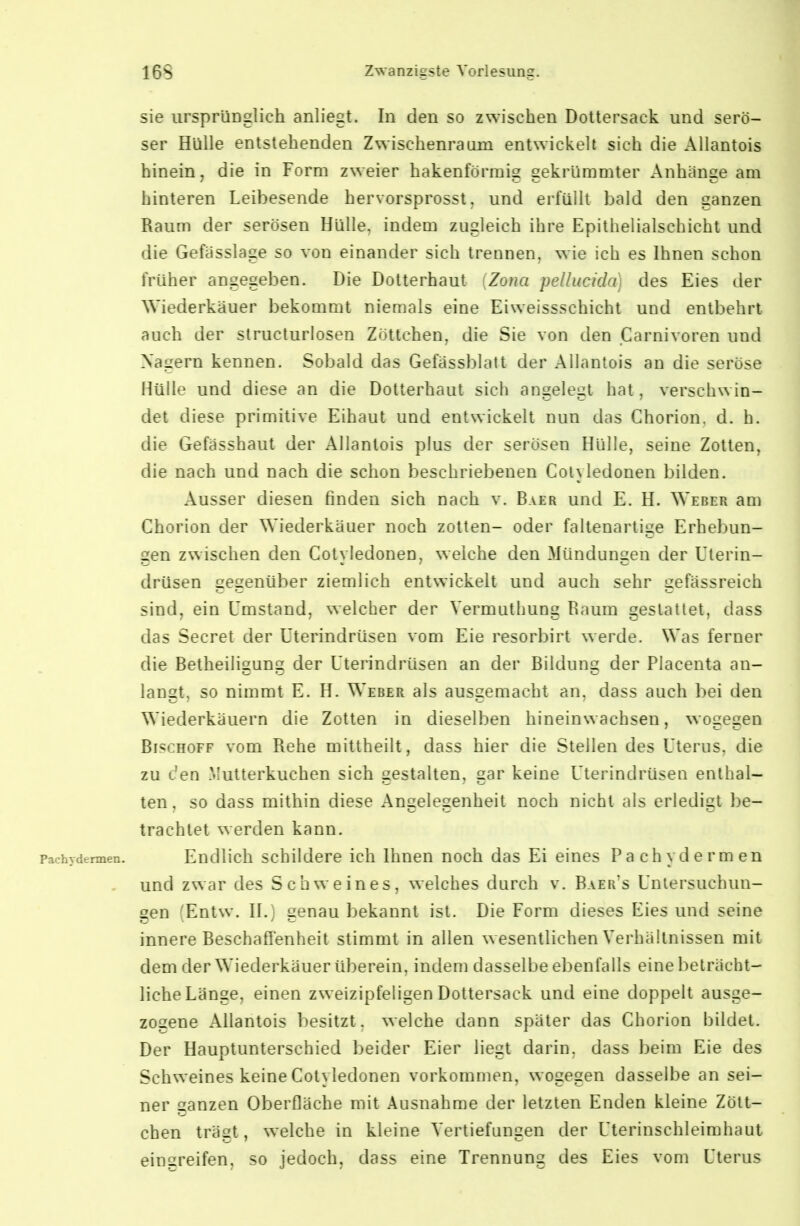 sie ursprünglich anliegt. In den so zwischen Dottersack, und serö- ser Hülle entstehenden Zwischenraum entwickelt sich die Allantois hinein, die in Form zweier hakenförmig gekrümmter Anhänge am hinteren Leibesende hervorsprosst, und erfüllt bald den ganzen Raum der serösen Hülle, indem zugleich ihre Epithelialschicht und die Gefässlage so von einander sich trennen, wie ich es Ihnen schon früher angegeben. Die Dotterhaut {Zona pelhicida) des Eies der Wiederkäuer bekommt niemals eine Eiweissschicht und entbehrt auch der slructurlosen Zöttchen, die Sie von den Carnivoren und Nagern kennen. Sobald das Gefässblatt der Allantois an die seröse Hülle und diese an die Dotterhaut sich angelegt hat, verschwin- det diese primitive Eihaut und entwickelt nun das Chorion, d. h. die Gefässhaut der Allantois plus der serösen Hülle, seine Zotten, die nach und nach die schon beschriebenen Colyledonen bilden. Ausser diesen finden sich nach v. Baer und E. H. Weber am Chorion der Wiederkäuer noch zotten- oder faltenartige Erhebun- gen zwischen den Cotyledonen, welche den Mündungen der Uterin- drüsen gegenüber ziemlich entwickelt und auch sehr gefässreich sind, ein Umstand, welcher der Vermuthung Raum gestattet, dass das Secret der Uterindrüsen vom Eie resorbirt werde. Was ferner die Betheiligung der Uterindrüsen an der Bildung der Placenta an- lanst, so nimmt E. H. Weber als ausgemacht an, dass auch bei den Wiederkäuern die Zotten in dieselben hineinwachsen, wogegen BiscHOFF vom Rehe mittheilt, dass hier die Stellen des Uterus, die zu c'en Mutterkuchen sich gestalten, gar keine Uterindrüsen enthal- ten , so dass mithin diese Angelegenheit noch nicht als erledigt be- trachtet werden kann. Pachydermen. Eudlich schildcrc ich Ihncu noch das Ei eines Pachydermen und zwar des Schweines, welches durch v. Baer's Untersuchun- gen (Entw. II.) genau bekannt ist. Die Form dieses Eies und seine innere Beschaffenheit stimmt in allen wesentlichen Verhältnissen mit dem der Wiederkäuer überein, indem dasselbe ebenfalls eine beträcht- liche Länge, einen zweizipfeligen Dottersack und eine doppelt ausge- zogene Allantois besitzt, welche dann später das Chorion bildet. Der Hauptunterschied beider Eier liegt darin, dass beim Eie des Schweines keine Cotyledonen vorkommen, wogegen dasselbe an sei- ner ganzen Oberfläche mit Ausnahme der letzten Enden kleine Zölt- chen trägt, welche in kleine Vertiefungen der Uterinschleimhaut eingreifen, so jedoch, dass eine Trennung des Eies vom Uterus