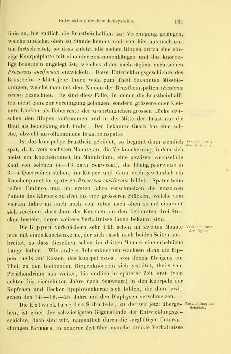 linie zu, bis endlich die Brustheinhälften zur Vereinigung gelangen, welche zunächst oben zu Stande kommt und von hier aus nach un- ten fortschreitet, so dass zuletzt alle sieben Rippen durch eine ein- zige Knorpelplatte mit einander zusammenhängen und das knorpe- lige Brustbein angelegt ist, welches dann nachträglich noch seinen Processus ensiformis entwickelt. Diese Entwicklungsgeschichte des Brustbeins erklärt jene Ihnen wohl zum Theil bekannten Missbil- dungen, welche man mit dem Namen der Brustbeinspalten [Fissurae slerni) bezeichnet. Es sind diess Fälle, in denen die Brustbeinhälf- ten nicht ganz zur Vereinigung gelangen, sondern grössere oder klei- nere Lücken als Ueberreste der ursprünglichen grossen Lücke zwi- schen den Rippen vorkommen und in der Mitte der Brust nur die Haut als Bedeckung sich findet. Der bekannte Groux hat eine sol- chC; obwohl unvollkommene Brustbeinspalte. Ist das knorpelige Brustbein gebildet, so besinnt dann ziemlich verknöcherung: ^ ^ o ' n (Igg Brustbeins. spät, d. h. vom sechsten Monate an, die Verknöcherung, indem sich meist ein Knochenpunct im Manubrium, eine gewisse wechselnde Zahl von solchen (4—13 nach Schwegel), die häufig paarweise in 3—4 Querreihen stehen, im Körper und dann noch gewöhnlich ein Knochenpunct im späteren Processiis ensiformis bildet. Später beim reifen Embryo und im ersten Jahre verschmelzen die einzelnen Puncte des Körpers zu drei bis vier grösseren Stücken, welche vom vierten Jahre an auch noch von unten nach oben so mit einander sich vereinen, dass dann der Knochen aus den bekannten drei Stü- cken besteht, deren weitere Verhältnisse Ihnen bekannt sind. Die Rippen verknöchern sehr früh schon im zweiten Monate verknöcherung der Rippen. jede mit einen Knochenkerne, der sich rasch nach beiden Seiten aus- breitet, so dass dieselben schon im dritten Monate eine erhebliche Länge haben. Wie andere Röhrenknochen wachsen dann die Rip- pen theils auf Kosten des Knorpelrestes, von denen übrigens ein Theil zu den bleibenden Rippenknorpeln sich gestaltet, theils vom Perichondrium aus weiter, bis endlich in späterer Zeit erst (vom achten bis vierzehnten Jahre nach Schwegel) in den Knorpeln der Köpfchen und Höcker Epiphysenkerne sich bilden, die dann zwi- schen den 14. —18.—25. Jahre mit den Diaphysen verschmelzen. Die Entwicklung des Schädels, zu der wir jetzt überge- Entwicklung des ^ 1 0 kj Schädels. hen, ist einer der schwierigsten Gegenstände der Entwicklungsge- schichte, doch sind wir, namentlich durch die sorgfältigen Untersu- chungen Rathke's, in neuerer Zeit über manche dunkle Verhältnisse