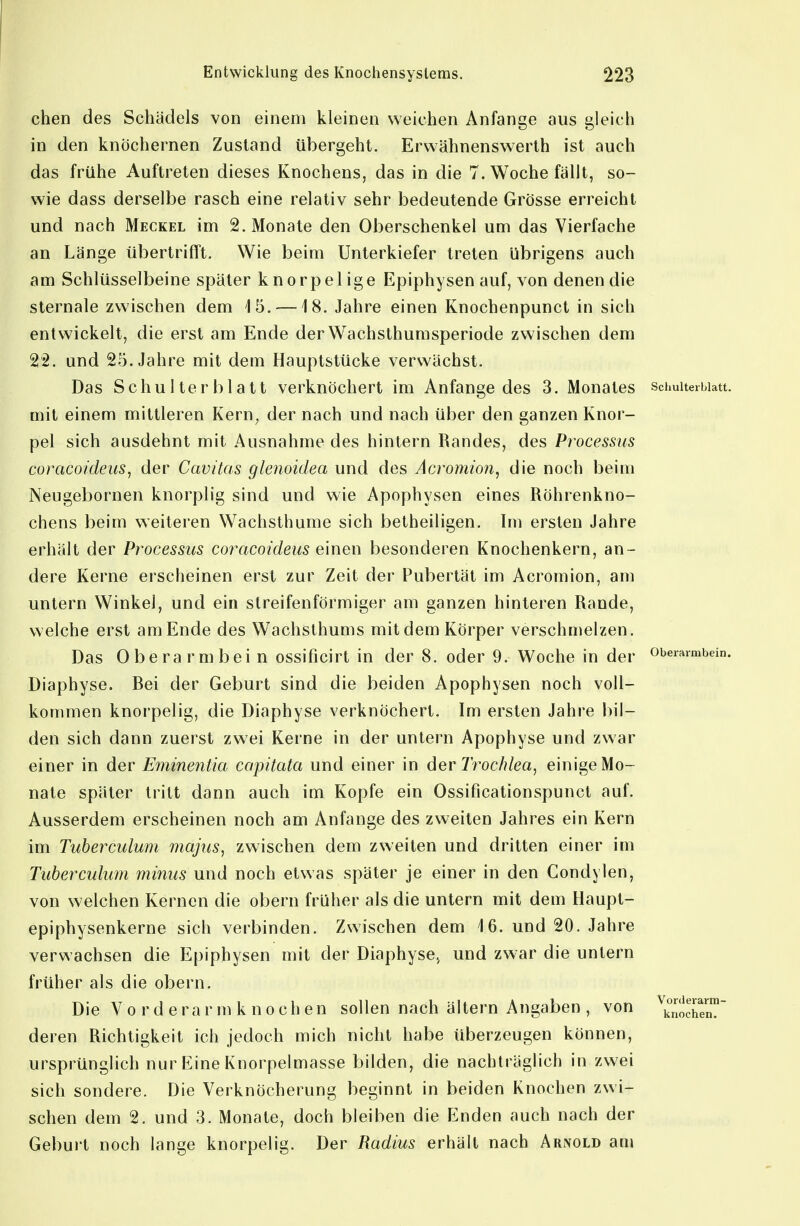 chen des Schädels von einem kleinen weichen Anfange aus gleich in den knöchernen Zustand übergeht. Erwähnenswerth ist auch das frühe Auftreten dieses Knochens, das in die 7. Woche fällt, so- wie dass derselbe rasch eine relativ sehr bedeutende Grösse erreicht und nach Meckel im 2. Monate den Oberschenkel um das Vierfache an Länge übertrifft. Wie beim Unterkiefer treten übrigens auch am Schlüsselbeine später knorpelige Epiphysen auf, von denen die Sternale zwischen dem 15. —18. Jahre einen Knochenpunct in sich entwickelt, die erst am Ende der Wachsthumsperiode zwischen dem 22. und 25. Jahre mit dem Hauptstücke verwächst. Das Schulterblatt verknöchert im Anfange des 3. Monates mit einem mittleren Kern^ der nach und nach über den ganzen Knor- pel sich ausdehnt mit Ausnahme des hintern Randes, des Processus coracoideus, der Cavitas glenoidea und des Acromion, die noch beim Neugebornen knorplig sind und wie Apophysen eines Röhrenkno- chens beim weiteren Wachsthume sich betheiligen. Im ersten Jahre erhält der Processus coracoideus einen besonderen Knochenkern, an- dere Kerne erscheinen erst zur Zeit der Pubertät im Acromion, am untern Winkel, und ein streifenförmiger am ganzen hinteren Rande, welche erst am Ende des Wachsthums mit dem Körper verschmelzen. Das 0 be ra r m bei n ossificirt in der 8. oder 9. Woche in der Diaphyse. Bei der Geburt sind die beiden Apophysen noch voll- kommen knorpelig, die Diaphyse verknöchert. Im ersten Jahre bil- den sich dann zuerst zwei Kerne in der untern Apophyse und zwar einer in der Eminentia capitata und einer in der Trochlea, einige Mo- nate später tritt dann auch im Kopfe ein Ossificationspunct auf. Ausserdem erscheinen noch am Anfange des zweiten Jahres ein Kern im Tuberculum majtis, zwischen dem zweiten und dritten einer im Tubercuhmi minus und noch etwas später je einer in den Condylen, von welchen Kernen die obern früher als die untern mit dem Haupt- epiphysenkerne sich verbinden. Zwischen dem 16. und 20. Jahre verwachsen die Epiphysen mit der Diaphyse. und zwar die untern früher als die obern. Die V 0 r d e r a r m k n 0 c h e n sollen nach altern Angaben , von deren Richtigkeit ich jedoch mich nicht habe überzeugen können, ursprünglich nur Eine Knorpelmasse bilden, die nachträglich in zwei sich sondere. Die Verknöcherung beginnt in beiden Knochen zwi- schen dem 2. und 3. Monate, doch bleiben die Enden auch nach der Geburt noch lange knorpelig. Der Radius erhält nach Arnold am Schulterblatt. Oberarmbein. Vorderarm- knochen.