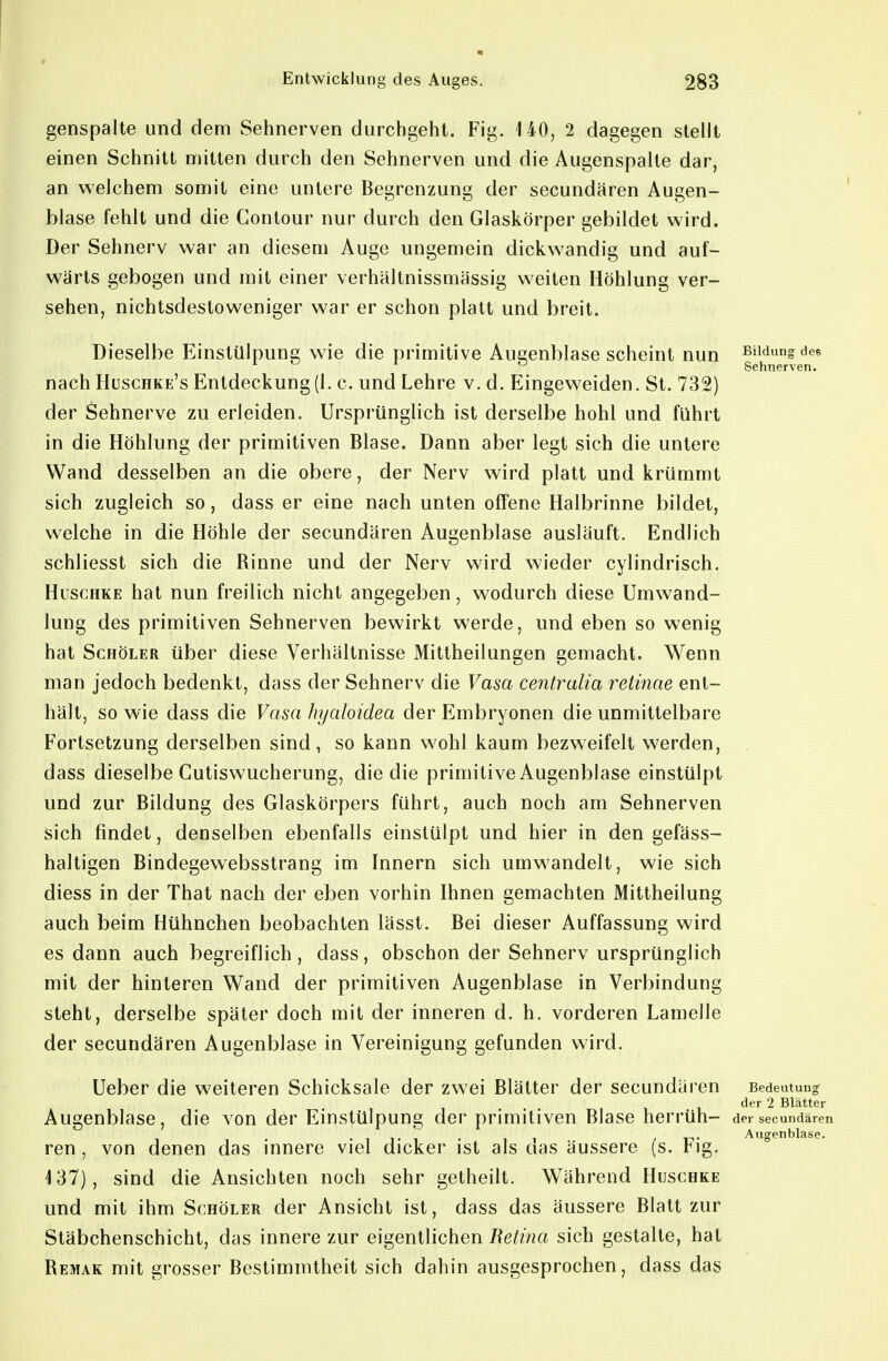 genspalte und dem Sehnerven durchgeht. Fig. 140, 2 dagegen stellt einen Schnitt mitten durch den Sehnerven und die Augenspalte dar, an welchem somit eine untere Begrenzung der secundären Augen- blase fehlt und die Contour nur durch den Glaskörper gebildet wird. Der Sehnerv war an diesem Auge ungemein dickwandig und auf- wärts gebogen und mit einer verhältnissmässig weiten Höhlung ver- sehen, nichtsdestoweniger war er schon platt und breit. Dieselbe Einstülpunc; wie die primitive Aueenblase scheint nun Bildung des ^ ^ ^ Sehnerven. nach Hüschke's Entdeckung (1. c. und Lehre v. d. Eingeweiden. St. 732) der Sehnerve zu erleiden. Ursprünglich ist derselbe hohl und führt in die Höhlung der primitiven Blase. Dann aber legt sich die untere Wand desselben an die obere, der Nerv wird platt und krümmt sich zugleich so, dass er eine nach unten offene Halbrinne bildet, welche in die Höhle der secundären Augenblase ausläuft. Endlich schliesst sich die Binne und der Nerv wird wieder cylindrisch. HuscHKE hat nun freilich nicht angegeben, wodurch diese Umwand- lung des primitiven Sehnerven bewirkt werde, und eben so wenig hat ScHÖLER über diese Verhältnisse Mittheilungen gemacht. Wenn man jedoch bedenkt, dass der Sehnerv die Vasa centralia retinae ent- hält, so wie dass die Vasa hyaloidea der Embryonen die unmittelbare Fortsetzung derselben sind, so kann wohl kaum bezweifelt werden, dass dieselbe Cutiswucherung, die die primitive Augenblase einstülpt und zur Bildung des Glaskörpers führt, auch noch am Sehnerven sich findet, denselben ebenfalls einstülpt und hier in den gefäss- haltigen Bindegewebsstrang im Innern sich umwandelt, wie sich diess in der That nach der eben vorhin Ihnen gemachten Mittheilung auch beim Hühnchen beobachten lässt. Bei dieser Auffassung wird es dann auch begreiflich , dass, obschon der Sehnerv ursprünglich mit der hinteren Wand der primitiven Augenblase in Verbindung steht, derselbe später doch mit der inneren d. h. vorderen Lamelle der secundären Augenblase in Vereinigung gefunden wird. Ueber die weiteren Schicksale der zwei Blätter der secundären Bedeutung der 2 Blätter Augenblase, die von der Einstülpung der primitiven Blase herrüh- der secundären ren , von denen das innere viel dicker ist als das äussere (s. Fig. 137), sind die Ansichten noch sehr getheilt. Während Huschke und mit ihm Schöler der Ansicht ist, dass das äussere Blatt zur Stäbchenschicht, das innere zur eigentlichen Retina sich gestalte, hat Bemak mit grosser Bestimmtheit sich dahin ausgesprochen, dass das