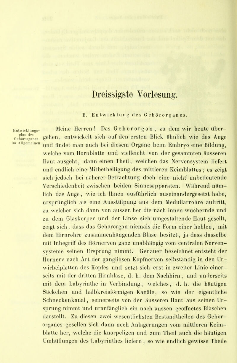 Dreissigste Vorlesung. B. Entwicklung des Gehörorganes. Entvvickiungs- Meine Herren! Das Gehörorgan, zu dem wir heule über- Gnhöroiganes gehcu, entwickelt sich auf den ersten Blick ähnlich wie das Auge im Aiigememen. ^^^^^ findet mau auch bei diesem Organe beim Embryo eine Bildung, welche vom Hornblatte und vielleicht von der gesammten äusseren Haut ausgeht, dann einen Theil, welchen das Nervensystem liefert und endlich eine Mitbelheiligung des mittleren Keimblattes; es zeigt sich jedoch bei näherer Betrachtung doch eine nicht unbedeutende Verschiedenheit zwischen beiden Sinnesapparaten. Während näm- lich das Auge, wie ich Ihnen ausführlich auseinandergesetzt habe, ursprünglich als eine Ausstülpung aus dem Medullarrohre auftritt, zu welcher sich dann von aussen her die nach innen wuchernde und zu dem Glaskörper und der Linse sich umgestaltende Haut gesellt, zeigt sich, dass das Gehörorgan niemals die Form einer hohlen, mit dem Hirnrohre zusammenhängenden Blase besitzt, ja dass dasselbe mit Inbegriff des Hörnerven ganz unabhängig vom centralen Nerven- systeme seinen Ursprung nimmt. Genauer bezeichnet entsteht der Hörnerv nach Art der gangliösen Kopfnerven selbständig in den Ur- wirbelplatten des Kopfes und setzt sich erst in zweiter Linie einer- seits mit der dritten Hirnblase, d. h. dem Nachhirn, und anderseits mit dem Labyrinthe in Verbindung, welches, d. h. die häutigen Säckchen und halbkreisförmigen Kanäle, so wie der eigentliche Schneckenkanal, seinerseits von der äusseren Haut aus seinen Ur- sprung nimmt und uranfänglich ein nach aussen geöffnetes Bläschen darstellt. Zu diesen zwei wesentlichsten Bestandtheilen des Gehör- organes gesellen sich dann noch Anlagerungen vom mittleren Keim- blatte her, welche die knorpeligen und zum Theil auch die häutigen Umhüllungen des Labyrinthes liefern , so wie endlich gewisse Theile