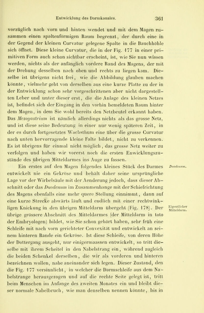 vorzüglich nach vorn und hinten wendet und mit dem Magen zu- sammen einen spaltenförmigen Raum begrenzt, der durch eine in der Gegend der kleinen Curvatur gelegene Spalte in die Bauchhöhle sich öffnet. Diese kleine Curvatur, die in der Fig. 177 in einer pri- mitiven Form auch schon sichtbar erscheint, ist, wie Sie nun wissen werden, nichts als der anfänglich vordere Rand des Magens, der mit der Drehung desselben nach oben und rechts zu liegen kam. Die- selbe ist übrigens nicht frei, wie die Abbildung glauben machen könnte, vielmehr geht von derselben aus eine kurze Platte zu der in der Entwicklung schon sehr vorgeschrittenen aber nicht dargestell- ten Leber und unter dieser erst, die die Anlage des kleinen Netzes ist, befindet sich der Eingang in den vorhin bemeldeten Raum hinter dem Magen, in dem Sie wohl bereits den Netzbeutel erkannt haben. Das Mesogastrium ist nämlich allerdings nichts als das grosse Netz, und ist diese seine Bedeutung in einer nur wenig späteren Zeit, in der es durch fortgesetztes Wachsthum eine Uber die grosse Curvatur nach unten hervorragende kleine Falte bildet, nicht zu verkennen. Es ist übrigens für einmal nicht möglich , das grosse Netz weiter zu verfolgen und haben wir vorerst noch die ersten Enwicklungszu- stände des übrigen Mitteldarmes ins Auge zu fassen. Ein erstes auf den Magen folgendes kleines Stück des Darmes Duodenum. entwickelt nie ein Gekröse und behält daher seine ursprüngliche Lage vor der Wirbelsäule mit der Aenderung jedoch, dass dieser Ab- schnitt oder das Duodenum im Zusammenhange mit der Schiefrichtung des Magens ebenfalls eine mehr quere Stellung einnimmt, dann auf eine kurze Strecke abwärts läuft und endlich mit einer rechtwink- ligen Knickung in den übrigen Mitteldarm übergeht (Fig. 178). Der ^jf^^g^^]'^^^^^^^ übrige grössere Abschnitt des Mitteldarmes (der Mitteldarm in toto der Embryologen) bildet, wie Sie schon gehört haben, sehr früh eine Schleife mit nach vorn gerichteter Convexität und entwickelt an sei- nem hinteren Rande ein Gekröse. Ist diese Schleife, von deren Höhe der Dottergang ausgeht, nur einigermaassen entwickelt, so tritt die- selbe mit ihrem Scheitel in den Nabelstrang ein, während zugleich die beiden Schenkel derselben, die wir als vorderen und hinteren bezeichnen wollen, nahe aneinander sich legen. Dieser Zustand, den die Fig. 177 versinnlicht, in welcher die Darmschleife aus dem Na- belstrange herausgezogen und auf die rechte Seite gelegt ist, tritt beim Menschen im Anfange des zweiten Monates ein und bleibt die- ser normale Nabelbruch, wie man denselben nennen könnte, bis in