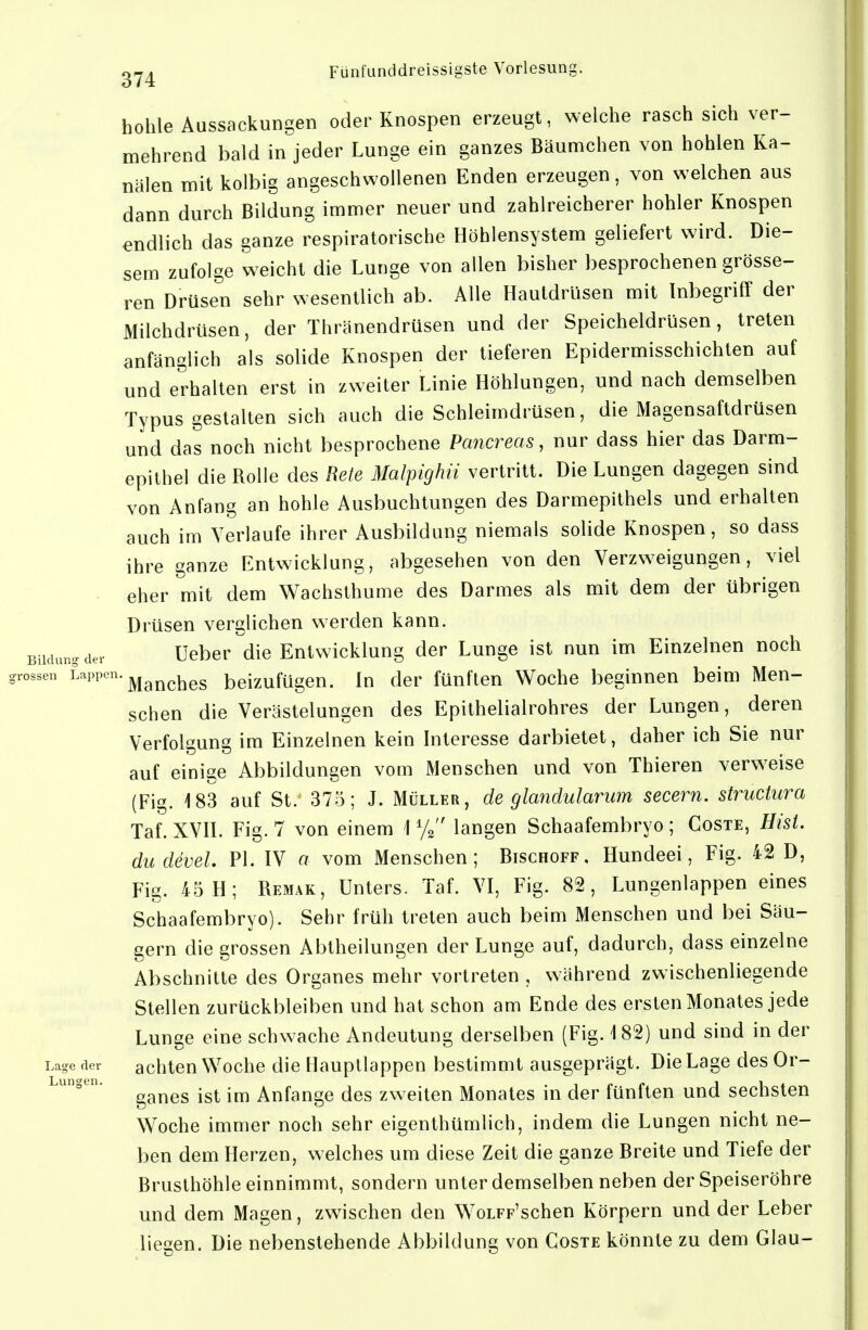 Bildung der grossen Fünfunddreissigste Vorlesung. hohle Aussackungen oder Knospen erzeugt, welche rasch sich ver- mehrend bald in jeder Lunge ein ganzes Bäumchen von hohlen Ka- nälen mit kolbig angeschwollenen Enden erzeugen, von welchen aus dann durch Bildung immer neuer und zahlreicherer hohler Knospen endlich das ganze respiratorische Höhlensystem geliefert wird. Die- sem zufolge weicht die Lunge von allen bisher besprochenen grösse- ren Drüsen sehr wesentlich ab. Alle Hautdrüsen mit Inbegriff der Milchdrüsen, der Thränendrüsen und der Speicheldrüsen, treten anfänglich als solide Knospen der tieferen Epidermisschichten auf und erhalten erst in zweiter Linie Höhlungen, und nach demselben Typus gestalten sich auch die Schleimdrüsen, die Magensaftdrüsen und das noch nicht besprochene Pancreas, nur dass hier das Darm- epilhel die Rolle des Rete Malpighii vertritt. Die Lungen dagegen sind von Anfang an hohle Ausbuchtungen des Darmepithels und erhalten auch im Verlaufe ihrer Ausbildung niemals solide Knospen, so dass ihre ganze Entwicklung, abgesehen von den Verzweigungen, viel eher mit dem Wachsthume des Darmes als mit dem der übrigen Drüsen verglichen werden kann. Ueber die Entwicklung der Lunge ist nun im Einzelnen noch Lappen, ^^^^^^g bcizufügcn. lu dcr fünften Woche beginnen beim Men- schen die Verästelungen des Epithelialrohres der Lungen, deren Verfolgung im Einzelnen kein Interesse darbietet, daher ich Sie nur auf einige Abbildungen vom Menschen und von Thieren verweise (Fig. 183 auf St.' 375; J. Müller, de glandularum secern. structura TaLXVn. Fig. 7 von einem \% langen Schaafembryo; Goste, Bist, du devel. PL IV a vom Menschen; Bischoff. Hundeei, Fig. 42 D, Fig. 45 H; Remak, Unters. Taf. VI, Fig. 82, Lungenlappen eines Schaafembryo). Sehr früh treten auch beim Menschen und bei Säu- gern die grossen Abtheilungen der Lunge auf, dadurch, dass einzelne Abschnitte des Organes mehr vortreten , während zwischenliegende Stellen zurückbleiben und hat schon am Ende des ersten Monates jede Lunge eine schwache Andeutung derselben (Fig. 182) und sind in der achten Woche die Haupllappen bestimmt ausgeprägt. Die Lage des Or- ganes ist im Anfange des zweiten Monates in der fünften und sechsten Woche immer noch sehr eigenthümlich, indem die Lungen nicht ne- ben dem Herzen, welches um diese Zeit die ganze Breite und Tiefe der Brusthöhle einnimmt, sondern unter demselben neben der Speiseröhre und dem Magen, zwischen den WoLFF'schen Körpern und der Leber liegen. Die nebenstehende Abbildung von Coste könnte zu dem Glau- Lage der Lunsen