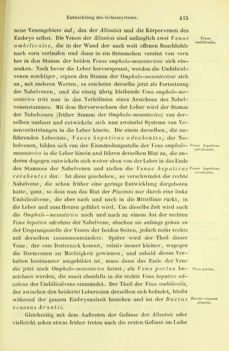 neue Venengebiete auf, das der Allantois und die Körpervenen des Embryo selbst. Die Venen der Allantois sind anfänglich zwei Venae Venae umbilic ales, die in der Wand der noch weit offenen Bauchhöhle nach vorn verlaufen und dann in ein Stämmchen vereint von vorn her in den Stamm der beiden Venae omphalo-mesentericae sich ein- senken. Noch bevor die Leber hervorsprosst, werden die Umbilical- venen mächtiger, eignen den Stamm der Omphalo-mesentericae sich an, mit anderen Worten, es erscheint derselbe jetzt als Fortsetzung der Nabelvenen, und die einzig übrig bleibende Vena omphalo-me- senterica tritt nun in das Verhältniss eines Aestchens des Nabel- venenstammes. Mit dem Hervorwachsen der Leber wird der Stamm der Nabel venen (früher Stamm der Omphalo-mesenterica) von der- selben umfasst und entwickeln sich nun zweierlei Systeme von Ve- nenverästelungen in die Leber hinein. Die einen derselben, die zu- führenden Leberäste, Venae hepaticae adve hentes, der Na- belvenen, bilden sich von der Einmündungssteile der Vena omphalo- Venae hepaticae advehcntes. mese?iterica in die Leber hinein und führen derselben Blut zu, die an- deren dagegen entwickeln sich weiter oben von der Leber in das Ende des Stammes der Nabelvenen und stellen die Venae h ep ati cae Venae hepaticae revehentes. r ev ehente s dar. Ist diess geschehen, so verschwindet die rechte Nabelvene, die schon früher eine geringe Entwicklung dargeboten hatte, ganz, so dass nun das Blut der Placenta nur durch eine linke Umbilicalvene, die aber nach und nach in die Mittellinie rückt, in die Leber und zum Herzen geführt wird. Um dieselbe Zeit wird auch die Omphalo -mesenteynca nach und nach zu einem Ast der rechten Vena hepatica advehens der Nabelvene, obschon sie anfangs genau an der Ursprungsstelle der Venen der beiden Seiten, jedoch mehr rechts mit derselben zusammenmündele. Später wird der Theil dieser Vene, der vom Dottersack kommt, relativ immer kleiner, wogegen die Darmvenen an Mächtigkeit gewinnen , und sobald dieses Ver- halten bestimmter ausgebildet ist, muss dann das Ende der Vene die jetzt noch Omphalo-mesenterica, heisst, als Vena portae be- Vcnajmrtae. zeichnet werden, die somit ebenfalls in die rechte Vena hepatica ad- vehens der Umbilicalvene einmündet. Der Theil der Ve?ia imbilicalis, der zwischen den beiderlei Leberästen derselben sich befindet, bleibt während der sanzen Embrvonalzeit bestehen und ist der Ductus Ductm venosus Aratitn, veno SU s Ärantii. Gleichzeitig mit dem Auftreten der Gefässe der Alla?itois oder vielleicht schon etwas früher treten auch die ersten Gefässe im Leibe