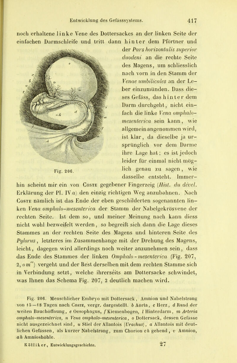 noch erhaltene linke Vene des Dottersackes an der linken Seite der einfachen Darmschleife und tritt dann hinter dem Pförtner und der Pars horizontalis superior duodeni an die rechte Seite des Magens, um schliesslich nach vorn in den Stamm der Venae umbilicales an der Le- ber einzumünden. Dass die- ses Gefäss, das hinter dem Darm durchgeht, nicht ein- fach die linke Vena omphalo- meseyiterica sein kann, wie allgemein angenommen wird, ist klar, da dieselbe ja ur- sprünglich vor dem Darme ihre Lage hat; es ist jedoch leider für einmal nicht mög- lich genau zu sagen, wie dasselbe entsteht. Immer- hin scheint mir ein von Coste gegebener Fingerzeig [Hist. du devel. Erklärung der PI. IVa) den einzig richtigen Weg anzubahnen. Nach Coste nämlich ist das Ende der eben geschilderten sogenannten lin- ken Vena omphalo-mesenterica der Stamm der Nabelgekrösvene der rechten Seite. Ist dem so, und meiner Meinung nach kann diess nicht wohl bezweifelt werden, so begreift sich dann die Lage dieses Stammes an der rechten Seite des Magens und hinteren Seite des Pylorus, letzteres im Zusammenhange mit der Drehung des Magens, leicht, dagegen wird allerdings noch weiter anzunehmen sein, dass das Ende des Stammes der linken Omphalo-mesenterica (Fig. 207, 2, om) vergeht und der Rest derselben mit dem rechten Stamme sich in Verbindung setzt, welche ihrerseits am Dottersacke schwindet, was Ihnen das Schema Fig. 207, 2 deutlich machen wird. Fig. 206. Menschlicher Embryo mit Dottersack, Amnion und Nabelstrang von 15—18 Tagen nach Coste, vergr. dargestellt, b Aorta, c Herz, d Rand der weiten BauchöfTnung, e Oesophagus, /Kiemenbogen, i Hinterdarm, m Arteria omphalo-mesenterica, n Vena omphalo-mesenterica, o Dottersack, dessen Gefässe nicht ausgezeichnet sind, u Stiel der Allantois [Urachus], a Allantois mit deut- lichen Gefässen, als kurzer Nabelstrang, zum Chorion ch gehend, v Amnion, ah Amnioshöhle. K ö 11 i k e r, Entwicklungsgeschichte. 27 Fig. 206.